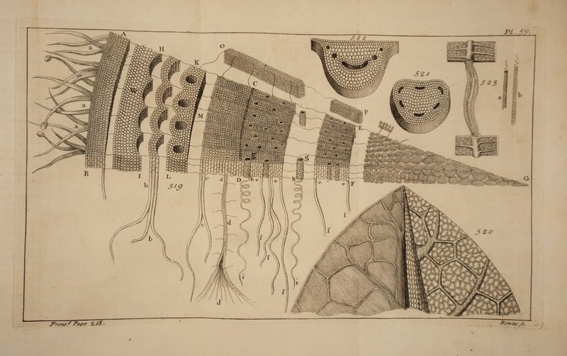 2^r(77?tf 2V< 2,-rx-U: rc.