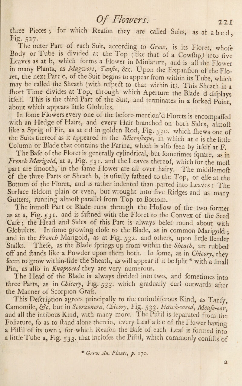 three Pieces •, for which Reafon they are called Suits, as at abed, Fig. 527. The outer Part of each Suit, according to Grew, is its Floret, whofe Body or Tube is divided at the Top (like that of a CowilipJ into five Leaves as at b, which forms a Flower in Miniature, and is all the Flower in many Plants, as Mugwort, Tanfie, &c. Upon the Expanfion of the Flo¬ ret, the next Part c, of the Suit begins to appear from within its Tube, which may be called the Sheath (with refpeft to that within it). This Sheath in a fhort Time divides at Top, through which Aperture the Blade d difplays itfeif. This is the third Part of the Suit, and terminates in a forked Point about which appears little Globules. In fome Flowers every one of the before'mention’d Florets is encompafled with an Hedge of Flairs, and every Hair branched on both Sides, almoft like a Sprig of Fir, as at cd in golden Rod, Fig. 530. which (hews one of the Suits thereof as it appeared in the Microfcope, in which at e is the little Column or Blade that contains the Farina, which is alfo feen by itfeif at F. TheBafe of the Floret is generally cylindrical, but fometimes fquare, as in French Marigold^ at a, Fig, 531. and the Leaves thereof, which for the mod part are fmooth, in the fame Flower are all over hairy. The middlemoft of the three Parts or Sheath b, is ufually faftned to the Top, or elfe at the Bottom of the Floret, and is rather indented than parted into Leaves ; The Surface feldom plain or even, but wrought into five Ridges and as many Gutters, running almoft parallel from Top to Bottom. The inmoft Part or Blade runs through the Hollow of the two former as at a. Fig. 531. and is faftned with the Floret to the Convex of the Seed Cafe ; the Head and Sides of this Part is always befec round about with Globulets. In fome growing clofe to the Blade, as in common Marigold ; and in the French Marigold, as at Fig. 532. and others, upon little (lender Stalks. Thefe, as the Blade fprings up from within the Sheath, are rubbed off and (lands like a Powder upon them both. In fome, as in Chicory, they feem to grow within-fide the Sheath, as will appear if it be fplit * with a final 1 Pin, as alfo in Knapweed they are very numerous. The Head of the Blade is always divided into two, and fometimes into three Parts, as in Chicory, Fig. 533. which gradually curl outwards after the Manner of Scorpion Grafs. This Defcription agrees principally to the corimbiferous Kind, as Tanfy, Camomile, &c. but in Scorzonera, Chicory, Fig. 533. Hawk-weed, Moufe-ear, and all the intibous Kind, with many more. The Piftil is feparated from the Foiiature, fo as to (land alone therein, every Leaf a b c of the Flower having a Piftil of its own ; for which Reafon the Bafe of each Leaf is formed into a little Tube a. Fig. 533. that inclofes the Piftil, which commonly coniifts of * Grew An, Plants, p. 170, a