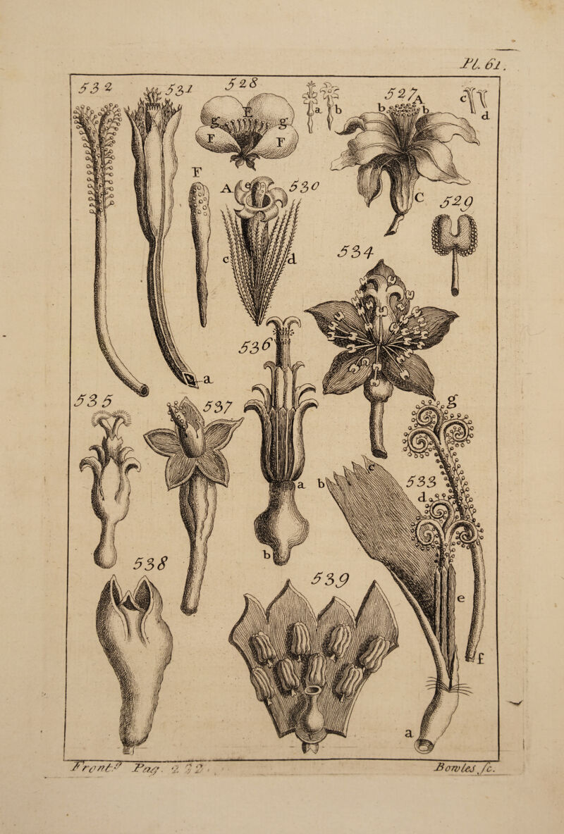 JJL 6'i. Fr& /?&Sf Pas? X * J X • -BowleJ %fc.