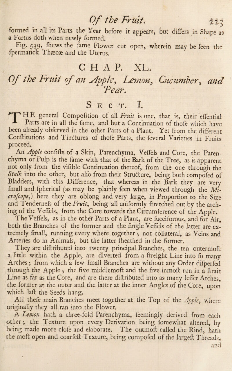 formed in all its Parts the Year before it appears, but differs in Shape as a Foetus doth when newly formed. Fig- 539’ &ews the fame Flower cut open, wherein may be feen the fpermatick Thascs and the Uterus. CHAP. XL. Of the Fruit of an slpple, Lemon, Cucumber, and Tear. Sect. I. H E general Compofition of all Fruit is one, that is, their effential Parts are in all the fame, and but a Continuation of thofe which have been already obferved in the other Parts of a Plant. Yet from the different Conflitutions and Tindtures of thofe Parts, the feveral Varieties in Fruits proceed. An Apple confifls of a Skin, Parenchyma, Veffels and Core, the Paren¬ chyma or Pulp is the fame with that of the Bark of the Tree, as is apparent not only from the vifible Continuation thereof, from the one through the Stalk into the other, but alfo from their Stru&ure, being both compofed of Bladders, with this Difference, that whereas in the Bark they are very fmall and fpherical (as may be plainly feen when viewed through the Mi- crofcope,) here they are oblong and very large, in Proportion to the Size and Tendernefs of the Fruity being all uniformly (tretched out by the arch¬ ing of the Veffels, from the Core towards the Circumference of the Apple. The Veffels, as in the other Parts of a Plant, are fucciforous, and for Air, both the Branches of the former and the fingle Veffels of the latter are ex¬ tremely fmall, running every where together not collateral, as Veins and Arteries do in Animals, but the latter iheathed in the former. They are diftributed into twenty principal Branches, the ten outermoff a little within the Apple, are diverted from a (freight Line into fo many Arches; from which a few fmall Branches are without any Order difperfed through the Apple ; the five middlemoff and the five inmoff run in a (trait Line as far as the Core, and are there diftributed into as many leffer Arches, the former at the outer and the latter at the inner Angles of the Core, upon which la(t the Seeds hang. All thefe main Branches meet together at the Top of the Apple, where originally they all ran into the Flower. A Lemon hath a three-fold Parenchyma, feemingly derived from each other •, the Texture upon every Derivation being fomewhat altered, by being made more clofe and elaborate. The outmoft called the Rind, hath the molt open and coarfeft Texture, being compofed of the largeft Threads, and