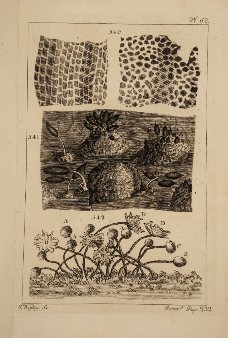 tfrentf &>cu,e. 232.