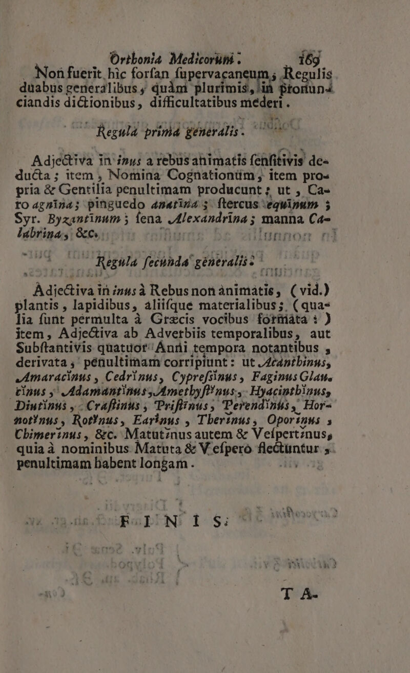 Ortbonia. Medicoruti . . 16g Non fuerit. hic forfan fupervacaneum; Regulis. duabus generalibus; quámi plurimis, /in fitoràn4 ciandis dictionibus, difficultatibus mederi. — Regula prinia generalis. ict Adje&amp;tiva i in: inys a rebus animatis fenfitivis de« ducta; item , Nomina Cognationüm; item pro pria &amp; Gentilia penultimam producunt ; ut , Ca« roagnmin4; pinguedo 454riza4 ; ftercus : eqWipum 5 Syr. Byzantinum fena sMlexandrina ; manna V fila &amp;o. Ht AT. MU t - * f. | Regula fecnda generalis 2 I Fen ee inizu4;à Rebusnonánimátis, ( vid.) plantis , lapidibus » Aliifque materialibus ;. ( qua» lia funt pérmulta à Grecis vocibus foriiáta : ) iem, Adje&amp;iva ab Adverbiis temporalibus, aut Subflantivis quatuor: Anni tempora notantibus , derivata ,' penultimam corripiunt: ut /Ze4pibinus, JAmaracinus , Cedrinus, C yprefsinus , Faginus Glat. tinus y Jdamantinns JAmetbyffPraus., Hyacintbinus, Diutinus , - Craflinus , Prifiinus, Berendinis ,, Hor- dot nus , RotYnus, Earinus , Tbertaus, Oporinus s Cbimerinus , &amp;c. Matutznus autem &amp; Vefpertinus, - quiaà nominibus Matuta &amp; V efpero Bunk s penultimam xgom vM: T FIN 1S: T A