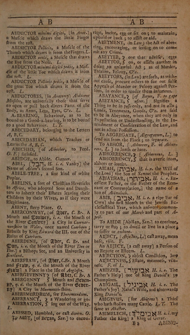 <u AB  “ ; F a ABDUCTOR minimi dizgitt, \in Anat.) a Mufcle which draws the little Finger ftom the reft, ABDUCTOR Pollicis, 2 Mufcle of the rhumb which draws it from theFingers,L. ABDUCTOR oculi, a Mufcle that draws the Eye from the Nofe. L. ABDUCTOR minimi diciti pedis, a Muf- €le of the little Toe which draws it from ene felt; ES ' ABDUCTOR Pollicis pedisy.a Mufcle of the great Toe which draws it from the voit, I. “ABDUCTORES, [in Anatomy] Abducent Mufeles, are univerfally thofe that ferve to open or pull back divers Parts of she Body, as Arms, Legs, Eyes, (7c. I “\A-BEARING, Behaviour, as to be £0 a good Behaviour. L. F- ABECEDARY, belonging to the Letters A, B,C. is -ABECEDARIAN, which Teaches or Learns the A, B,C. ABECHED, [of Abbecher, ©. F.] fatisfied. . ABEDGE,, to Abide. Chaucer. . ABEL, [9T, H. i.e. Vanity] the Name of Adam’s fecond Son. . . ABELE-TREE., a fine kind of white Poplar. ABELINS, a fort of Chriftian Hereticks in Africa, who adopted Sons and Dangh- ters to inherit their Eftates leaving their Children by their Wives, as if they were illegitimate. ; ABENT, ftecp Place. O. ABERCONWEY, jof Quer, C. Br. A Mouth and {Powwey, 7. e.° the Mouth of the River Conley] a City in Caernar- wonfpire in Wales, once named Caerbaen ; Rebuile by King Edward the III. our of the Ruins of Caerbaen. . ABERDENE, [of @ber, C. Br. and Mot, i. ¢. the Mouth of the River Don or to Feed. Scotland. ' - ABERFRAW, [ef Aber, C.Br. A Mouth and fFrale, 9. d. the Mouth of the River Fiat | a Place in the Meof Anglefey. ~ ABERGEVENNY? [of @be?,C Br. A ABERGENNY 3 Mouth and Seven- HY] A City in Monmouth- fhire. -ABEREMURDRUM, fee Eberemurdum. _ABERRANCY, a Wandering or go- 7 ABERRATION, § ing out of the Way. \ ABESSED, Humbled, or taft down. O. _ Fe ABET, lof Be'can, Sax.] to encou- rage, incite, egg or fet on} to maintain, ABETMENT, «in Law) the AG of abet- ting, encouraging, or fettiog,on to com= mitany Crime, , ABETTER, 9 ..one that’ advifes, ‘eggs ABETTOR, § on, or affifts another in doing an unlawtul, A@ ; as of Murder, Treafon, Felony, €7c. -ABETTORS, (in Law) are fuch, as wathe Appeals ot Murder or Felony againtt Per- {Ons, in order to render them infamous. Matt [of Bayery F. to gape ABEYANCE, § ‘after. Signifies a Thing to be in pofeonly, and.not in aus Lands, Tenements, Goods, Cc. are faid to be in Abeyance, when they are only in ExpeGation or Underftanding, in the In- tendment or Confideration of the Law, and not in a@ual Poffeffion. To ABGREGATE, [ Algregatum, L.] to fend out from. the Flock; to feparate. , To ABHOR, [ Abhorrer, F. of Abhor- rere, L. ] to loath or hate. ABHORRENCE, ABHORRENGY, abhors or-loaths, Ky ae ABIAH, [MYAN, B. te. the Wi the Lond ste san ba Samuel the Prophet. ABIATHAR, [WIN BL 7. ¢. Exe cellent Father, or the Father of the Reme that isaverfe from, Son of Abimelech. ABIB, [ °“U8, H. i. ¢. a ripe Har of Corn] che firft Month in the Jewifh Ec- clefiaftical Year, which anfwerseommon- ly.to part of onr March and part of A- ril. 5 : To ABIDE [Abi8an, Sax.) to continues tarry or ftay 5 to, dwell or live ina places to fuffer or.endure. » 5; ABJECT, [ Abjectus, Le) caft away, mean bafe, vile. F. . An ABJECT, {a caft away] a Perfon of no Repute or Eficem. Le. * ABJECTION, > abje&amp; Condition, low ABJECTNESS, § Eftate, meannefs, vile- ABIEZER, [ WWUYNAR A. 2. e. The Father’s Help] one “of King David’s 30 Champions. : ABIGAIL, {O°} H ie. The Father’s Joy} Nabal’s Wite, and afterwards King Davia’s. i ABIGEVUS, [for Abiceus} a. Thief who hath ftollen many Cattle, ET. The fame as Abaffor. gat ey a ABIMELECH, [ JOR A. ¢ 7. my Father the King] 2 King of Gerar. B2 ABING~ Lv af vay ee Pe