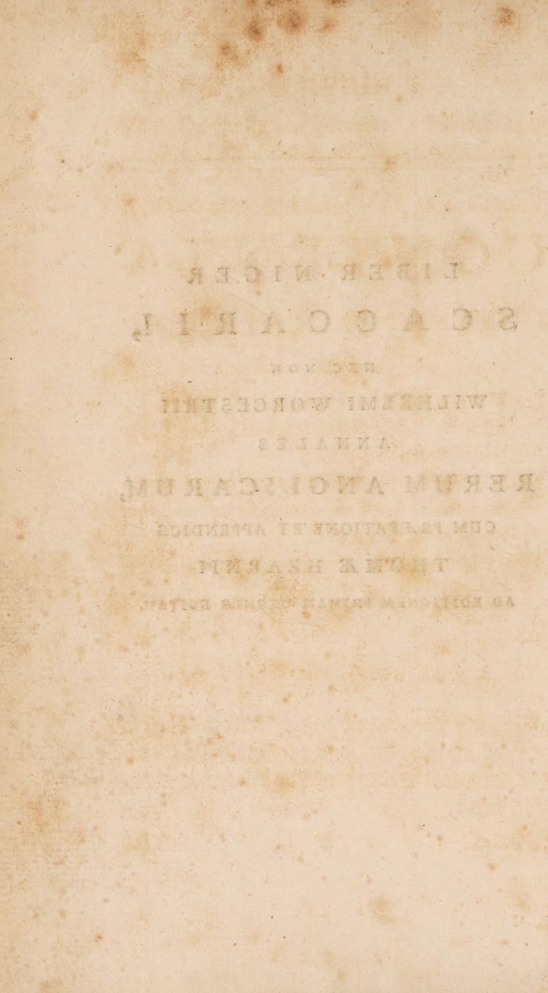 r, , f i A X i.y- . v ^ :■> ' . T. v- ^ . . • v c r - ,* y y *• ••;•<■ * *> . ■ , •' - T1. < ;• . ; ; - V ' f- ■ X. i * - . ■K Sv;,: V • / ’. ■ * & i' . L •• it' ■ . t - : ■ %< r ■ - 3 J ‘ V ' -■? -f A . - vc:r {i & *