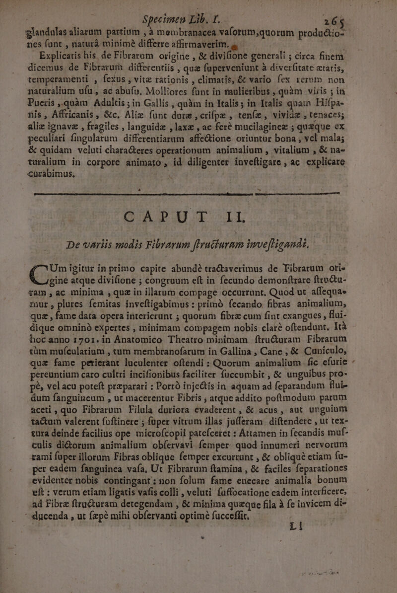 glandulas aliarum partium ; à membranacea vaforum,quorum produ&amp;tio- nes funt , naturà minimé differre affirmaverim. Zo Explicatis his, de Fibraram origine , &amp; divifione generali ; circa finem dicemus de Fibrarum differentiis , quz fuperveniunt à diver(itate aetatis, temperamenti , fexus ; vitz rationis , climatis, &amp; vario fex rerum non naturalium ufu , ac abuía, Molliores fant in mulieribus , quàm viris ; in Pueris ,.quàm Adultis ; in Gallis , quàm in Italis; in Italis quam Hifpa- nis, Affricanis , &amp;c. Aliz funt dure , crifpe , tenfe , vivide , tenaces; aliz ignavz , fragiles , languidz , laxe , ac feré mucilaginex ; queque ex peculiari fingularum differentiarum affe&amp;ione oriuntur bona , vel mala; &amp; quidam veluti characteres operationum animalium , vitalium , &amp; na- turalium in corpore animato, id diligenter inveftigare , ac. explicare curabimus. ;  ; ^ QAPAT iL De variis modis Flbrarum fhruturnm imve[lisandi. ques igitur in primo capite abundé tra&amp;averimus de Tibrarum ori. gine atque divifione ; congruum eft in fecundo demonfítrare ftrutu- tam, ac minima ,quz in illarum compage occurrunt. Quod ut affequa» mur, plures femitas inveftigabimus : primó fecando fibras animalium, quz , fame data opera interierunt ; quorum fibra cum fint exangucs , flui- dique omninó expertes , minimam compagem nobis claté oftendunt. Ità hocanno 1701. in Anatomico Theatro minimam. ftru&amp;uram Fibrarum tüm mufculatium , tum membranofarum in Gallina , Cane, &amp; Cuniculo, quz fame petierant luculenter oftendi : Quorum animalium fic efurie pereuntium caro cultri incifionibus faciliter fuccumbit , &amp; unguibus pro- pé» velacu poteft praeparari : Porró injectís in. aquam ad feparandum flui- dum fanguincum , ut macerentur Fibtis ; atque addito poftmodum parum aceti ,quo Fibrarum Filula duriora evaderent , &amp; acus, aut unguium ta&amp;tum valerent foftinere ; fuper vitrum illas jufferam diftendere , ut tex- tura deinde facilius ope microfcopii patefceret : Attamen in fecandis muf- culis diorum animalium obíervavi femper: quod innumeri nervorum zami fuper illorum Fibras oblique femper excurrunt , &amp; obliqué ctiam fu- per eadem fanguinea vaía, Ut Fibrarum ftamina , &amp; faciles feparationes evidenter nobis contingant: non folum fame enecare animalia bonum eft : verum etiam ligatis vafis colli , veluti fuffocatione eadem interficere, ad Fibre firucturam detegendam , &amp; minima queque fila à fe invicem di-  ducenda , ut fzpé mihi obíervanti optimé fucceflir. T wv