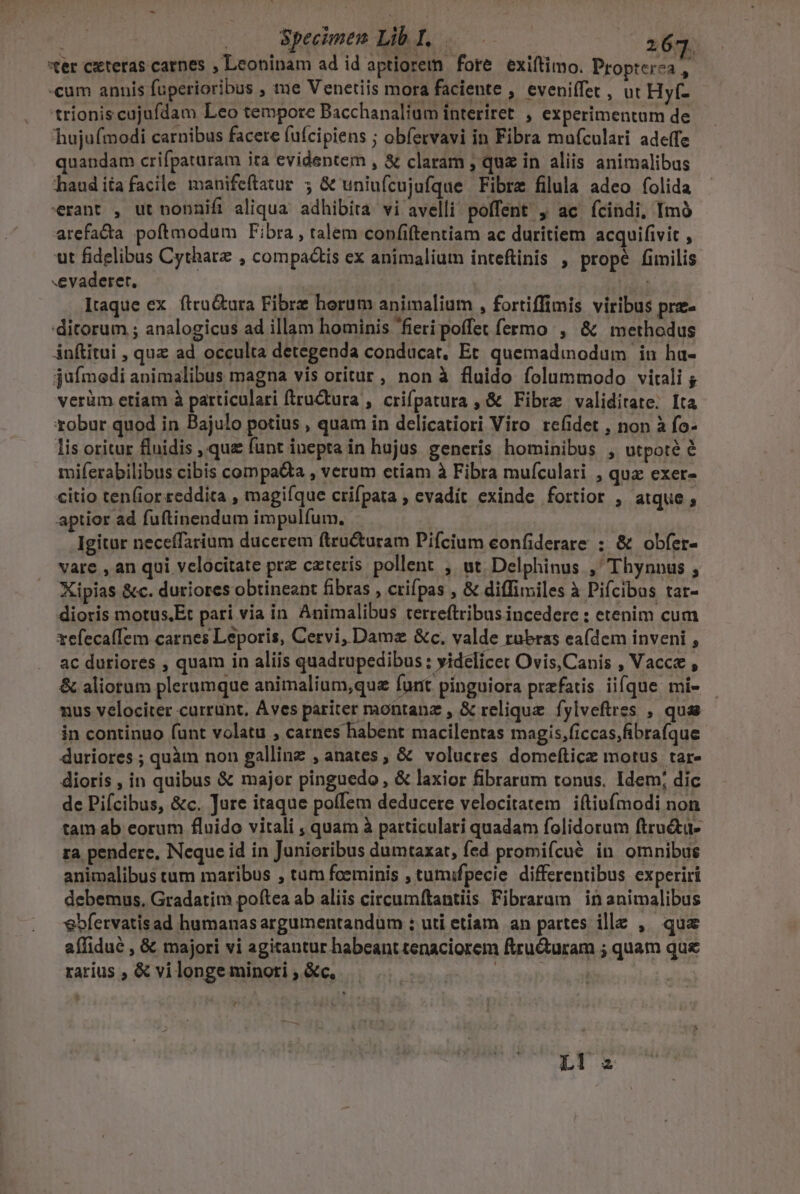 | Specimen Lib I. .— —— 167 xer exteras carnes , Leoninam ad id aptiorem fore exiftimo. Propterea T «cum annis fuperioribus , me Venetiis mora faciente ; €veniffet , ut Hyf- trionis cujufdam Leo tempore Bacchanalium interiret , experimentam de hujufmodi carnibus facere fuícipiens ; obfervavi in Fibra mufculari ade(fe quandam crifpaturam ita evidentem , &amp; claram ; quz in aliis animalibus hauditafacile manifeftatur ; &amp; uniufcujufque Fibre filula adeo folida 'erant , ut nonnifi aliqua adhibira vi avelli poffent , ac ícindi, [mà arefa&amp;ta poftmodum Fibra , talem confiftentiam ac duritiem acquifivit , ut fidelibus Cytharz , compactis ex animalium inteftinis , propé fimilis «evaderet, | iid Itaque ex. ftru&amp;ura Fibrz horum animalium , fortiffimis viribus pre- 'ditorum ; analogicus ad illam hominis fieri poffet fermo , &amp; methodus Anftitui , quz ad occulta detegenda conducat, Et quemadinodum in ha- jufmoedi animalibus magna vis oritur, non à fluido folummodo vitali ; verüm etiam à particulari (iructura , crifpatura , &amp; Fibra validitate. [ta xobur quod in Bajulo potius , quam in delicatiori Viro refidet , non à fo- lis oritur fluidis , qua funt iuepta in hujus generis hominibus , utpoté é miferabilibus cibis compa&amp;ta , verum etiam à Fibra mufculari , qua exer- citio tenfior reddita , magiíque crifpata , evadit exinde fortior , atque, aptior ad fuftinendum impulfum. Igitur neceffarium ducerem ftru&amp;turam Pifcium confiderare ; &amp; obfer- vare , an qui velocitate prz caterís pollent , ut. Delphinus , Thynnus ; Xipias &amp;c. duriores obtineant fibras , crifpas , &amp; diffimiles à Pifcibus tar- dioris motus,Et pari via in. Animalibus terreftribus incedere : etenim cum xefecaíÍem carnes Leporis, Cervi, Dame &amp;c. valde rubras ea(dem inveni , ac duriores , quam in aliis quadrupedibus ; yidelicet Ovis,Canis , Vacce , &amp; aliorum plerumque animalium,que furit pinguiora prefatis iifque mi- nus velociter currunt, Aves pariter montanz , &amp; reliquz fylveftres , quas in continuo (unt volatu , carnes habent macilentas magis,ficcas,fibrafque duriores ; quàm non gallinz , anates, &amp; volucres domeftice motus tar- dioris , in quibus &amp; major pinguedo, &amp; laxior fibrarum tonus. Idem; dic de Pifcibus, &amp;c. Jure itaque polfem deducere velocitatem iftiufmodi non tam ab eorum fluido vitali ; quam à particulari quadam folidorum ftru&amp;ta- ra pendere, Neque id in Junioribus dumtaxat, fed promifcué in omnibus animalibus tum maribus , tum foeminis , tumifpecie differentibus experiri debemus. Gradatim poítea ab aliis circumftantiis Fibraram in animalibus v€bfervatisad humanas argumentandum ; uti etiam an partes ille , | qua affidué , &amp; majori vi agitantur habeant tenaciorem ftru&amp;uram ; quam quse rarius , &amp; vi longe minoti ; &amp;c, $ , LI z