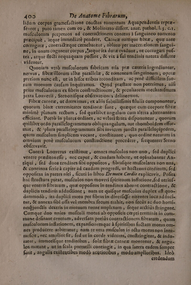 H 400 De Anatome Fibrarum, : lidum corpas grumefactione coactus tomentum Aquapendentis teprz-- fentet ; puto tàmen cum eo , &amp; Molinctto differt, anar. pathol.]:5, c.z. mufcalotam perpetuos ad contractionem conatus à fanguineo tomento praecipue , atque immediaté pendere, Cacocz namque fibre, quz ante córrugatz , contract eque cernebaatur , abluto per macerstionem fangui- ne, in unum coguntur corpus ,'*atque ita dura evadunt , ut corrugari pof- tea , atque Qle&amp;ti nequaquam poffint , &amp; vix à fui tendinis natura differre videntur, Quoniam veró mufculorum fabricam tria prz czteris iogrediuntur, nervus , fibrzillorum albz parallela , &amp; comencam (anguineum ; operz pretium nunc eft, uc in hifce tribus reconditam ,' ac pené difficilem fuo- rum motuum caufam inquiramus. Quod praffare non poterimus , nifi prius mufculoram ex fibris conftruéctionem , &amp; peculiarem mechanifmum. juxta Louvetii , Stenonifque obfetvationcs delineemus, Fibrz carnez , ut deteximus, ex aliis fabtiliffimis filulis componuntur, quorum binz extremitates tendinez fant, queque cum corpore fibrz mipimé planum re&amp;tum , fed quelibet angulum cum altera alternantem efficiant. Porró ia plures ordines , ac veluti (traca difponuntur , quorum quilibet ordo parallelogrammum obliquangulum, auc thomboidem effor- mat, &amp; 'plara parallelogrammata fibi invicem juncta parallelopipedem, quem mufculum fimplicem vocant, conítituunt , quo ordine naturam in omuium pené muícalotum conftructione procedere, frequenter Steno obfervavit. i d Contrà Louverus exiftimat , omnes mufculos non uno, fed duplici ventre przditoselfe , nec caput , &amp; caudam habere, ut opiaabantur An- tiqui , fed duos tendines fibi oppofitos ; fibra(que mufculares non un; &amp; continua ferie à capite ad caudam progredi, ut ha&amp;enus creditum, fed oppofitas in partes niti , ficuti io libro Deznots Cordis explicavit, Pofica hic ftructura putat, mufculos non moveri fpirituum inflatione,fed utriuf- que ventris fibrarum , qua oppofitos in tendines abeunt contractione, &amp; daplicis tendinis addu&amp;tione ;; nam ut quifque mufculus duplex «ft quo- dammodo , ita duplici motu per fibrasin diverfa]fe nitentes loca adduci- tur, &amp; annexa fibi offa vel membra fecum trahit, non fecüs ac duo homi- nesijunctis dextris in mutuum ruunt amplexum , feque ar&amp;tiüs ftringunt. Cumque duo nnius mufculi motus ab oppofitis ca pti terminis in com- mune definant centrum , adverfam potis contractionem fibrarum, quam muículorum inflationem, expanfionemque à fpititibus factam motus om- nes producere arbitratur; nam re vera mufculus in actu motusnon intü- - meícit , nec ampliorfit, fed ut in corde videmus, conftringitar, &amp; indu- ratur , immotifque tendinibus , fola fibre carneg moventur, &amp; angu- los mutant , ut in fcala portatili contingit , in qua latera eadem femper fant , angalis exiftentibus modó acutioribus , modoamplioribus. Ideó j |. eredendum