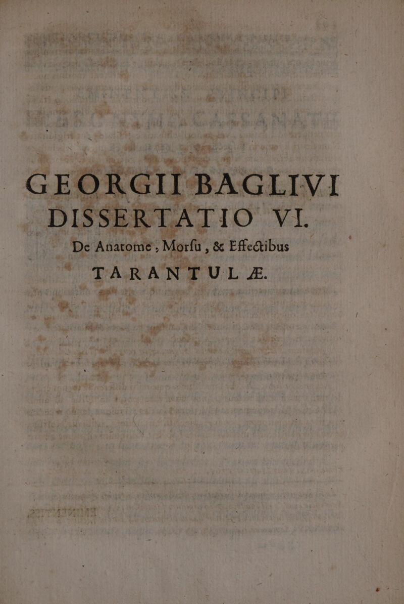 N^ L ud. v Mentes i ID II BAGLIVI TATIO VI eun 3 D Ae. De Anatome ; . Morfü, &amp; Effc&amp;ibus 1 TARANTUL A qp s : he P Á Gk -— imt eX , , E oio *» A p * — (| M * ^ e Ed ett ^