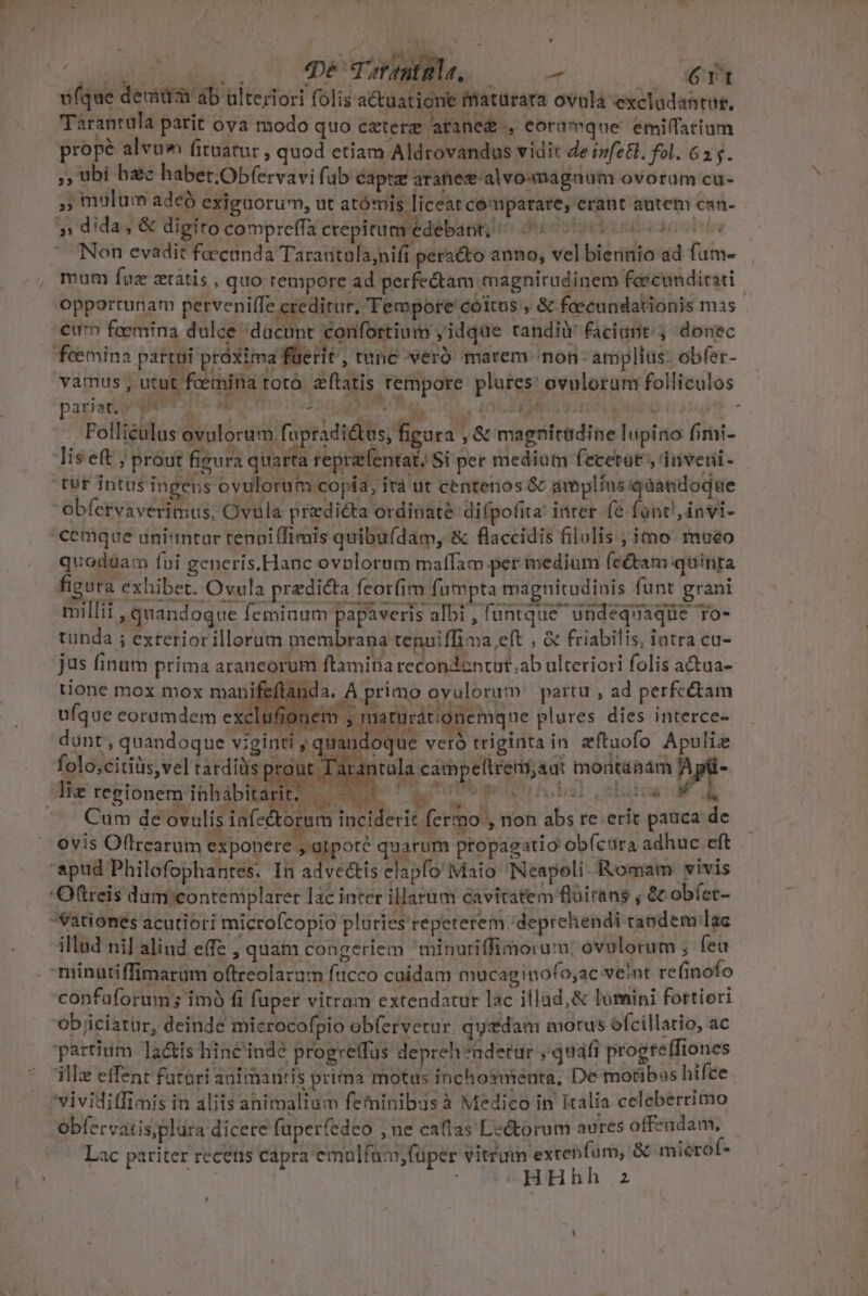 - e Tat mtl, T 6rt Tarantula parit ova modo quo ceterz araneg eoramque. emilfarium prope alvuw fituatur , quod etiam Aldrovandas vidit de ized. fol. 635. ,, ubi hc habet.Obfervavi fub capte aranesalvomagnum ovorum cu- , mulum adeó exigüorum, ut atómis liceat comparare, erant autem can- »: dida, &amp; digito compreffa crepitum edebarit; ^ 000005000 Non evadit faecanda Tararitula;nifi peracto anno, vel biennio ad fum- mum fuz ztatis , quo rempore ad perfectam magnirudinem feeécundirati opportunam pervenilfe creditur, Tempore coitus gr ac fcecundationis mas curn foemina dulce 'ducunt confortium , idque tandi faciant; donec vamus , utut fcemina totó. zftatis rempore plutes' ovulorum folliculos paprac Wt oS me urn Ms ^g , UC EMIL SITUE Qe Uuaf? Folliéulus ovulorum fupradi&amp;us, figura , &amp; magnitadine lupino fimi- lis eft ; prout figura quarta reprafentat; Si per medium fecetat ,inveni- obfervaverimus, Ovula predicta ordinate difpofita: inter. fe font! invi- quodua: fui generis.Hanc ovplorum maffam per medium (e&amp;tam quinta figura exhibet. Ovula predicta feor(im fumpta magnitudinis funt grani millii , quandoque Ícmiuum papaveris albi , funtque ^ undequaque ro- tunda ; exreriorillorum membrana tenuiffima,eft ; à friabilis, intra cu- jus finum prima arancorum ftamina recondantut.;ab ulteriori folis a&amp;taa- Arat tione mox mox mauifeftanda. A primo oyulorum partu , ad perfeétam ufque eoramdem exclüfionem ; matürátionemque plures dies interce- dont, quandoq ue viginti , quanc oque veró triginta in zítuofo Apulie folo;cidiüs,vel rardiüs prout Tar 1tala cámpeftrer aut montaaám Pis i es Wir ONSNITIPRERE IT DU V E 1 D a T MA M (x RON QA . € TEES. ty Cum de ovulis infe&amp;toram inciderit fermo , non abs re erit pauca de Ovis Oftrcarum exponere , atpote quarum propagatio obíctira adhuc eft illad nil aliud effe , quam congeriem ^minutiffiorum; ovolorum ; fea um fucco caidam mucaginofo,ac veint re(inofo confaforum ; imó fi fuper vitram extendatur lac illad,&amp; lumini fortiori ob iciatur, deinde microcofpio obferverur. quzdam motus ofcillatio, ac partium la&amp;is hinc'indé progreffus depreh?ndetur , quafi progteffiones illz effent fatori animantis prima motus inchosmenta, De motibas hifce Obfervatis;plüra dicere fuperfedeo , ne cafías Lectorum aures offezndam, Lac pariter recetis capra emulfum,füper vitu extenfüm, &amp; mierof- LT ; HHhh 2