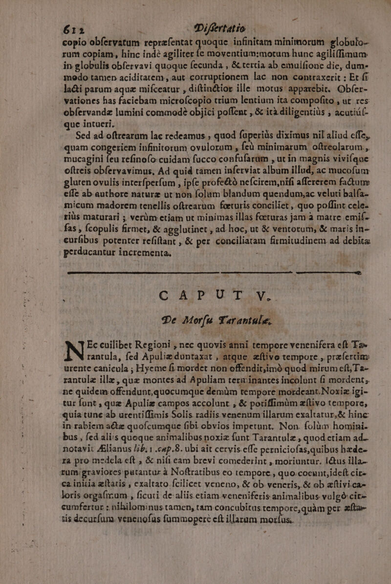 £12 - fDifiertatio copio obfervatum reprzfentat quoque. infinitam minimorum. elobuto-- rum copiam, hinc indé agiliter fe moventium:motum hunc agiliffinum in globulis obfervavi quoque fecunda , &amp; tertia ab emul(ione die, dum- modo tamen aciditatem, aut corruptionem lac non contraxerit : Et íi la&amp;i parum aque miíceatur , ditin&amp;tior ille motus apparebit. Obfer- . vationces has faciebam microfcopio trium lentium ita compofito , ut. res obíervandz lumini commode objici poffent , &amp; icà diligentius ; acutiü(- que intueri. | Sed ad oftrearam lac redeamus ; quod füperiüs diximus nil aliud effe, quam congeriem infinitorum ovulorum , feü minimarum oftreolarum., mucagini di refinofo cuidam fucco confufarum , ut in agnis vivifque oftreis obfervavimus, Ad quid tamen inferviat album illud, ac mucofum gluten ovulis interfperfum , ipfe profe&amp;tà neícirem,nifi affererem fa&amp;um cíIe ab authore naturz ut non folum blandum quendunm,ac veluti balfa- micum madorem tenellis oftrearüm foeturis conciliet , quo poffint cele: riüs maturari ; verüm etiam ut minimas illas feeturas jam à matre emif- -fas , fÍcopulis firmet, &amp; agglutinet , ad hoc, ut &amp; ventorum, &amp; maris in- eurfibus potenter refiftant , &amp; per conciliatam firmitudinem ad debita. perducantur incrementa, , C ATD'UUCT Le qe Morfau Taraninle, Ec cuilibet Regioni , nec quovis anni tempore venenifera eft Ta- | rantula, fed Apulie duntaxat , ati ue zílivo tempore ,. prafercia urente canicula ; Hyeme fi mordet non offzndit;imó quod mirum cft; Ta- rantulz illz, quz montes ad Apuliam terminantes incolunt fi mordent ;. ne quidem offendunt,quocumque demüm tempore mordeant.Noxiz igi- tur funt , quz Apuliz campos accolunt , &amp; poriffimüm zítivo tempore, quía tune ab urentiffimis Solis radiis venenum illarum exaltatur,&amp; hinc: in rabiem actz quoícumque fibi obvios impetunt. Non. folàm homini- bus , fed aliis queque animalibus noxiz funt Tarantulz., quod etiam ad.. notavit Alianus Jb; 1 .cap.8. ubi ait cervis effe perniciofas,quibus bede- ra pro medela eft , &amp; ni(i eam brevi comederint , moriuntur. ictus illa- rum; graviores putantur à Noftratibus eo tempore, quo.coeunt,ideít cir- ca initia eitatis , exaltato fcilicet veneno, &amp; ob. veneris, &amp; ob aftivi.ca- loris orgaficum , ficuti de aliis. etiam.veneniferis animalibus vulgó cir- cumfertur : nihilominus tamen, tam concubitus.tem ore,quàm per zftae tis decurfum. venenofus fummopere eft illarum. mozfus. | *