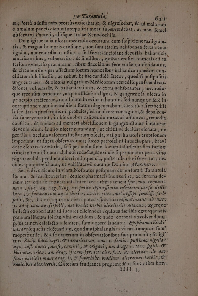 P4 ^. [ s AD TA JG pe Tarantüla; EXT c umulum paucis diebus interpolitisemors fuperveniebat, ut non. femel. obíervavi Patavii , aliifque ita!iz Xenodochiis. Daum igitur talia ulcera medenda occurrunt cum fofpicione malignita-. tis , &amp; magua humoris erofione , non funt ftatim adhibenda ferrasienta ieniia , aut remedia cavuftica ; fed foveri incipiant decoétis balfaimicis amaricantibus , vulnerariis., &amp; fimilibus , quibus erofivi humoris ad ex. teriora evocatio procuratur , fibre flaccidz ac fere erofz con(olidantur, &amp; circulantibus.per affe&amp;tum locum huinoribus balfamica qusdam con- ciliatur.dulcificatio , ac robur, Et hic candidé fateor , qued fi poftpofitis. unguentaceis , &amp; oleofis volgarium: Medicorum remediis prafatx deco- &amp;iones vulnerariz, &amp; balfamicz intus, &amp; extra adhibeantur , methodo- que recenfità patienter ; atque affidue maligna, &amp; gangranofa ulcera in principio tra&amp;dentur , non folum brevi curabantur , fed nanquam fere in: corruptionem,;aur incarabilem ftatum degenerabunt.Gateri.n fi remediis. hi(ce ftatim prafcriptis nil proficies,(ed in ulcere contagiam,&amp; depafcen- tia fupervenerint ; in his duobus cafibus duntaxat ad uftionem , remedia cauftica . &amp; randem ad membri abíciffionei fi gangrenifmus immineat deveniendum, Inufto ulcere carandam , ut citiffioe decidat efchara , ne. per illam occlufa vaforum inaftorum ofcula, maligni liaamoris eruprionem jmpedianr, ut fupra obfervavimus; fucco petrofelini inun&amp;a pars , brevi de fe efchara.n emittit , (i fuper ambu(tam locum infaflletur flos faring: tritici in tenuiífimum alcheol reda&amp;z;&amp; exinde fuperponatur petia vino: nigro madida per diem ulceri relinquenda, pofteà oleo linifoveator; de- cidet quoque-efchara , ut vidi Patavii curante Dómino Marcberta, Sed é diverticulo in viam,Noftrates poftquam demorfum à Tacaatulà: locum .&amp; fcarificaverint, &amp;calexipharmacis inonxerint , ad inrerna de«- müm re'edia fe convestunt; Inter hxc primas tenent fpir. viz. ro/mari-- natus ,[iue; aq. / eg. Ung. ve: potius ip[a eJfentia ro marini perfe: defli-- lata 78 fumpta cum aqua tberi c, cortic. curi , vel byffopi ,meliff. fels- pilli , &amp;c, (tatim itaque exhiberi poteris fpir. eimi rofmarisatus: abo une, 1. ad ij. cusa uq. ferpilli , aut brodio herbis alexiteriis alterato , egerque: in le&amp;o cooperiatur ad fudores eliciendos ; quibus facilius excorqaendis: pannum liBeum fpiritu vini m:didum, &amp; nodo corpori obvolvendom, pris tamen calefaéts:n leniter , fam vopere laadátue. EpipbaniusFerd i moperé utile , &amp; à fe expertum in obfecvationibus fuis proponit : fit igi tur; Récip, bacc, myrt. &amp; tamaricis an, unc, a. femin. paflinac. nigella?' agn. caft. danci , Amft , cutn y 9 origani , an. drAg: s, terr. ficill..de fume quotidie mane drag. ij. G fuperbibe: broadium alieratum: berbis , ^ ' i * a * A M . radicibus alexiteriis; Caverüm fruftranea propemodü n funt , tám hze;, Ilii;