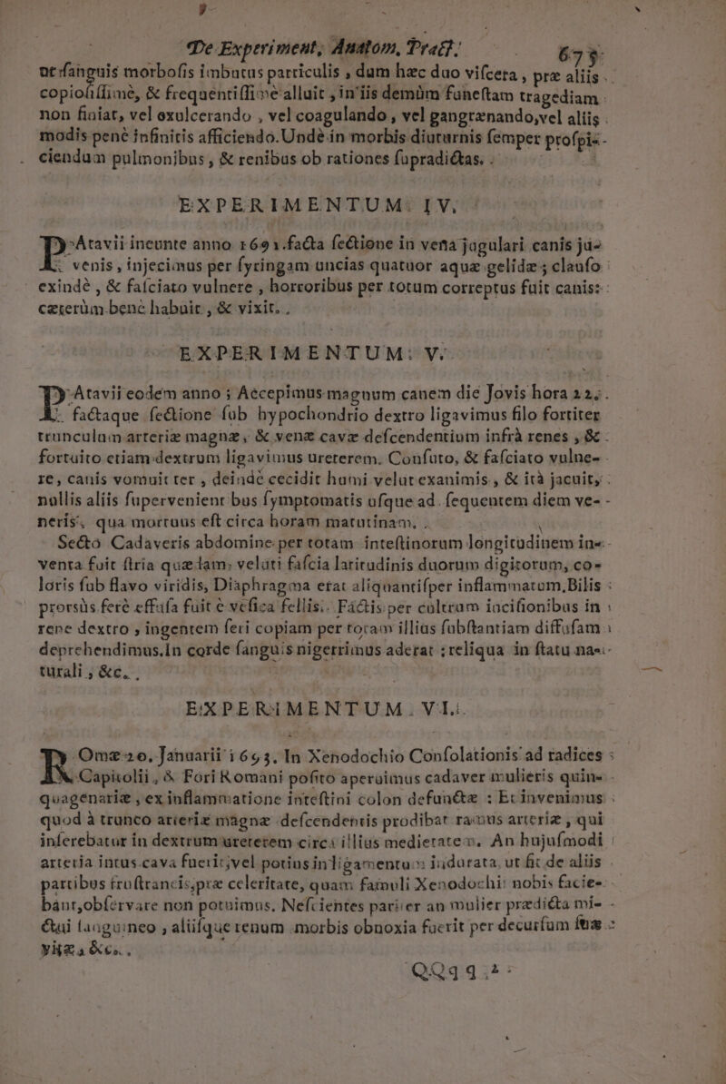 y- [ag yt (Pe Experiment, Auatom, Prat? —— 8633. nsi eu morbofis imbutus particulis , dum hzc duo vi(ceta , prz aliis .- copioliflimé, &amp; frequentiffi e alluit in'iis demüm funeftam tragediam non finiat, vel oxulcerando , vel coagulando , vel gangrenando,vel aliis . modis pené infinitis afficiendo. Unde in morbis diuturnis femper profpiz- ciendum pulmonibus , &amp; renibus ob rationes fapradi&amp;as. . 534 EXPERIMENTUM: IV, yAtavii ineunte anno. 169 1.faQta fe&amp;tione ii vetta jágulari canis jü- x venis , injeciaus per fyringam uncias quatuor aqua gelidz ; claufo : | exindé , &amp; faíciato vulnere , horroribus per totum correptus fuit canis: : czterüm benc habair , &amp; vixit. . EXPERIMENTUM: V. y-Atavii eodem anno ; Accepimus maguum canem die Jovis hora 22; . t fa&amp;aque fe&amp;iione fub hypochondrio dextro ligavimus filo fortiter trunculam arteriz magna, &amp; veng cave defcendentium infrà renes , &amp; . fortuito etiam:dextrum ligavimus ureterem. Confuto, &amp; fafciato vulne- re, canis vomuit ter , deindé cecidit humi velutexanimis , &amp; ità jacuit, nullis alíis fupervenient bus fymptomatis ufque ad. fequentem diem ve- - neris, qua mortuus eft circa horam matutinam, . V Secto Cadaveris abdomine per totam. inteftinoram longitudinem in«-- venta fuit flria quz lam; velati fafcia larirudinis duorum digitorum, co- loris fub flavo viridis, Diaphragma etat aliquantifper inflammatum.Bilis : prorsüs feré effafa fuit e vefica fellis;. Fáctisper cultram iacifionibus in : rene dextro , ingentem feri copiam per toram illias fubftantiam diffufam : deprchendimus.In corde fanguis nigerrimus aderat :reliqua in ftatu nas. turali ; &amp;c, . 1 | | EXPERIMENTUM. VL. wu» Ty Omz2o, Januarii i695, In Xenodochio Confolationis ad radices 1 X Capiiolii, &amp; Fori Romani pofito aperuimus cadaver ivulieris quine. - quagenarie , ex inflammatione inteftini colon defun&amp;z : Ec invenimus : quod à trunco arieriz magna :defcendentis prodibat raus artcriz , qui inferebatur in dextrum uretetem circa illius medierates. An hujufmodi : arteria intus.cava fuerir;vel potiusinligamentu:s: iudurata, ut fit de alüs | partibus tru(trancis;pre celeritate, quam famuli Xenodochi: nobis facies: — báut,obíervare non potuimus, Nefcientes pariier an mulier prediéta mi- - Gui laaguineo ; alüfque renum morbis obnoxia fucrit per decurfum ins yRZa &amp;€o, ; QQq434.^: