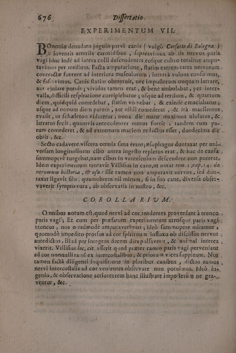 : 4 j EXPERIMENTUM VIL. Ononie denudato jigulo parvi: canis (volgo: Cerfetto di Bologna. ); LJ x inventis arteriis. carotidibus. , (eparavimus ab..ijs nervos. paris. vagi hinc inde ad latera colli defcendentes,eofque cultro totaliter ampue tavimus per medium. Facta amputatione , ftatim extremitates nervorum. contra&amp;te fuerunt ad interiora mufcalorum ; intercà vulpus confuimus,.. &amp; faf-i vimus, Canis ftatim obmutuit, nec impofterum.unquam latrare; aur ejulare potuir.; vividus tamen erat , &amp; bene ambulabat, per. inter- valla,difficili refpiratione corripiebatur ; ufque ad cerium , &amp;. quartum. diem , quidquid comedebat , ftatim vomebar , &amp; exindé.emaciabatur ; ufque ad nonum diem parum ; aut nihil: comederat. , «&amp;. ità - macilentus cyafit , ut fchzleton videretur ; nona. die; mane maximos ululatus , &amp; latratus fecit, quamvisanteccedenter mutus fuerit. tandem cum. pa- . rum comederet , &amp; ad extremam maciem redactus etfet , duodecima die . obiit , &amp;c.. | Sc&amp;o cadavere,vifcera omnia fana erant; z(ophagus duntaxat. per uni- verfam longitodinem cibo antea ingefto repletus.erat , &amp;hac de caufa . füummoperé turgebar,nam cibus in ventriculum de(cendere non poterat. Idein experimentum tentavit Villifias in cane,ut notat t072.1 ,eap.*4. de nervorum bistoria , &amp; ufu : ille tamen non amputavit nervos, íed dun«. taxat ligavit filo , quamobrem.nil mirum, fi in fuo cane, diverfa obíere . vaverit fymptomata , ab obfervatis in noftro, &amp;c. C.O. R-O L-L-A:R-I 0M. Omnibus gotum eft;quod nervi ad cor,.tendentes proveniant à trunco. , paris vagi; Et cum per- prefatum | experimentum utroíque paris vagi ; truncos , nos omnimode amputaverimus ; ideó füummopere miramur ; quomodó impedito prorfus ad cor fpirituum inflaxa ob difci(fos nervos ; antedios , illad per integros decem diespulfaverit , &amp;. animal interea , vixerir; Villifius Jac, cit. aiferit.quod preter ramos paris vagi perveniant . ad cor nonnulli rani ex intercoftalibus; &amp; priorum vices (uppleant. Nos , tamen factá diligenti inquifitione in. pluribus.canibus , dios ramos , netvi intercoftalisad cer venientes obfervare mon. potuimus, Idcó . ins, genio, &amp; obfervatione acrioresrem hanc illu(trare impo'terüim ne. gta-.. ventur , &amp;c. . ; ;