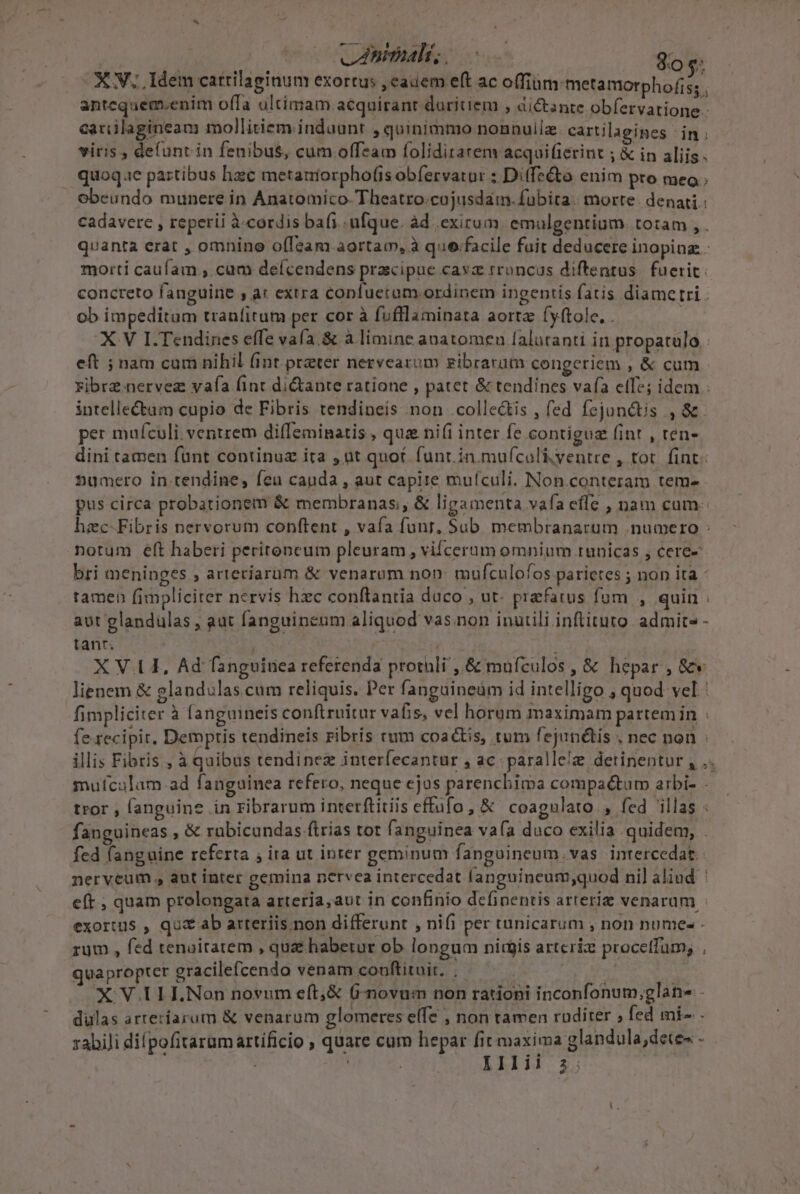 Ec. vanimalis $0 s: X V..Idem catrilaginum exortus , cadem eft ac offium:metamorphofi $5.; antequem.enim offa ultimam acquiranr duritiem , dictante obfervatione. cariilagineam mollitiem induunt , quinimmo nonnuilz. cartilagines | in ; viris , defunt in fenibus, cum offeam foliditarem acquifierint ; &amp; in aliis. quoq.e partibus hac metatriorphofis obfervatur ; Diffe&amp;to enim pro meo; | Obeundo munere in Anatomico-Theatro.cojusdam.fubita.| morte. denati ; cadavere , reperii à-cordis bafi ufque. àd exicum emaulgentium. totam , . quanta erat , omnino offeam aortam, à que.facile fuit deducere inoping. morti caufam , cam deícendens pra«ipue cava rroncus diftentus. fuerit. concreto fanguine , ar extra copnfuetum ordinem ingentis fatis diametri ob impeditum tranfitum per cor à fufllaminata aorta fyftole, . | X V LI. Tendines effe vafa. &amp; à limine anatomeu falaranti in propatulo. eft ; nam cum nihil (int prater nervearim zibrarüm congeriem , &amp; cum ribrz nervez vafa (inc di&amp;ante ratione , patet &amp; tendines vafa elfe; idem - intelle£tum cupio de Fibris tendineis non collectis , fed fejonctis , &amp;. per mufculi: ventrem diffeminatis , quz ni(i inter fe contiguz fint , ten- dini tamen fünt continuz ita , üt quot funt. in mufcoliventre , tot. fint« numero in tendine, fcu cauda , aut capite muículi. Non.conteram tem- pus circa probationem &amp; membranas; &amp; ligamenta vafa effe , nam cum: hzc-Fibris nervorum conftent , vafa funr, Sub membranarum numero : notum éft haberi peritencum pleuram , vifcerum omnium tunicas , cere- bri meninges , arteriarum &amp; venarum non. mufculofos parietes ; non ita - tamen fimpliciter nervis hzc conftantia duco , ut- prefatus fum , quin . aut glandulas , aut fanguinenm aliquod vas. non inurili inftituto. admits - tant; i | XVII, Ad fanguinea referenda protuli ,.&amp; mufículos , &amp; hepar , &amp;v« lienem &amp; glandulas.cum reliquis, Per fanguineüm id intelligo ; quod vel fimpliciter à fanguineis conftruitur vafis, vel horum maximam partemin : fe. tecipir, Dempris tendineis ribris rum coactis, tum fejunétis . nec non : illis Fibtis , à Quibus tendinez interfecantur , ac parallel detinentur , .. mufculam ad fanguinea refero, neque ejus parencbima compa&amp;tum arbi- - tror , fanguine .in ribrarum interftitiis effufo, &amp; coagulato , fed illas fanguineas , &amp; rübicundas.ftrias tot fanguinea vafa duco exilia quidem, . fed fanguine referta ; ira ut inter geminum fangoineum. vas intercedat. nerveum , aot inter gemina ncrvea intercedat fanguineum;quod nil aliud ' eft , quam prolongata arteria, aut in confinio dcfinentis arteria venarum | exortus , qua ab arteriis non differunt , nifi per tanicarum , non numes - rum , fed tenuitatem , quae haberur ob longum nidis artcriz proceffum, . quapropter gracilefcendo venam conftituir. . : y or X VI ILNon novum eft;&amp; (-novum non rationi inconfonum,;glane . dulas arteríarum &amp; venarum glomeres elfe , non tamen ruditer ; fed mi- . zabili difpofitaramartíficio ; quare cum hepar fit maxima glandula;dete- -