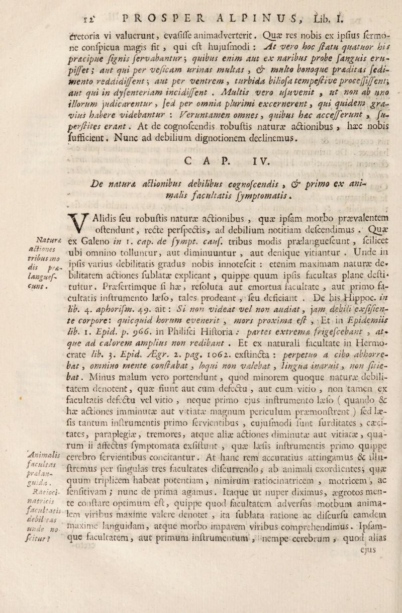 uniones tribus 7no dis pYA- lunguef^ cmt • 'Animulis fucultus pYdlun-^ guida . ^utioci- natricis fuc ult utis • fisbihtus unde no~ fcitur.? PROSPER ALPINUS, iiK L tetoria vi valuerunt, evafilTe animadverterit. Quse res nobis ex ipdus forno- ne conipicua magis fit , qui eft hujufmodi : vero hoc fiat^ quatuor his prsLcipm fignis firvahantHr\ quibus enim aut ex naribus probe [anguis eru^ piffee; aut qui per veficam urinas multas , efi multo bonoque praditas [edi^ mento reddidiffent \ aut per ventrem , turbida biliofa tempefiive procejjijfenti aut qui In dyfenteriam incidljfent . Multis vero ufuvenit , ut non ab uno illorum ]udicarentur, fed per omnia plurimi excernerent, qui^ quidem gra-^. vius habere videbantur : JAeruntamen omnes, quibus hac accejferunt , [lu perfiites erant. At de cognofondis robuftis naturx adionibus > hxc nobis fufficient. Nunc ad debilium dignotionem declinemus. ,, , GAP. IV. De natura aUionibus debilibus cognofcendis , Cr primo ex anU malis facultatis fjmptomatis. T Alidis leu robuftis natura: adionibus , qu^ iplam morbo praevalentem V oftendunt, redle perfpediis, ad debilium notitiam deicendimus .* Qu^ ex Galeno in r. cap. de fympt, cauf» tribus modis praelanguefoant, folicet ubi omnino tolluntur, aut diminuuntur , aut denique vitiantur . Unde in ipfis varius debilitatis gradus nobis innotelcit : etenim maximam natura: de* bilitatem adioncs fiiblatar explicant, quippe quum ipfis facultas plane defti^ tuitur. Praelertimque fi hae, reibluta aut emortua facultate , aut primo £i- Cultatis inftrUmento laeio, tales prodeant , feu deficiant * De fiis Hippoc. in lih, 4. aphorifm, 45^. ait: Si non videat vel non audiat, ]am^debili exfifien^ te corporei qutcquid horum evenerit , mors proxima efi , ,5Et in Epidemlis lih. I. Epid. p, r)66. in PhUifci Hiftoria .* partes extrema frigefceba-nt , at-^ que ad calorem amplius non 7^edihant , Et ex naturali facultate in Hermo- crate lih» 3. Epid» jEgr. 1, pag, io6i. exftincla : perpetuo a cibo abhorre^ hat, omnino mente conflabat, loqui non valebat, lingua inaruit, non fuiC’' hat. Minus malum vero portendunt, quod minorem quoque natuixe debili¬ tatem denotent, qua: fiunt aut cum defcdu , aut cum vitio , non tamen ex facultatis defidfu vel vitio ^ neque primo ejus inftrumento laefo ( quando Sc ha: adliones imminuta: aut v-tiata: magnum periculum pra:monftrent ) iedfo- fis tantum iiiPcrumentis primo lervientibus , cujiilraodi lunt furditates , ca:ci- tates, paraplegia:, tremores, atque alia: a6liones diminuta: aut vitiac^e, qua¬ rum ii ^fiedlus fymptomata exfiftunt , qute Lvfis inftrumentis primo quippe cerebro lervientibus concitantur. At hanc rem accuratius attingamus & iliii’- ftremus per fingulas tres facultates dilcurrendo,- ab animali exordientesj qu;E quum triplicem habeat potentiam, nimirum ratiocinatricern , motricem, ac foifitivam; nunc de prima agamus. Itaque ut nuper diximus, aegrotos men¬ te conftare optimum ePc, quippe quod facultatem adverfus motbum anima- 'lepa viribus maxime valere denotet , ita fiiblata ratione ac difcurfu eamdem maxime languidam, atque morbo imparem viribus comprehendimus. Ipfam- quc facultatem, aut primum inftrumentum', 'uiempe^cerebrum , quod alias ejus