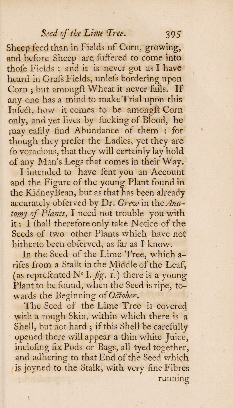 Sheep feed than in Fields of Corn, growing, and before Sheep are fuffered to come into thofe Fields : and it is never got as I have heard in Grafs Fields, unlefs bordering upon Corn ; but amongft Wheat it never fails. If any one has a mind to make Trial upon this Jnfebt, how it comes to be amongft Corn only, and yet lives by fucking of Blood, he piay eafily find Abundance of them : for though they prefer the Ladies, yet they are fo voracious, that they will certainly lay hold of any Man's Legs that comes in their Way. I intended to have fent you an Account and the Figure of the young Plant found in the KidneyBean, but as that has been already accurately obferved by Dr. Grew in th^Ana¬ tomy of Plants, I need not trouble you with it: I fhall therefore only take Notice of the Seeds of two other Plants which have not hitherto been obferved, as far as I know. In the Seed of the Lime Tree, which a- rifes from a Stalk in the Middle of the Leafr (as reprefented N° I .fig. 1.) there is a young Plant to be found, when the Seed is ripe, to¬ wards the Beginning of October. The Seed of the Lime Tree is covered with a rough Skin, within which there is a Shell, but not hard ; if this Shell be carefully opened there will appear a thin white Juice, inclofing fix Pods or Bags, all tyed together, and adhering to that End of the Seed which is joyned to the Stalk, with very fine Fibres running