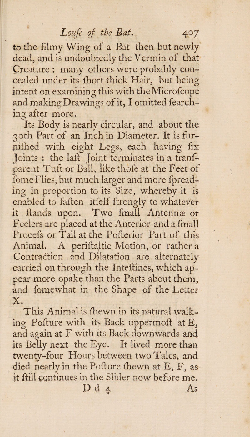 to the filmy Wing of a Bat then but newly dead, and is undoubtedly the Vermin of that Creature : many others were probably con¬ cealed under its fhort thick Hair, but being intent on examining this with theMicrofcope and making Drawings of it, I omitted fearch- ing after more. Its Body is nearly circular, and about the 30th Part of an Inchin Diameter. It is fur- jiifhed with eight Legs, each having fix Joints : the laft joint terminates in a tranf- parent Tuft or Ball, like thole at the Feet of fome Flies, but much larger and more fpread- ing in proportion to its Size, whereby it is enabled to fallen itfelf ftrongly to whatever it Hands upon. Two fmall Antennas or Feelers are placed at the Anterior and a fmall Procefs or Tail at the Pofterior Part of this Animal. A periftajtic Motion, or rather a Contraction and Dilatation are alternately carried on through the Inteftines, which ap¬ pear more opake than the Parts about them, and fomewhat in the Shape of the Letter X. This Animal is fhewn in its natural walk¬ ing Pofture with its Back uppermofl at E, and again at F with its Back downwards and its Belly next the Eye. It lived more than twenty-four Hours between two Talcs, and died nearly in the Pofture fhewn at E, F, as it ftill continues in the Slider now before me, D d 4 As