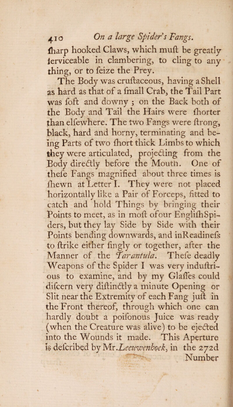 iliarp hooked Claws, which mud be greatly ierviceable in clambering, to cling to any thing, or to feize the Prey. The Body was cruftaceous, having a Shell as hard as that of a fmall Crab, the Tail Part was foft and downy ; on the Back both of the Body and Tail the Hairs were fhorter than elfewhere. The two Fangs were ftrong, black, hard and horny, terminating and be¬ ing Parts of two fhort thick Limbs to which they were articulated, projecting from the Body direftly before the Moutli. One of thele Fangs magnified about three times is fihewn at Letter I. They were not placed horizontally like a Pair of Forceps, fitted to catch and hold Things by bringing their Points to meet, as in mod ofour EnglifhSpi¬ ders, but they lay Side by Side with their Points bending downwards, and inReadinefs to ftrike either fingly or together, after the Manner of the Tarantula. Thefe deadly Weapons of the Spider I was very induftri- ous to examine, and by my Glafles could difcern very diftinCtly a minute Opening or Slit near the Extremity of each Fang juft in the Front thereof, through which one can hardly doubt a poifonous Juice was ready (when the Creature was alive) to be ejected into the Wounds it made. This Aperture h defcribed by Mr.Leeinvenhoek, in the 2y2d Number