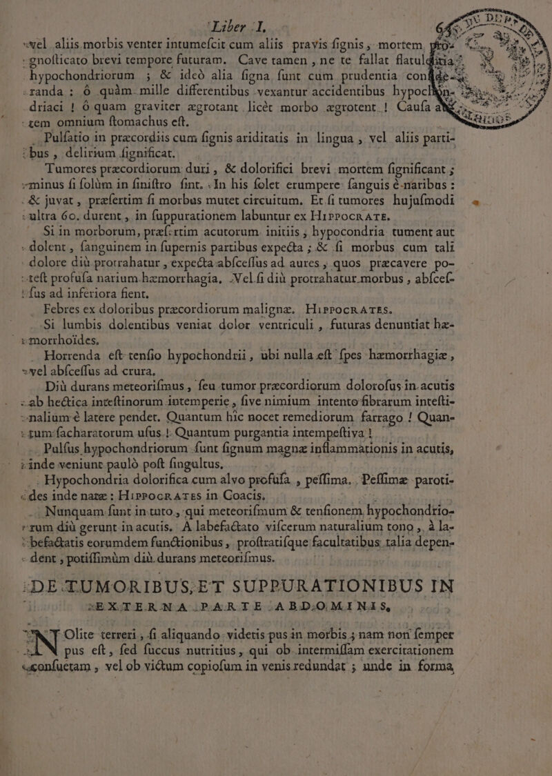 Liber .I. (. svel aliis. morbis venter intumefcit cum aliis. pravis fignis mortem, gros 5. - gnollicato brevi tempore futuram. Cave tamen , ne te fallat flatul ia^ . hypochondriorum ; &amp; ideó alia figna. funt cum prudentia con de- AW Xx -randa ; Ó quàm. ille differentibus .vexantur accidentibus hypoclign- 235.5. driaci ! Ó quam graviter zgrotant licét morbo «grotent.! Caufa aW -£em omnium ftomachus eft. Pulfatio in przcordiis cum fignis ariditatis in lingua ; vel. aliis parti- :bus, delirium fignificat. — Tumores pracordiorum dur, &amp; dolorifici brevi mortem fignificant ; «minus fi folüm in finiftro. fint. «In his folet erumpere: fanguis ud eu &amp; juvat, prefertim fi morbus mutet circuitum, Etífitumores hujufmodi 4 -ultra 60. durent , in fuppurationem labuntur ex HirrocnRATE. Si in morborum, praf:rtim acutorum. initiis , hypocondria tument aut - dolent , fanguinem in fupernis partibus expecta ; &amp; fi morbus. cum tali . dolore dià protrahatur , expecta abíceflus ad aures , quos przcavere po- teft profufa narium.hamorr hagia, .Vclíi dià protrahatur. morbus , abícef- : fus ad inferiora fient. . Febres ex doloribus precordiorum maligne. HirPocRATEs. .Si lumbis dolentibus veniat dolor ventriculi , futuras denuntiat hz- . Horrenda eft-tenfio hypochondrii, ubi nulla eft' fpes hzmorrhagiz , yel abíceffus ad crura. Dià durans meteorifmus , feu tumor pracordiorum. dolorofus in. acutis -.ab he&amp;tica inteftinorum intemperie , five nimium intento fibrarum intefti- -nalium é latere pendet. Quantum hic nocet remediorum farrago | ! Quan- : sum-facharatorum ufus.!. Quantum purgantia intempeftiya ! Ae Pulfus hypochondriorum funt fignum magna inflammationis in acutis, «inde veniunt paulà poft fingultus, : . Hypochondria dolorifica cum alvo profüfa. , peffima. . Peffimae paroti- «des inde narz : Hippocn AT&amp;s in. Coacis, .; Nunquam funt in.tuto., qui meteorifmum &amp; tenfionem. hypochondiio- rum díà gerunt in acutis, A labefa&amp;ato viícerum naturalium tono ,, à la- *befa&amp;atis eorumdem fun&amp;ionibus , proftrati(que facultatibus talia depen- - dent , potiffimüm di. durans meteoriímus. ir DE TUMORIBUS, ET SUPPURATIONIBUS IN SEXODERONAAGPRAGRIIE: A EDO MENA S, N NES terreri , fi aliquando. videtis. pus in morbis ; 4nam nont femper pus eft, fed fuccus nutritius ,- qui ob. intermiffam exercitationem «confuctam , ve ob vi&amp;um copiofum in venisredundat ; unde in forma E