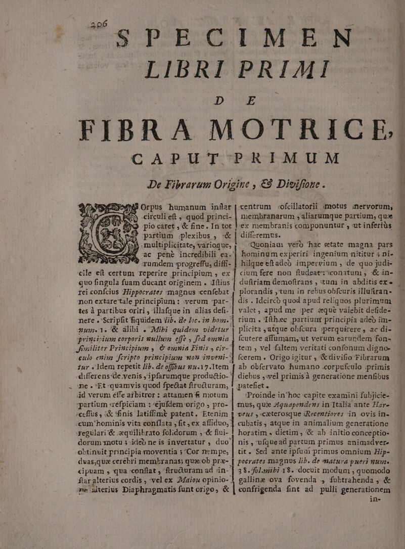 P SPECIMEN LIBRI PRIMI D' E FIBRA MOTRICE: CAPUT PRIMUM De Fibraram Origine ; €9 Divifüue 1 centrum :ofcillatorli motus amervorum, SS Orpus humanum inilat ? partium iplexibus , quo fingula fuam ducant originem . Iítius. rei confcius Hippocrates smagnus cenfebat non extare'tale principium : verum -par- tes à partibus oriri , illafque in alias defi- Sum.l.&amp; libi . Mibi quidem videtur. principium corporis ullum effe , f2d omnia Jiwiliter Principium y. € eumia Finis 4 civ-' eulo enius fcripto principium mon: inveni-^ dur «Idem repetit Jib. de offibus vu.17.1tem -«hifferens-de venis jipfarumque produ&amp;io-- me .:Et:quamvis quod fpeáat firudüuram, 4d verum élfe arbitror : attamen &amp; motum partium :zéfpiciam : *ejufdem origo , pro- «ccffus , &amp;&amp; sinis latiffime patent. Etenim -segulari '&amp; .equilibrato folidorum , &amp; fiui- obtinuit principia moventia ; Cor ncmpe, dvasq u:x cerebri membranas; que-ob prx-. «ipuam , qua :conflat , flru&amp;uram ad in- flar alterius cordis ; vel ex 7Maion opinio- 'ex membranis componuntur , xut inferius &amp;| differemus. Quoniam vero 'hac etate magna pars | hominumexperiri ingenium nititur 5 Di- hilque eftadeó impervium , de quo judi- cum fere non ftudeat: conatum , -&amp; in- | dufiriatn demoftrans , tum in abditis ex « | dis . Idcirco quod apud reliquos plurimum valet , apud me per « eque valebit defide- 1 rium . Ifthec partiunt principia adeb im- | plicita atque obfcura ;perquirere , ac di- fcutere affumam, ut verum earupdem fon- tem , vel faltem veritati confonum digno- fcerem . Origo igitur , &amp;civifio Fibrarum ab óbfervato humano .corpufculo :primis | diebus «vel primisà generatione menfibus patefiet. Proinde in'hoc capite examini fubjicie- mus, qui ztgaapendens in Italia ante Har- | **H:t ,:Cxterosque qecez?iores in ovis in- cubatis , atque in animalium generatione horatim . dietim ; &amp; ab initio conceptio- nis , ufquead partum primus animadver» tit. Sed ante ipfuai primus omnium Hip- poerates magnus Jib. de matura pueri num. 38. AL piibi - 18. docuit modum , quomodo galline ova fovenda 4 fubtrahenda , &amp; l confrigenda fint ad pulli generationem in-