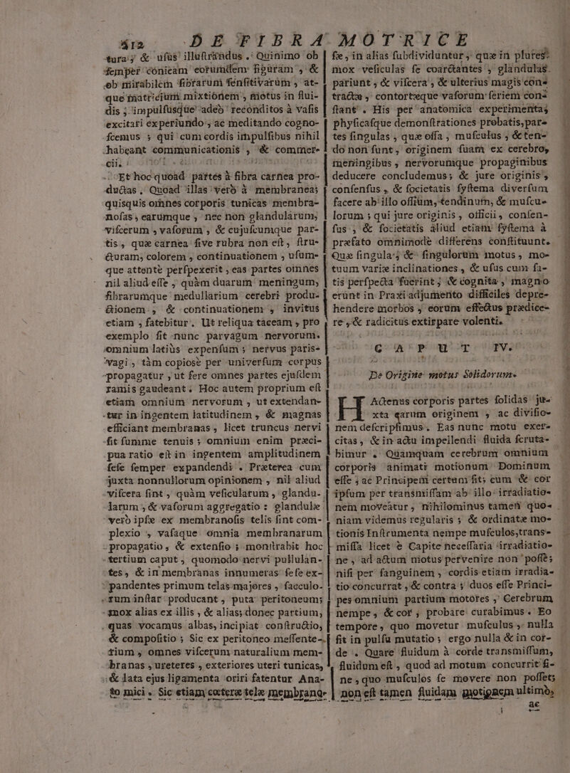 5m. DBECFTIER MOTRICE denper cónieam eorumdem: fiparam. , &amp;| mox veficulas fe coar&amp;antes , glandulas. eb mirabilem fibraruni fénfitivarüm , at- | pariunt , &amp; vifcera ; &amp; ulterius magis cona que fnatriciurmi mixtióriem , &amp;iotus in flui- | tract ,' contor teque. 'vaforum' ferieni cons dis ;: impulfusqüe' 'adeb' reconditos à vafis | ftant . His per anatomica experimentas excitati experiundo , ae meditando cogno- [| phyficafque demonftrationes prebatis,pare fcemus ; qui cuni cordis impulfibus nihil | tes fingulas , qux offa , mufculus ; &amp; ten- -habeant wit ) &amp; cemmer- do non ífunt, originem fuam ex cerebro, cii o6 «d meningibus; nervorumque propaginibus Et hoc — páttés à bra carnea pro- | deducere concludemus; &amp; jure originis, ducas , Quoad illas:verb à membranea; [ confenfus , &amp; focictatis fyftema diverfum quisquis omnes corporis tunicas menibra- | facere ab' illo offium, €endinutn, &amp; mufcue noías , earümque ; nec non glandularum, | lorum ; qui jure originis, officii, confen- vifcerum , vaforum , &amp; cujufcumque par- | fus; &amp; focictatis aliud etiat. fytema à tis, que carnea five rubra non eft, ftru- | prefato omnimode differens conftituunt. é&amp;uram; colorem , continuationem ; Rd Qua fingula: &amp;-^ fingulorum motus, mo- que attente perfpexerit ,eas partes omnes | tuum varie inclinationes , &amp; ufus cum fa- nil aliud effe ; quàm duarum: meningum,; | tis perfpeda faüerint; &amp; cognita , magno firarumque niedullarium cerebri produ- | erünt in. Praxi adjumerito difficiles déprli- &amp;ionem , &amp; continuationen , i hendere morbos j eorum: effe&amp;us pradiee- ctiam ; fatebitur. Ut reliqua taceam , pro , re,&amp; — — ieemtebie exemplo fit.nunc paryvaágum e o omnium latius expenfum; nervus paris- vagi , tàm copiose per univerfum im | - -propagatur , ut fere omnes partes ejufdem ramis gaudeant. Hoc autem proprium eft etiam omnium. nervorum , ut extendan- He cor poris Bitte folidas. ju -tur in itigentem latitudinem , é&amp; magnas xta «arum originem , ac divifio- efficiant membranas , licet truncus nervi | nem H . Eas nunc motu exet- e i P Ar IV 5 —€— motus € Unite. puaratio eitin ingentem amplitudinem $ bimur . Quamquam cerebrum omnium fefe femper expandendi . Praeterea cuim | corporis animati motionum - Dominum juxta nonnullorum opinionem , nil aliud | effe ; ae Principeii certam fit; cum &amp; cor vifcera fint , quàm veficularum , glandu. | ipfum per transniiffam ab: illo: irradiatio- larum ; &amp; vaforum aggregatio : glandule vero ipfe ex membranofis telis fint com- plexio , vafaque. omnia membranarum -propagatio, &amp; extenfio ; monitrabit hoc. *ertium caput ; quomodo nervi pullulan- | fes, &amp; in membranas innumeras: fefe ex- : pandentes primum telas-majores »'facculo- niam videmus regularis ; &amp; ordinate mo- tionis Inftrumenta nempe mufculos;trans- miffa licet € Capite neceffaria 'irradiatio- ne , ad a&amp;um niotus pervenire non ' poffe; | nifi per fanguinem , cordis etiam irradia- tio concurrat ,'&amp; contra ; duos effe Princi- ——Q -3nox alias ex illis , &amp; alias; donec partium, ,quas vocamus albas, incipiat. conftru&amp;io, &amp; compofitio ; Sic ex peritoneo meffente-. rium , omnes vifcerun naturalium mem- branas , ureteres , exteriores uteri tunicas, nempe, &amp;cor,; probare curabimus. Eo tempore, quo movetur mufculus ,. nulla fit in pulfu mutatio; ergo nulla &amp; in cor- de . Quare fluidum à corde transmiffum, fluidum e , quod ad motum concurrit fi- -