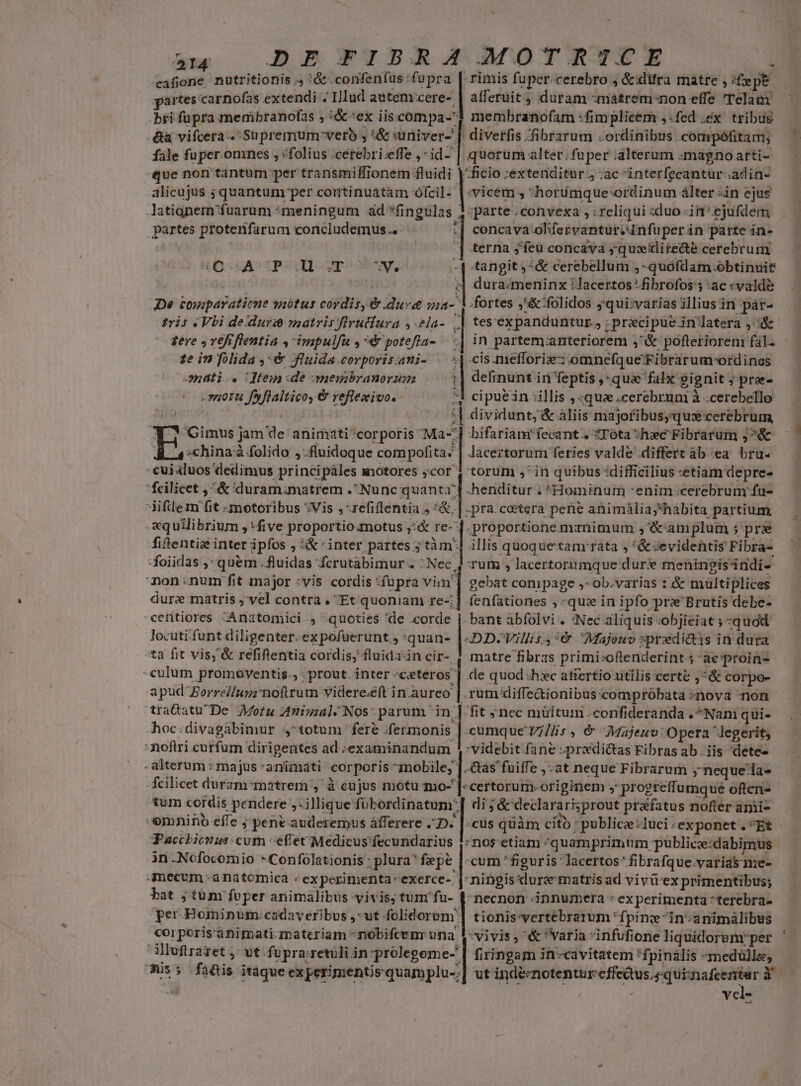 aw o BRBNETPRGOOMOYTYRYZTE cafione nutritionis ., !&amp; .confenfus fupra | rimis fuper cerebro , &amp;iditra matre , (fepe partes carnofas extendi . Illud autem cere- | atferüit ; duram -mátrem-noneffe Telam : bri fupra menibranofas , :&amp; ex iis compa- membranofam Mimplieem ,:fed .ex tribus divetfis :fibrarum .ordinibus .compófitam; &amp;à vifcera. Supremum vero ; :&amp; wuniver-' | | quorum alter;fuper .alterum magno atti- |ui :extenditur., :ac interfecantur-.adin- fale fuper.onines , «folius .cerebri.effe , -id- que non tantum per transmiffionem fluidi alicujus ; quantum per continuátam ófcil-' | vicem , hortíimque:ordinum álter in ejus Jatignem'fuarum *meningum ad *fingulas 1:parte .convexa , ; reliqui «duo iif ejufdem partes protenfarum concludemus.. * concaya ohfervantur.4nfüperán parte in- : || terna ;'feu concava jquslitecte cerebrum (O- APA ST Ne -| tangit, :&amp; cerebellum ,-quófdam.obtinuit 4| dura«meninx lacertos | fibrofos'5 ac «valde 3De cosapavatitne snótus cordis, &amp; dure iia- Vfortes ,'&amp;'folidos jqui:varias illiusin pàár- tris Vbi deldurs matris flrutfura ,.2la-. | tes'expanduntur., ; precipue in'latera ,::&amp; gere » refi lentia ,-impulfa ,7€ potefla- .| in partem:anteriorem ;'&amp; pofteriorem fal- £e in folida ,-&amp; fluida.covporis.ani- — «| cis.mefforiz-: omnefque:Fibrarum ordines -9Ati. tein de membranorum :| delinunt in feptis ,*qua falx 9ignit ; prae- - suotu fyflaltico, &amp; reflexivo. 51 cipuein illis , «quz ;cerebruni à -cerebello | :| dividunt, &amp; àliis majoribus,;quox-cerebrum X33 Gimus jan de animati corporis s bifariam'fecant., *Tota «hzc Fibrarum ,^&amp; A a chinaà folido ,.fluidoque compofita. cui «luos dedimus principáles motores ;cor 4 torum ,' in quibus :difficilius «etiam depre- fcilicet , &amp; duramimatrem . Nunc quanta] .henditur ; Hominum *enim.cerebrum fu- ifle m fit -motoribus :Vis ,-refiflentia J *&amp;,| -pra.cotera pene animàliajshabita partium. -«quilibrium , five proportio.motus ,*&amp; re-']. proportione manimum ,'&amp;'ampluim $pre fifentia inter ipfos ; &amp;&amp; ' inter partes ; tàm'| illis quoquetanrrata , *&amp;evidentis Fibra- -foiidas , quem ..fluidas fcrutabimur . vs rum , lacertorumque duri meningisindi- '| Jaceztorum feries valde .differt àb ea. bru- non :num fit major :vis cordis :fupra vim* dure matris ;'vel contra , 'Et quoniam re- | gebat compage ,* ob.varias : &amp; mültiplices fenfationes ; quz in ipfo pre'Brutis debe- centiores -Angtomici., quoties de corde |. bant abfolvi . :Nec aliquis :objieiat ; quod locuti funt diligenter.ex pofuerunt , :quan- |-DD-Villis.,*&amp; Majouv sprodi&amp;is in dura *ta fit vis; &amp; refiftentia cordis, fluidaincir- | matre fibras primi;oftenderint 5 -ae:proin- -culum promoventis., prout. inter «czteros | de quod «hxc atiertio utilis certe ;*&amp; corpo- apud Borreliunz noftrum videreéft in aureo | rum:diffe&amp;ionibuscompróbata «nova non raQatu De Motu Animal/Nos parum ^in | fit ; nec mültum .confideranda Nam qui- -hoc.divagabimur ,'totum fere .fermonis |. cumque Y?/lis , &amp; Majeuv Opera legerit, -noftri curfum dirigentes ad ;examinandum videbit. fane predictas Fibras ab. iis 'dete- . alterum : majus -animáti corporis mobile, |.&amp;as fuiffe ,-at neque Fibrarum » neque la- fcilicet duram-matrem , à cujus motu mo- |- certorum. originem » progreffumque oftcn- tum cordis pendere ,.illique fübordinatum']| di ; &amp; declarari;prout prafatus nofter ami- - omnino effe ; pene auderemus àáfferere D. |. cus qüàm cito ; publice -Iuci:exponet . ^Et Pacchicnus: cum - effet ;Medicus fecundarius !:nos etiam quamprimum püblice:dabimus in -Ncfocomio -Confolationis : plura* fepe |-cum ' figuris lacertos fibrafque.varids me- mecum: anatomica « ex perimenta-exerce-; |: ningis«lure matris ad viviüiex primentibus; bat ; tum foper animàlibus vivis; tum'fu- $-necnon innumera « experimenta *terebra- per Bominum. cadaveribus ,ut folidorem'| tionis-vertébrarum ! fpinz-inanimàlibus corporis animati materiam *nobifeenr una F-vivis, ^&amp; varia nfufioneliquidoremrper '. dluftrazet j: ut fupra:retuli in prolegeme- | firingam in-cavitatem !fpinális medullae, is; faüis itaque experiments quamplu-;] ut ioc ERRARE ert - dl.