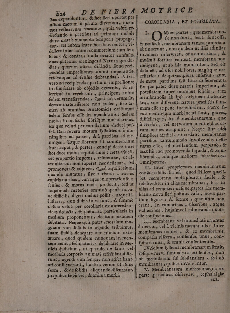 a4 DE FIDBRA MOTRICE E pus expanduntur, &amp; hoc fieri oportet per | alium motum à primo diverfum , quem nos reflexivum vocamus ,quia veluti re- fle&amp;endo à partibus ad primum mobile durz matris momento temporis propaga- tur. ltautem inter hos duos motus , vi- delicet inter animi commercium cum fen- fibus , &amp;.contras nulla oriatur confufio; éuas putamus meninges à Natura .produ- 4s, quarum altera diflin&amp;a fit ad reci- piendas impreífiones animi imperantis; eafdemque ad fenfus deferandas . Altera vcro ad recipiendas partium impreífiones inillis fa&amp;as. ab objedis externis, &amp; ce: lerrimt in cerebrum , principem animi fedem transferendas . Quod. an verum fit, determinate aílerere non audeo, ício ta- men ab omnibus Anatomicis exifümari fedem fenfus effe in. membranis: Sedem motus in mufculis fibrifque mufcularibus. Ex quo veluti per corollarium «deduci pof- fet. Dari revera motum fyftalticum à mc- ningibus ad partes, &amp;à partibus ad me- ninges . Utque liberum fit commercium inter caput » &amp; partes , concipi debet inter hos duos motus equilibrium : certa videli cet proportio impetus refiftentie, ut al- ter alterum .non fuperet nec deftruat, fed. promoveat.&amp; adjuvet. Quod xquilibrium; | * | COROLLARIA , ET POSTULATA. fe non funt, ficuti funtofía, obtinuerunt , non quidem ut illis adinftar involucri inferviret, offa.enim dura, &amp; mufculi fortiter contexti membrana non indigent, utab illa muniantur., Sed eis data eft , ad ufus nobiliores, magisque ne- poteftatem fuper omnibus folidis , tura membranofis ab ipfa originem trahentie bus, tum differenti natura predi&amp;is fum- tum.omnes accipiunt « Neque fint adeà Rr tete occulte ; ad promovenda liquida , &amp; acqui» Omnipotens. JI. Inter proprietates membranarum confderabilis illa eft, quod fcilicet quzli- bet membrana multiplicatur facile , .&amp; fubdividitur in alias membranas, hxc in alias ad remotas quafque,partes..Ex meme branis nova fieri poffunt vafa ; nove pare tium figure: &amp; forme , que ante non erant, In tumoribus , ulceribus , atque vulneribus , hujufmodi admiranda quoti- die confpicimus. -- Ill. Membrane vel immediate oriuntur à nervis , vel à vicinis membranis : Inter quando mutatur, five turbatur 4, varios | membranas omnes , &amp; ex membranis capitis morbos variaque in operationibus fenfus, &amp; motus mala producit. Sed ut hujufmodi materies omninb pen&amp; nova; acdifficilis digeri melius póffit , atque il. luftrari , que dubia in ea funt ; «&amp;.fumme obfura veluti per corollaria ex anteceden- tibus dedu&amp;a , xX&amp; poftulata .particularia in medium proponentur , debitum «examen fubituta. Neque.quis putet 1105 dum ma- gnam vim 4olidis in agendo tribuimus, fuam fluidis denegare aut nimium. exte- nuare , quod quidem nunquam in men- tem venit , fed maturius .defiderare in Me- dicis judicium ; ut quando de fanis vel suorbofis corporis animati effe&amp;ibus diffe- runt, agendi vim femper non adfcribant, uti confüeyerunt , fluidis ; verum utrifque fsam , édefolidis aliquando difcurrant, jn quibus fepe vis , &amp; anima morbi. com pada vifcera » confenfus unus , con- fpiratio una , &amp; omnia confentientia. IV.Solum fyftema membranarum fentit, ipfique.nervi funt adeo acuti fenfus , non. ob medullarem fui fubilantiam , fed ob membranas ; quibus involvuntur. y. Membranarum inorbos magna ex parte periodicos obferyayi , «cephalalgie. | €Xà. aw TC WE M MN AP uw LO 3 , - m