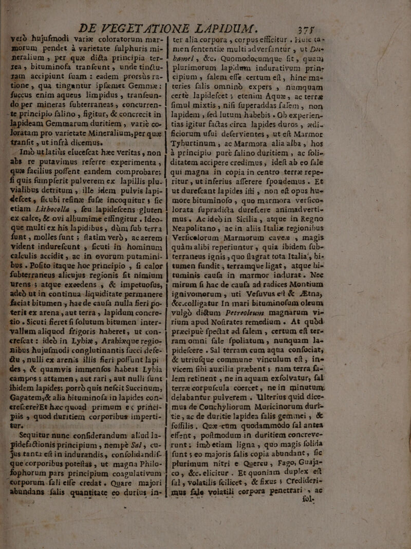 hj - L | ] DE VEGET ATIONE LAPIDUM. 27 | ter alia corpora » corpus efficitur . kiuic ta» | men fententiz multi adverfantur , ut Dae f bamel, &amp;c. Quomodocumque. fit , quam | plurimorum lap;dwm indurativum prine cipium ; falem effe certum eft, hinc ma- teries falis omnino expers , numquam certe lapidefcet ; etenim Aqua, ac terr fimul mixtis , nifi fuperaddas falem , non ru, principio falino , figitur, &amp; concrecit in | lapidem , fed lutum habebis . Ob ex perien- ideam Gemmarum duritiem , vari? co« | tias igitur fadas circa. lapides duros , zedi- loratam pro varietate Mineralium;per quae |: ficiorum ufui defervientes , ut eft Marmor um. pendet à varietate fulphuris mi- 4; Beralium » per que di&amp;a principia ter- 1ea , bituminofa tranfeunt , unde tinu- it- pe hnjufmodi varie coloratorum vd  accipiunt fuam : eadem prorsüs ra- | E. qua tingantur ipfemet Gemma: fuccus enim aqueus limpidus , tranfeun- do per mineras fubterraneas; concurren- tranfit ,utinfrà dicemus. — Tyburtinum , ac Marmora alia alba , hos -Imo utlatius elucefcat hec veritas non ! à principio pure falino düritiem , ac folie abs re putavimus referre: experimenta , | ditatem accipere credimus, ideft ab co fale - quie facilius poffent eandem. comprobare; | qui magna in copia in centro terr repe- — 4i quis fumpfíerit pulverem ex. lapillis plu..| ritur , ut inferius afferere fpogdemus. Et . vialibus detritum , ille idem pulvis lapi- Mefcet, ficubi refine fafze incoquitur y fic . etiam Lirbocolla , feu lapidefcens- gluten ex calce, &amp; ovi albumime etfingitur . Idco- que multi ex his lapidibus, düm fub terra funt , mollesfunt ; flatim verb, acacrem — vident indurefcunt , ficuti in. hominum - €alculis accidit ,.ac in ovorum putamini- 1 - fübterzarieus alicujus regionis fit nimium Wrens.5 atque excedens , &amp; impetuofüs, . adeb ut in continua liquiditate permanere. - daciat bitumen , hae de caufa nulla fieri po- - ferit ex arena , aut terra ; lapidum concre- Jio . Sicuti fieret fi folutum bitumen inter- » vallum aliquod frigoris haberet, ut con- «refcat : ideb in Lybie , Arabixque regio- ibus hujufmodi conglutinantis facci defe- |; &amp;u , nulli ex arenis. illis fieri poffunt lapi . des , &amp; quamvis immenfos habeat Lybia . campos 5 attamen , aut rari , aut nulli funt » ibidem lapides; porro quis nefcit Succinum, - Gagatem,&amp; alia bituminofa in lapides con- &amp;reícere?Et hec quoad. primum ex princi- piis ; quod duritiem corporibus imperti- fur. Sequitur nunc. confiderandum aliud 1a- . pidefs&amp;ionis; principium , nempe $27 , cu- | jus tanta eft in indurandis, confolidandif- . que corporibus poteíta$ , ut magna Philo- ut dure(cant lapides itti ,; non e£ opus hu» morc bituminofo , quo marmora verfíicos lorata fupradica durefcere animadverti- mus. Acideoin Sicilia, atque in Regno Neapolitano , ac in aliis Italia regionibus Vetficelorum Marmorum caves , magis quàm alibi reperiuntur » quia ibidem fub- terraneus ignis ; quo flagrat tota Italia, bi- tumen fundit ; terramque ligat, atque bi- tuminis caufa in marmor iadurat. Nec mirum fi hac de caufa ad radices Montium ignivomerum , uti Vefuvus et &amp; ZEtna, &amp;c.colligatur In mari bituminofum oleum vulgo di&amp;uny Perzreoleuss magnarum vie rium apud Noftrates remedium . At qubd pracipue fpectat ad falem , certum eft ter- ram omni fale fpoliatum ; nunquam ]la- pidefcere . Sal térram cum aqüa confociat, &amp; utriufque commune vinculum eft, in» vicem fibi auxilia praebent ;. nam terra fa- lem retinent , ne in aquam exfolvatur; fal terre corpufcula coercet , nein minutum delabantur pulverem . Ulterius quid dice- mus de Conchyliorum Muricinorum duri- tie ; ac de duritie lapidea falis gemimei , &amp; foffilis.. Que -cüm quodammodo fal antea eff2nt , poftrnodum ihi duritiem concreve- runt; imbetiam ligna , quo majis folida funt ; eo majoris falis copia abundant fic plurimum nitri e Quercu , Fago; Guaja- cO , &amp;c.elicitur . Et quoniam duplex eft -€orporum .fali eife credat « Quare majori a] , volatilis fcilicet , &amp; fixus » Credideri- CHA falis quantitate eo durius in- | mus dis volatili corpora penetfari'» ac » fophorum pars principium coagulativum zzsl Tol.