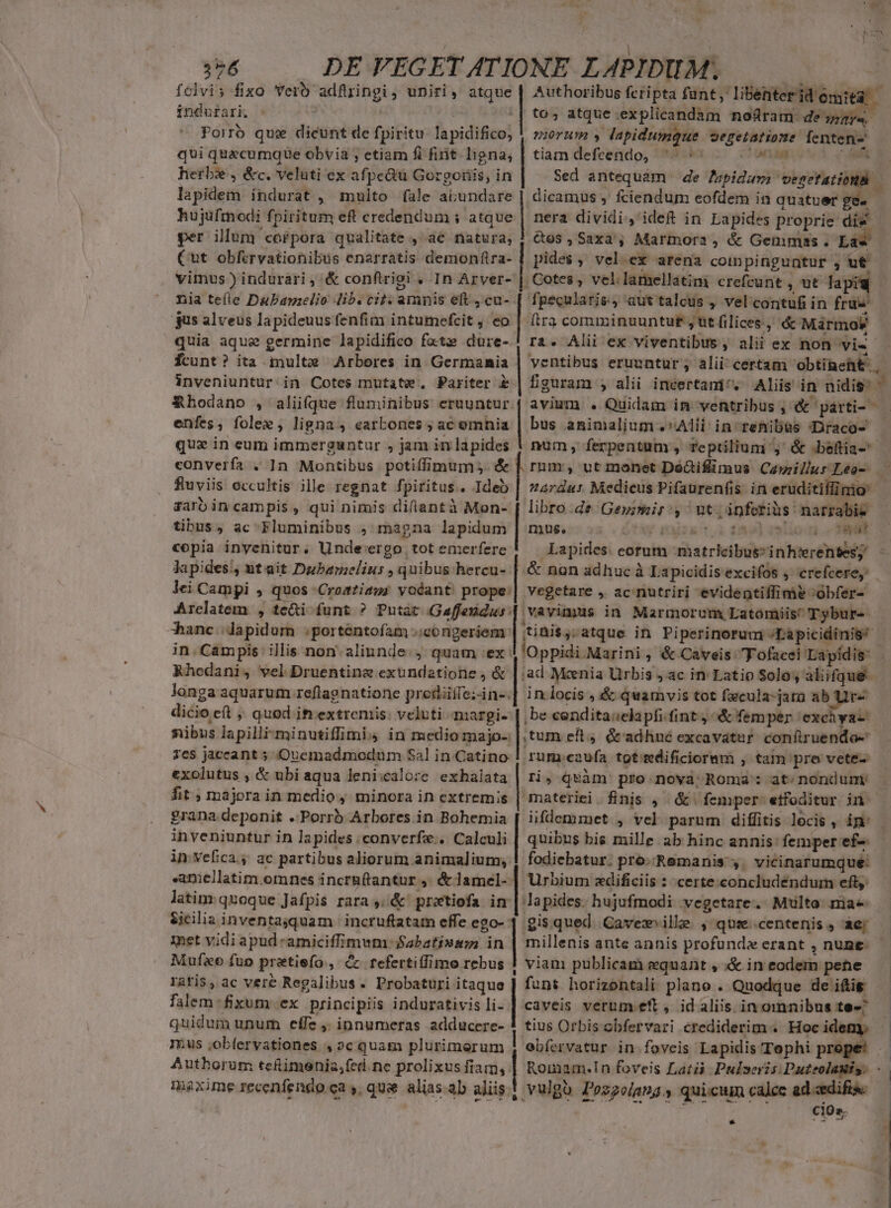 T DE VEGET ATIONE LAPIDUM; MES fclvi; fixo Verb adfringi, uniri, atque | Authoribus feripta Mir Le NEREENE indufari, ^ || to» atque explicandam no&amp;ram- de »jr«.- Porro que dicunt de fpiritu. lapidifico; ! zzerzm |» Japidumque segetatiome fenten- qui quacumque obvia , etiam fi fint. ligna, | tiam defcendo, à Ln -— ». lapidem indurat , multo fale ai;undare hujufmodi fpiritum eft credendum ; atque per illum corpora qualitate , a€ natura, (ut obfcrvationibus enarratis demonfira- vimus) indurari, &amp; conftrio! , In Arver- nia tefle DaPanelio lib. cit: amnis eft, cu-. gus alveus lapideuus fenfim intumefcit , eo quia aque germine lapidifico fate dure- fcunt? ita inultze Arbores in Germania inveniuntur. in Cotes mutate, Pariter £ &amp;hodano , aliifque fluminibus eruuntur enfes, fole , ligna, earbones ; ac omnia que in eum immerguntur , jam in lapides dicamus ,' fciendum eofdem in quatuer ge. - nera dividi, ideft in Lapides proprie die Ges, Saxa, Marmora, é&amp; Gemmss. La« pides , vel.ex arena comnpinguntur , ut , Cotes , vel.lamellatimi crefcunt , ut lapi fpecularie, aut talcus , vel contufi in frue ftra comminuuntuft , üt filices., &amp; Mármok ra. Alii ex. viventibus, alii ex non vis. bus animalium. Alii in renibüs «Draco- num, ferpentum , Teptilium ,' &amp; .beftia-- Lom ccce]. T Lc——— —— fuviis occultis ille regnat fpiritus . Idei saroin campis, qui nimis diflantà Mon- tibus, ac Fluminibus , magna lapidum copia inyenitur. Unde'ergo tot emerfere Japides', ntait Dzbamelius , quibus hercu-- lei Campi , quos Croazia; voéant: prope: Arclatem , te&amp;i funt ? Putàt Gaffeudus: oanc;/dapidum ;portentoíam congeriem: in. Campis illis non. aliunde. 4. quam ex: Rhodani, vel Druentine exundatione , &amp; longa aquarum reflagnatione prodiiíle;-in-. dicio et ,, quod in extreniis: veluti margi- nibus lapilli-minutiffimi4 in medio majo-: es jaceant 5 (Quemadmodum Sal in Catino exolutus , &amp; ubi aqua leni:calore exhalata fit ;majorain medio , minora in extremis | materiei. finis ,. &amp; femper: etfoditur in grana deponit ..Porrb Arbores in Bohemia | ifdemmet , vel parum diffitis locis , in: libro de Gewmir $» ut,inferiüs narrabie D30$.5:.28 . OS podia ros fa] vu wt Lapides. eorum :matricibussinhterentesy &amp; non adhuc à Lapicidis excifos , erefcerey vegetare , ac nutriri evidentiffime 'obfer- vavimus in Marmorunm Latómiis^ Tybur- ^ (tini$j;atque in Piperinorum ;/LDàpicidinis ;ad Meenia Urbis , ac in Latio Solo, aliifque in locis , &amp; quamvis tot fzcula-jata ab Ur- ,be cenditaselapfi fint :&amp; femper excàyaz tum eft, &amp;adhné excavatur. confiruendo- rum.eaufa tot edificiorum , tam pro vete- inveniuntur in lapides .converfze.. Calculi | quibus bis mille ab hinc annis femper ef- in vefica, ac partibus aliorum animalium, | fodiebatur; pro.Remanis' 4. vicinarumque: «amellatim.omnes incraftantur ,. &amp; lamel- | Urbium zdificiis : certe.concludendurm eft latim: qvoque Jafpis rara ,, &amp;' pratiofa dor ortae vegetare.. Multo: riae Sicilia inventajquam | incruflatam effe ego- |. gis qued. Cavea ille. , qusecentenis , àej met vidi apud-amiciffimum $abatinam in | millenis ante annis profundx crant , nune. viam publicam equant , ;&amp; in eodem pene fant horizentali plano . Quodque de iftig | caveis verum eft , id aliis in omnibus te-^ tius Orbis cbfervari érediderim . Hoc idemy Mufxo fuo pretiefo., c refertiffimo rebus ! raris, ac ver&amp; Regalibus. Probaturi itaque falem fixum ex principiis indurativis li- quidum unum effe ,. innumeras adducere- IE.us ;obfervationes ,»cquam plurimerum | Authorum tefimenia,fed.ne prolixus fiam, | maxime recenfengo.ca ,, que alias ab aliis 1 vulgh. Pozgolang. quicum calce ad-aedifts cios. * E 4