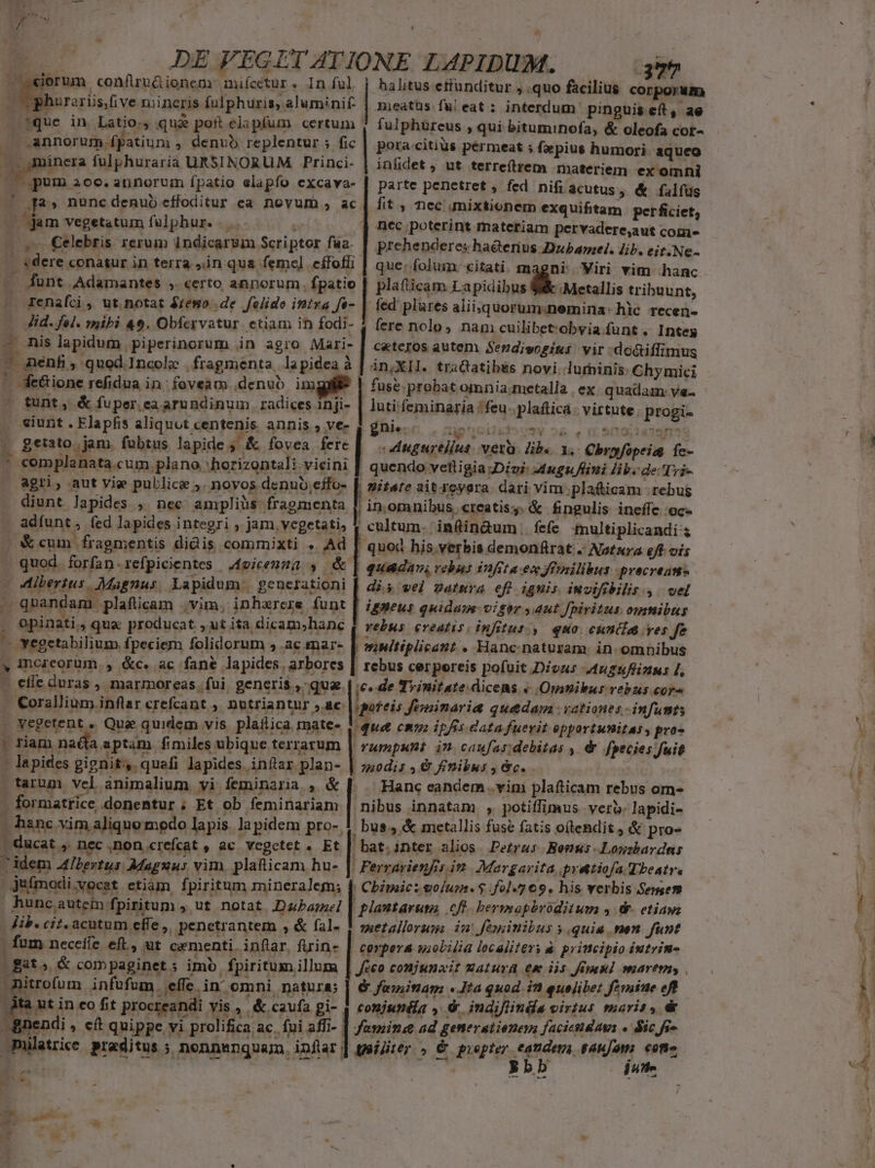 m -  E. DE FEGLTATIONE LAPIDUM. 37 M ciorum. confiruá ionem. mifcetur : inful | halitus ettunditur ; .quo facilius corpo;Wm TM rarüs,five mineris fulphuris, aluminif. | meatus ful eat : interdum. pinguis eft ; ae - tque in Latio., qu&amp; poft elapíum certum | fulphüreus , qui bituminofa, &amp; oleofa cot- | annorum fpatium , denub replentur ; fic | pora-citius permeat ; f» pius humori aqueo Es ünera fulphuraria URSINORUM Princi- | infidet, ut terre(trem materiem ex omni E... annorum fpatio elapfo excava- | parte penetret, fed nifi acutus, &amp; falfus ! qa, nuncdenuo effoditur ea novum , ac fit , nec mixtionem exquifitam perficiet, — jam vegetatum fülphur. .. i | nec poterint materiam pervadere,aut com |.» €elebris rerum indicarum Scriptor fua. | prehenderes ha&amp;erius Dzbamel. ib. eit: Ne- . «dere conatur in terra Jin qua femel. eífofli que: folum. citati. magni | Viri vim «hanc - funt Adamantes , certo annorum, fpatio | plafticam Lapidibus ike Metallis tribuunt, renafci, ut notat jfewo de |felido intra fa- | fed plures aliisquorum:nemina- hic recen- | fere nolo, nam cuilibet-obvia funt .. Intes Jid. fel. mibi 49. Obfervatur. etiam ih fodi- — mis lapidum piperinorum in agio n | ceteros autem Send;wogits vir :doiffimus ^ aeénfi; quod Incole . fragmenta, la pidea à in,XIl. tra&amp;atibes novi. lurninis: Chymici ' We&amp;tione refidua in: foveam .denuo img? fuse probat omnia.metalla |, ex quadam. ve- | tunt, &amp; fuper. ea arundinum radices inji- | luti feminaria ! feu. plaftica - virtute. progi- . siunt . Flapfis aliquot centenis. annis , ve- Éhienn .cupucisisusv o6 . 0 SC oLUDS 2 . getato jam. fubtus lapide, &amp; fovea fere |. Augurellus. vero. Zibe. x. Cbryfopeias fc- : - complanata.cum plano 'horizontali.vicini | quendo vetligia Déui: Auguftini lib. de Tri- | agri, aut vie publice ;. novos denuo,effo- | mitate ait reyera. dari vim plafticam | rebug diunt lapides , nec ampliüs fragmenta ; in,omnibus creatis. &amp; fingulis ineffe :oc- - adíunt, fed lapides integri ; jam, vegetati, 4 cultum. infinàum fefe nultiplicandi &amp; cum. fragmentis didis commixti . Ad [ quod his.verbis demonfrat . Notaza £ft. vis - quod forfan.refpicientes Meicenza 5 &amp; | queda, rebus iaffta-en ffrnilibus -precream- - Viberius. Magnus. Lapidum. generationi [| dis wel zatmra efl ignis. iuvifibilir.4 vel — qnandam plafücam .vim, inharere funt [ Zgmeur quidam visor ,4ut fpiritus omnibus ; opinati. que producat, ut ita dicam,hanc | rebus creatis. infitus.,. quo. cuntias ves Je ' Yegetabilium fpeciem folidorum » ac snar- w;Miitplicant . Hanc naturam: in. omnibus : » moreorum., &amp;c. ac fané lapides, arbores | rebus cerporeis pofuit Dious dMuzuflinns I, - effe duras , marmoreas. fui. generis , qua. | c. de Trinitate dicens « Omnibus vebus cor« . Corallium inflar crefcant , nutriantur ,.ac ipoteis Jeninaria quedam vationes -infunts | e - vegetent .. Que quidem vis. plaftica rmate- qua cm ipfis data fuerit opportunitas, pro» y ' tiam na&amp;ta aptam fimiles ubique terrarum | rfufopHWt iu caufas debitas , &amp; fpecies fuit - lapides gignit, quafi lapides infr plan- | 750di , € finibus ; &amp;c. | munt . tarum vel animalium. vi feminaria , &amp; [| | Hanc eandem . vim plafticam rebus or- v v formatrice, donentur ; Et ob emitaram | nibus innatam , potiffimus vero. lapidi- - hanc vim aliquo modo lapis lapidem pro- 4 bus.) &amp; metallis fuse fatis oftendit , &amp; pro- | ducat ;. nec ,non crefcat , ac vegetet . Et . bat;inter alios Petrus Bonus. Lousbardns a1 idem Albertus Magxus vim. plaficam hu- |: Ferrarienfrs.im. Margarita pratiofa Theatre j juímodi.vocat etiam fpiritum mineralem; 4 Cbémaic: ojus. $ fo].7 69. his verbis Semen | huncautem fpiritum ; ut notat Dabamel | plantarum, cfl. bermapbroditum 4 d. etiawz | - ib. cit. acutum effe ,, pencetrantem , &amp; fale 1 sezallorum: im feminibus ; (quia nen funt Y | fum necefíe ef, ut cementi. inflar, fuin- | corpera uiobilia localiteri à principio iutrim- | gat; &amp; compaginet; imb. fpiritum illum Jeeo conjunait Matura em dis fiu] martes itrofum infuüfum .,effe. in' omni natura; | &amp; finitam «Jta quod in quelibet fzmite ef -Btà ut in co fit procreandi yis , &amp;.caufa gi- 1 comjendia 9. indiftinda virius marit» &amp; i -gnendi , «f quippe vi prolifica ac. fui affi- | faminse ad generatieneva facicttdawa « Sic fra | Amilatrice praeditus 5 nonnenquam. inftar] ggilter , € piepter eandera ganjom. cot «d ENERO 0 MCTREPNST 2d ke Rbb | dutte 3 d : 1  oT.