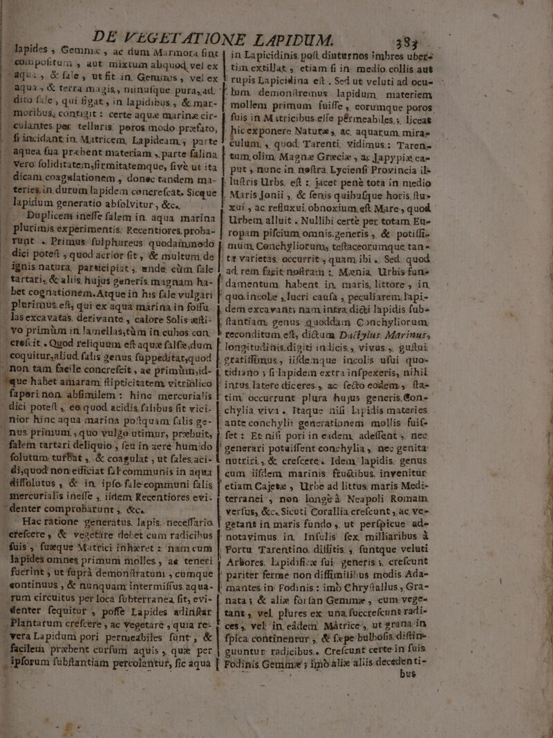 N ES rer ED. erp Loss ad - CET. 4 ERES Aem d MET D UBER Ve gu AGERE E lapides , Gemm , ac dum Marmora fint | in Lapicidinis pofít diuturnos imbres uber | €ou pofitum » aut mixtum aliquod vel ex | tim.extillat ,; etiam fi in. medio collis aut (Aqui, &amp; fale, utfit in. Gemuus , vel ex * rupis Lapicidina eit. Sed ut veluti ad ocu- | Minas terra magis, minufque. pura,ad. ' Inm. demoniremus lapidum, materiem E MEA | dito file ,quibgat,in lapidibus, &amp; mar- mollem primum fuiffe , eorumque poros | moribus, contigit : certe aque marine cir- | fuis in Matricibus ele pérmeabiles.; liceat. E culantes per telluris: peros. modo prxfato, | icexponere Natuta , ac aquarum, mirae X fiincidant in, Matricem, Lapideam ; parte * culum, , qvod: Tarenti. vidimus: Taren- | &amp;quea fua pr«bent materiam , parte falina. | tum. olim Magna Grecis , ac Japypiz ca- / Vero. foliditatem,firmitatemque, fivé ut ita | pt ».nunc in. noftra. Lycienft Provincia il* [3 dicam coagslationem , donec tandem ma- f. lufris Urbs. eft z jacet pené tota in medio - ki teries.in.durum la pidem cencrefcat. Sicque | Maris Jonii ,, &amp; fenis quibu(que horis. ftu» j lapidum Baer atio abfolvitur., &amp;c.. - xui , ac refluxui obnoxium, eft Mare, quod .., Duplicem ineffe falem in. aqua. marina | Urbem alluit . Nullibi cert&amp; per totam Eu (X plutimis experimentis: Recentiores. ptoba- | ropam pifcium omnis.zeneris ;, &amp;. potiffi- FUnDt . Primus: fulphureus quodainimmedo f. mum. Ceuchyliorum, teftaceorumque tan - | ^ dici poteft , quod acrior (it, &amp; multum.de |: ts varietas. occurrit, quam ibi .. Sed. quod: . Jgnisnatura. participiat ;, ende cim fale | ad rem figit noftram ;. Mznia Urbis furi tartari, &amp; aliis hujus generis magnam ha- ['damentum. habent in matis, littore , in bet cognationem. Atque in his file vulgari | quo.incole , lucri caufa , peculiarem lapi- plurimus ef, qui ex aqua márina in foffu. | dem excavant: nam intra dii lapidis fub 1 - lasexcavatas. derivante , calore Solis xiti- ; ffantiam genus. quoddam QConchyliorum |. vo primüm in.lamellas,tüm in cuhos con. 5 reconditum eft, di&amp;um Daífylus. Marinus, . ereícit . Quod reliquum eftaque falfe;dum [ longitudinis.digiti indicis. vivus, guftui ' ; coquitur,aliud. falis genus füppeditát,quod 1 cratiffimus., iifdemque incolis ufui quo- ; non tam facile concrefcit , ae primiun;id- $ cidiano ; fila pidein extra infpexeris, nihil que habet amaram fipticitatem vitrialico | intus latere diceres., &amp;c fecto eodem ,. fla- . faperi non. abfimilem : hinc mercurialis. F tim. occurrunt plura hujus generis.Gon- - * dici poteft ée quod acidis falibus (it vici. : chylia viva .. Itaque niü lapidis materies. | | nior hincaqua marina poftquam falis .ge- . ante conchylii generationem mollis. faif- nus primum ., quo vulgo utimur, prebuit, f fet: Et nifi pori in eadem, adeffent; nec — T falem tartzri deliquio , fen in aere humido generari potuiffent conchylia, nec genita: d - folutum tufPat , .&amp; coagulat , ut falesaci- l nutriri, &amp; crefcere. Idem; lapidis. genus b . (ijquod non eificiat fil communis in aqua | cum iiflem marinis: fiu&amp;ibus. invenitur . diffülutus , &amp; in. ipfo file communi falis f etiam Cajete , Urbe ad littus maris Medi- mercurialis inelTe , iidem Kecentiores evi- | terranei , non long&amp;à Neapoli Romam - denter comprobatunt ,. &amp;c. verfus, &amp;c. Sicuti Corallia crefcunt, ac ve» Hac ratione generatus. lapis. neceffario. | getant in maris fündo ,, ut per(picue ade efefcere , &amp; verctire debet cum radicibus [. notavimus. in. Infulis fex milliaribus à - fuis , fasque Matrici inhxret z nam cum |. Portu Tarentino. diflitis.,, funtque veluti lapides omnes primuni molles, ae teneri | Arbores. lapidifizw fui. generis s. crefcunt fuerint , ut füprà demonftfatum , cumque [' pariter ferme non diffimilibus modis Ada- eontinuus , &amp; nunquam intermiffus.2qua- [| mantes in Fodinis : imb Chry tallus., Gra- rum circuitus per locà fübterranea fit; evi- [ natas &amp; aliz forfan Gemms , cum.veges- denter fequitur , poffe Lapides adinfar | tant, vel plures ex. una. fucctefcunt radi- Plantarum créfcere » àc Vegetare , quia T€- , ces, vel: in eádem. Mátrice ,, ut grána. 1n vera Lapidum pori permedabiles fünt , &amp; | fpica continentur , &amp; fepe bulbofis diftine facilem praebent curfam aquis, que per | guuntur: radicibus. Creícunt certein fuis i - ipforum fübftantiam percolontur, fic aqua [ Fodinis Gem ; igo alis aliis —— r4