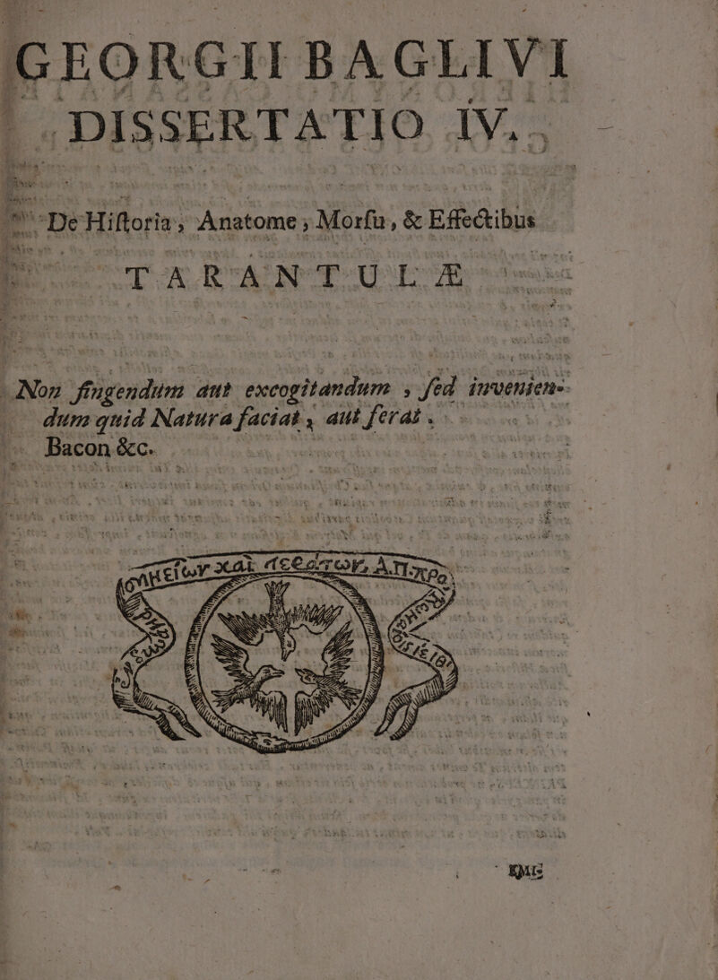 GEORGII BAGLIVI ibudb iv.. kis 1m WA - 3 Hiftoria, Anatome , Morfü, &amp; Efi P UICE EUR NADEL T T figendum. ant NOME, ved ; je dwoenien- | dum quid Natura eene id ferat» jd. POR e biu. , Bacon&amp;e, peii pascavep ge quedes.