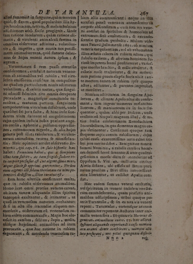 DFTARANTULA. 267 ud remaneat i in fanguine,quàm terreum | biem aliis communicant ; neque in illié juid, &amp; digom »quod popularibus. illis hy- accufati potett venenum antecedenter ^il corpote abfconditum ; cum tota vis vene- ni conftat in fpiritibus &amp; humoribus ad ; Atia adeb taie progignit . linde tam ratione incolarum ; quàm ratiene cli- . matis ; &amp; virulenti animalculi fumma in - omnibus obfervatur aótivitas , volatiliza- tio .&amp; impetus ,. que omnia nos potilfi- | mum animadvertunt, quid flatuere debea-- mus de hujus veneni natura ipfum ; &amp; gwgrume —-— ' T .Verumtamen fi rem paulb attentius «onfideremus , conflaLit naturam veneno- | calceis: male tra&amp;averat, &amp; ita miferri- j m ab animalibus vel rabidis , vel viru- ] mus patiens paucis elapfis horis obiit ; an- . lentis emifforum confi^e;e in compofitio- | te mortem tamen in rabiem ipfe quoque ^ne quadam particularum nimis adiyarum | a&amp;us ; adflantes , .&amp; parentes lic Mn Hd ! volatilium 3. &amp; celeris motus , qua fangui- ; ut morderet . [o admilli fulminis ritu omnia detepente ANimiam aüivitatem in fanguine Api- . pervadant , magnofíque concitando tu- j lorum , «&amp; climate A pulo ulteriüs confis- - multus., mutuum partium fanguinem mant, tam ingens-numerus meélancho- * componentium vinculum diffolvunt, unde | licorum , &amp; maniacorum àis in locis fre- - qualibet fui juris facte , &amp; hinc inde fece- | quentior , quàm albi per Itiliam , unde | dentes. viam fernunt ad coagulationem; | ere&amp;um ef Neapoli magnum. illud , &amp; to. tius . Italie celeberrimum Xenodochiüei Incurabilium; in quo dementes magna co- pia detinentur. Coníirmat quoque tani frequens copia canum rabidiorum , cujus tabiei caufa «exurentiffimo acris calori tri- bui jure merito dcbet . 'Benignitate tamen Ícentie gradum perdu&amp;is .. Mülum vidi-. inus Patavii Julio. menfe 1691.0b nimiata veneris turgcfcentiam , vel ob yehementes illius zílatis calores in rabiem adtuni , qui e 3  riose impetens humi proftraverat ; variof- que rnorfus brachio, &amp; eollo attujerat, &amp; 1 ' eujus quidem indicia nobis prebent ango- res cordis , aphonie ,. pulfuum oppreflio- nes , extremorum nigredo , &amp;, alia hujus [generis poft: illata rabidorum , &amp; virulen- | forum animalium venena fe mein otia. Huic opinioni arridet obfervatio Be- - mivenii , qui cap. $6. in. fuis biftoriis hic | Summi Numinis a rabidis canibus homi- * * habet : D Fauaulums babui, qui à Scorpione | nes demorfi brevi fanantur;fi ante quadra- défus Lan fubito , ac tam frigido fudore to- | gefimuma morfu diem fe. contulerint ad ^ (qe corpore perfufus ef! ut algentiffimaa nive, | Oppidum S. Viti 40. -milliariis. circiter . atque glacie fe opprimi quereretur. Vere | Aletio ditans , ubi effüfisad Drum pura eum aigenti illi folam tberiacam ex vino fo mente precibus ; Divi illius interceíffione [o gentiori dediffoua 4 illico curatus eft .- mox liberantur, ut cuilibet Apulia con. * Rem hanc ulteriüs confirmant sula. ftat. | que in . rabidis obfervamus animalibus. | - Homo licet omni proríus veneno careat, - eb iram tamen aliquando illius fpiritus  | tantopere exaltantur , &amp; irritantur , ut : quafi in venenofam naturam .evehantur: &amp; fi in adu illo iracundie aliquem mo. morderit ; Obfervatum e(t. venenofam ra- - biem eidem communicaffe . Magis hoc elu- | eefcit i in.canibus ; felibus , lupis , mulis, | generat. aziualiuuz exerc. $7. hiec afferat (aliifque hujufmodi. animalibus ad iram 1 Jpféget aliquando experiundi caufa mann | provocatis , oe hac ratione in rabiem | acm aramei demte confricans , sanum alia velfpirituum in veneni indolem eve&amp;ó- rum excandefcentia , quam prefatis ani- malibus adfcripfimus » tribui quoque po- terit Tarantule , '&amp; in ea tota vis veneni reponi . Tarantulas , «o:terofque araneos cominuniter reponunt Audorces inter ani-- malia venenifera , Et quamvis Harzent de : Nnna ffr. - A ras