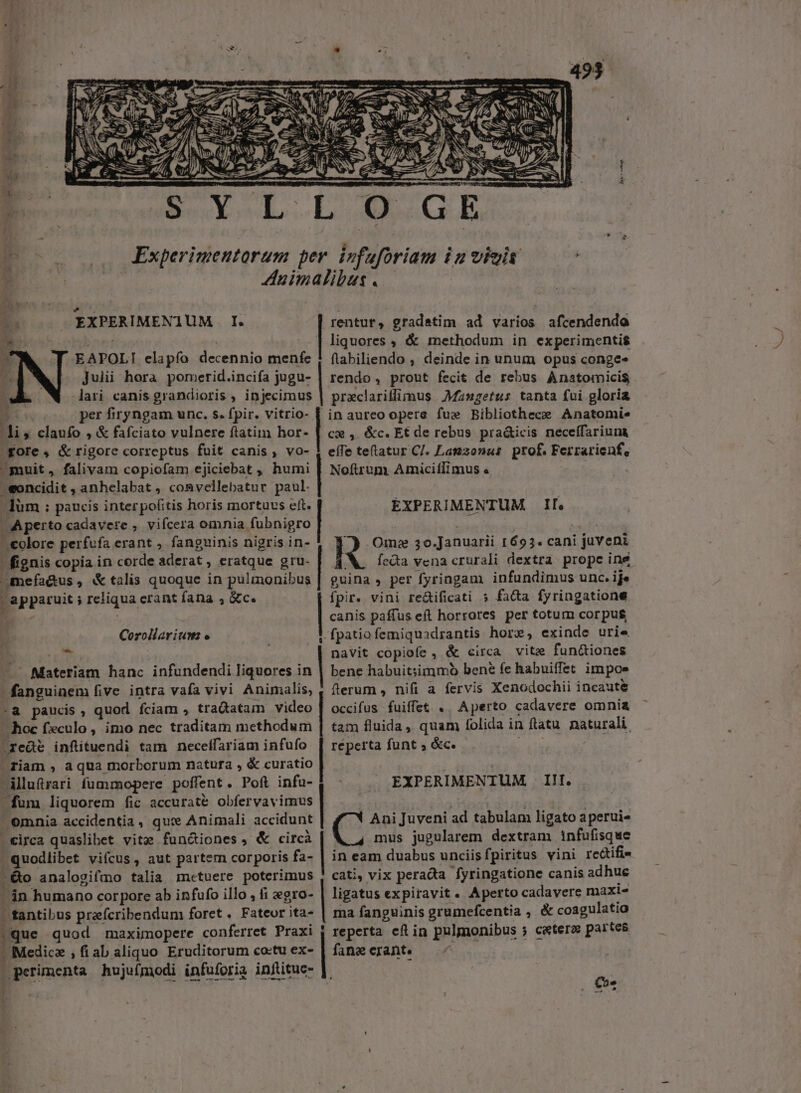 d . x eR EXPERIMEN] UM. I.  EAPOLI ela pfo decennio menfe (f Julii hora pomerid.incifa jugu- lari canis grandioris , injecimus per firyngam unc. s. fpir. vitrio- hi » claufo , &amp; fafciato vulnere ftatim hor- gore , &amp; rigore correptus fuit canis , vo- -muit, falivam copiofam ejiciebat , humi »eoncidit , anhelabat , convellebatur paul. düm : paucis inter pofitis horis mortuus eft. Aperto cadavere ,. vifcera omnia fubnigro -. colore perfufa erant , fanguinis nigris in- fignis copia in corde psa at, eratque gru- mefa&amp;us, &amp; talis quoque in pulmonil »us : apparuit ; reliqua erant fana , &amp;c. Ó Corollarium e Materiam hanc infundendi liquores in Binguiaera lr e intra vafa vivi Animalis, -&amp; paucis, quod fciam , tradtatam video hoc feculo, imo nec traditam methodum -redt infituendi tam necelfariam infufo riam , aqua morborum natura , &amp; curatio -dlluftrari fummopere poffent. Poft infu- fum liquorem fic accuraté obfervavimus omnia accidentia, qu: Animali accidunt - eirca quaslibet vitz fun&amp;iones, &amp; circà - quodlibet viícus, aut partem cor poris fa- .&amp;o analogifmo talia, metuere poterimus án humano corpore ab infufo illo , fi egro- J tantibus prafcribendum foret. Fateor ita- | que quod maximopere conferret Praxi . Medicz ; fi ab aliquo Eruditorum co:tu ex- Bberimenta hujufmodi infuforia injlitue- | | | n l d | | i Ic Ie | | rentur, gradetim ad varios afcendenda | liquores , &amp; methodum in experimentis flabiliendo ; deinde in unum opus conges rendo, prout fecit de rebus Anatomicis praclariffimus. Manugetus tanta fui gloria in aureo opere fue Bibliothece Anatomie cx, &amp;c. Et de rebus pra&amp;icis neceífariuna effe telatur CJ. Latizonus prof. Ferrarienf, Noftrum AmiciíIimus « EXPERIMENTUM II. Omz 30.Januarii 1693. cani juveni feda vena crurali dextra prope ine guina , per [Íyringam infundimus unc. ije fpir. vini re&amp;ificati » facta fyringatione canis paffus eft horrores per totum corpus fpatio femiquadrantis hor, exinde urie navit copiofe, &amp; circa vitz fun&amp;iones bene habuitsimmóo bené fe habuiffet impos flerum , nifi a fervis Xenodochii incaute occifus fuiffet .. Aperto cadavere omnia tam fluida, quam folida in ftatu naturali. reperta funt , &amp;c. EXPERIMENTUM. Ilf. Ani Juveni ad tabulam ligato a perui« mus jugularem dextram infufisque in eam duabus unciisfpiritus vini redifi« cati, vix peracta fyringatione canis adhue ligatus expiravit. Aperto cadavere maxi- ma fanguinis grumefcentia , &amp; coagulatio reperta cíl in pulmonibus ; cetero partes fane crant. -— 2