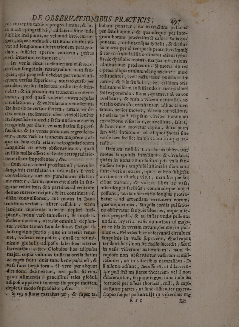 u^ ; .DE OBSERVATIONIBUS PRACTICIS: — doy Dis currentis tardics progrediuntur, &amp; lo- | bulam ponatur, ità extradWuin pul&amp;bit ..€o motns progreffivi.,' ad latera hinc inde per femihoram , quandeque per inte- - diffilire incipiunt, ac vclut ad invicem ur- gram horam praefertim (1 calori Solis ex^ $geri ,atque confundi 3 üt Rana diutius yi- ponatur , ordinatofque fyftolis , &amp; diafto- vat ad longiorem obfervationem peragen- | lis motus per id temporis protrahet.Tmmy ; dam ,. fufficiet aperire ventrem , pecus | fi corin fraftula illa ordinatos ctiam fyfto- -$vero inta&amp;um relinquere . lis, &amp; dyailolis motus , magna intuentium 1 Jn venis circa mefenterium obferzavi ! adniirátione producunt. Si motus illi rez s» curfum fanguinis retrogradum naa fan- cipreci aliquantulum:elanouefcunt : mox guis » qui progredi debebat per venzni ati- | rettitiehtur , vel: £i&amp;á 'aeus puncurá ine quam verfus fuperiora , mutato curfu per | cordes &amp; (uis früftulis j' vel: calidum oris .5eandem verfus inferiora ordinate defcen- | halitum eiftem infufflando :' aut'calidiori » debat ; &amp; in proximum truncum exonera- | soli exponendo . Rana ; quamvis ab ea cor », batur, quod quafi videtur contra regulas | avellatur, &amp; omnia vifcera naturalia, ac «cireulationis , &amp; valvularum venofarum. | vitalia omninb extrahantur, adhuc tamen ». Ut hac de re certior flerem , unam ex di- faltat', oculos movet , &amp; tota convellitur, .. &amp;is venis snefenterii-oleo vitriolileniter 1 Et etiara poft elapfany circiter horam ab » in fuperficie inunxi : fa&amp;ta un&amp;ione cur(us | extradione vifcerum ; convellitur , faltat, — fanguinis per illam venam ftatim fuppref- | &amp; hinc inde movetür capite , &amp; corpores ,füs füit.s &amp; in venas proximas regredicba- | &amp;c. vidi interdum ad aliquot *horas fine pstur ; mox verb in truncum majorem ; at- | corde hic feciffe; immo etiam in aqua na- quein hoc caía etiam retrogradationem | taffe Hf | | 4anguinis in vivis obfervavimus , duafi Demum 'nulfibi tam clarius obfervatur | - in illis nulle effent valyulz retrogradatio- | motus fanguinis inteftinus , &amp; circularis, mem illam impedientes y &amp;c. qààm in Rana » non folüm quia vaa fan« 1 Cum Rana morti proxima eft j^ circulus güifera hujus amphibii aüimalis diaphana ^ fanguinis retatdatur in. fuis vafis, fi verb | funt, verüm etiam , quia eultro fübje&amp;a — convellatur, aut ob pun&amp;uram illatam | anatomico diutius vivit , manibusque fa- i: moveatur 5: ftatim motus circularis in fan- | cilius; tra&amp;ari , &amp; vifcera illits ae vafa, - *guine reftituitur, &amp; a partibus ad centrum | niierofcopio faciliüis ; comm odeque fübjici - «Alenuo currere incipit , &amp; ita continuat , fi poffunt , ut ita obfervatio longius protra- iQ convulfiones , aut motus in Rana hatur , ad eruendam veritatem eorum, *eentinuaverint , aliter ceffabit . Rama | qux'inquirimus . Singula cordis pulfatios jamjam moriente arterie -depleri inci- | ne obfervatur fanguis ulterius ; atque ulte- , ' piant , vens vero tumefieri, &amp; impleri. | rius progredi ; &amp; ad inflar undx pellentis undam urgeria vafis minoribus ad majo- MER ond - «Eadem mortüa , arterie omninb- deplen- . ur ,' vene tamen tumidz fiunt. Exigua il- 4 ra ex his in venam cavam,demiüm in pul- . Ja fanguinis portio , qua in arteriis rema- | mones . Felicitas hzc obfervandi circulum - met, videtur compofita , quafi ex tot mi- | fanguinis in vafis fupra cor, &amp; ad caput - numis globulis:adipofis lateribus arterie | tendentibus , non ita facile füccedit , ficuti . dherentibus:,:&amp;c.-Globulos hos adipofos | in vafis vifcerum' naturalium , nam ibi majori copia vidimus in Rana occifa ftatim | copiofe non obferyántur vaforum ramifi- . ac capta fuit; quia tunc bene pafta eft , &amp; | cationes , uti in vifceribus naturalibus . Et - :wafa funt turgidiora . Si vero per aliquot | fi alique adfunt , neceffe eft; ut dilaceren- - ;dies domi. detineatur, nec pafía fit con | tur poft fetum Ran thoracem, vel fi non | *gruis alimentis j pauciffimi tales sisi ilacerantur , ferpunt tamen hinc inde ita . adipofi apparent in arter iis prope mortem | tortuose per offeas thoracis ; colli, &amp; capie. - depletis modofupradido 4&amp;c. ^. . '' ^ .[tisRane partes , ut fane difficulter Inycro- ^« Sicora Rana extrahat yr, &amp; füper tae] fcopio fubjici pofsunt.Ut in ade: nae