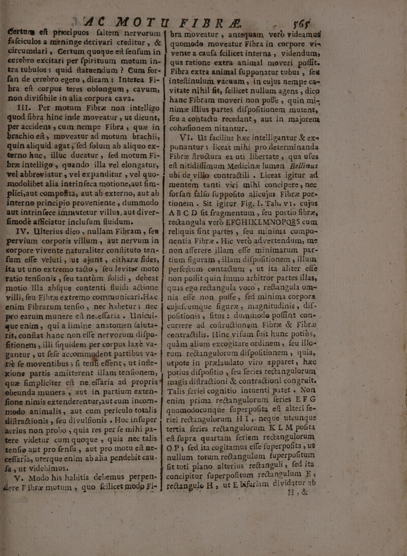E o o OU WMOrurrskA tz A | Certum eft pr&amp;cipuos faitem nervorum bra nmioveatur » antequam vero videamus - fafciculos a meninge derivari creditur, «| quomodo moveatur Fibra in corpore vi« circumdari , Gertum quoque eit fenfum in ! vente a caufa fcilicet interna ,, videndum, . €erebro excitari per fpirituum motum in- .&amp;ra tubulos; quid ftatuendum ? Cum for- - fan de cerebro egero , dicam : Intetea Fi- - bra eft corpus teres oblongum , cavum, non divifibile in alia corpora cava. — . JII. Per motum Fibre non intelligo quod fibra hinc inde moveatur , ut dicunt, | per accidens ; cum nempe Fibra , que in brachio e(t, moveatur ad motum brachii, quin aliquid agat ; fed folum ab aliquo ex- . terno huc, illuc ducatur , fed motum Fi- - bre intellige , quando illa vel elongatur, - vel abbreviatur , vel expanditur , vel quo- -modolibet alia intrinfeca motione;aut fim- - plici;aut compofita, aut ab externo, aut ab | interno principio proveniente ; dummodo - aut intrinfece immwtetur villus, aut diver- fimode afficiatur inclufum fluidum. IV. Ulterius dico , nullam Fibram , feu | pervium corporis villum., aut nervum in . corpore vivente naturaliter conílituto ten- fum effe veluti, ut ajunt, cithara fides, /ita ut uno extremo tato , feu leviter moto ^ fatio tenfionis , feu tantiüm folidi , debeat . motio illa abfque contenti fluidi a&amp;ione villi, feu Fibra extremo communicari.Hac enim Fibrarum tenfio , nec habetur; rec pro earum munere ei neceffaria . Unicui- ^quecnim, quialimine anatomen (aluta- - rit, conftat hanc non effe nervorum difpo- fitionem , illi fiquidem per corpus laxe va- gantur , ut fefc Me partibus va- zie fe moventibus ; fi tenfi effent , ut infle- -xione partis amitterent illam tenfionem, qua fimpliciter eft ne.eífaria ad propria ;ebeunda munera , aut in partium exten-  fione nimis extenderentur,aut cum incom- modo animalis, aut cum periculo totalis 'diftra&amp;ionis , feu divulfionis . Hoc infuper acrius non probo , quia res per fe mihi pa- c^ videtur cum quoque , quia nec talis 1eníie aunt pro fenfa , aut pro motu eft nc- keffaria, uterque enim ab alia pendebit cau. fa , ut videbimus. rdi — 'w. Modo his habitis debemus perpen- lere Fibre motum , quo fcilicet modo Fi- 1. qua ratione extrà animal moveri poflit. Fibra extra animal füpponatur tubus , feu inteftinulum vacuum , in cujus nempe ca- vitate nihil fit, fcilicet nullum agens , dico hanc Fibram moveri non poffe , quin mi« ninye illius partes difpofitionem mutent, feu a cohtactu recedant, aut in majorem cohaefionem nitantur. VI. Ut facilius hxc intelligantur &amp; ex ponantur; liceat mihi pro determinanda Fibra fru&amp;ura ea uti libertate , qua ufus eft nitidillimum Medicins lumen Be//inus ubi de villo contra&amp;ili . Liceat igitur ad mentem tanti viri mihi concipere , nec forfan falío fuppofito alicujus Fibre por« tionem . Sit igitur Fig. I. Tab. v1. cujus AB C D lit fragmentum , feu portio fibre, re&amp;angula vero EFGHIKEMNOPQRS cum reliquis fint partes , feu niinima compo- nentia Fibr: . Hic vero advertendum, me non afferere illam effe minimarum par- tium figuram , illam difpofitionem , illum perfectum. centa&amp;um , ut ita aliter cffe non poffit quin immo arbitror partes illas; quas ego re&amp;angula voco , re&amp;angula om- nia effe non polle, fed minima corpora eujufcumque figure, magnitudinis , dif- pofitionis fitus : duininode poffint con- currere ad coürudionem Fibre &amp; Fibra centraGilis. Hinc vifu fuit hunc potius, quàm alium excogitare ordinem ». feu illo- rum re&amp;angulorum difpolitionem , quia, utpote in prxlaudato viro apparet, hac potius difpofitio , feu feries rectangulorum magis diítra&amp;ioni &amp; contra&amp;ioni congruit, Talis feriei cognitio intuenti patet . Non enim prima re&amp;angulorum feries EF G quomodocunque fuperpofita efl alteri fe- riei rectangulorum H I ,, neque utcunque tertia feries re&amp;angulorum K L M polita ef fupra quartam feriem rectangulorum O P ; fed ita cogitamus elfe faperpofita , ue nullum totum re&amp;angulum fuperpofitum fit toti plano alterius re&amp;anguli , fed ita concipitur fuperpofitum redangulum E; re&amp;angule H,4utE bifariam dividatur 3b H.&amp;
