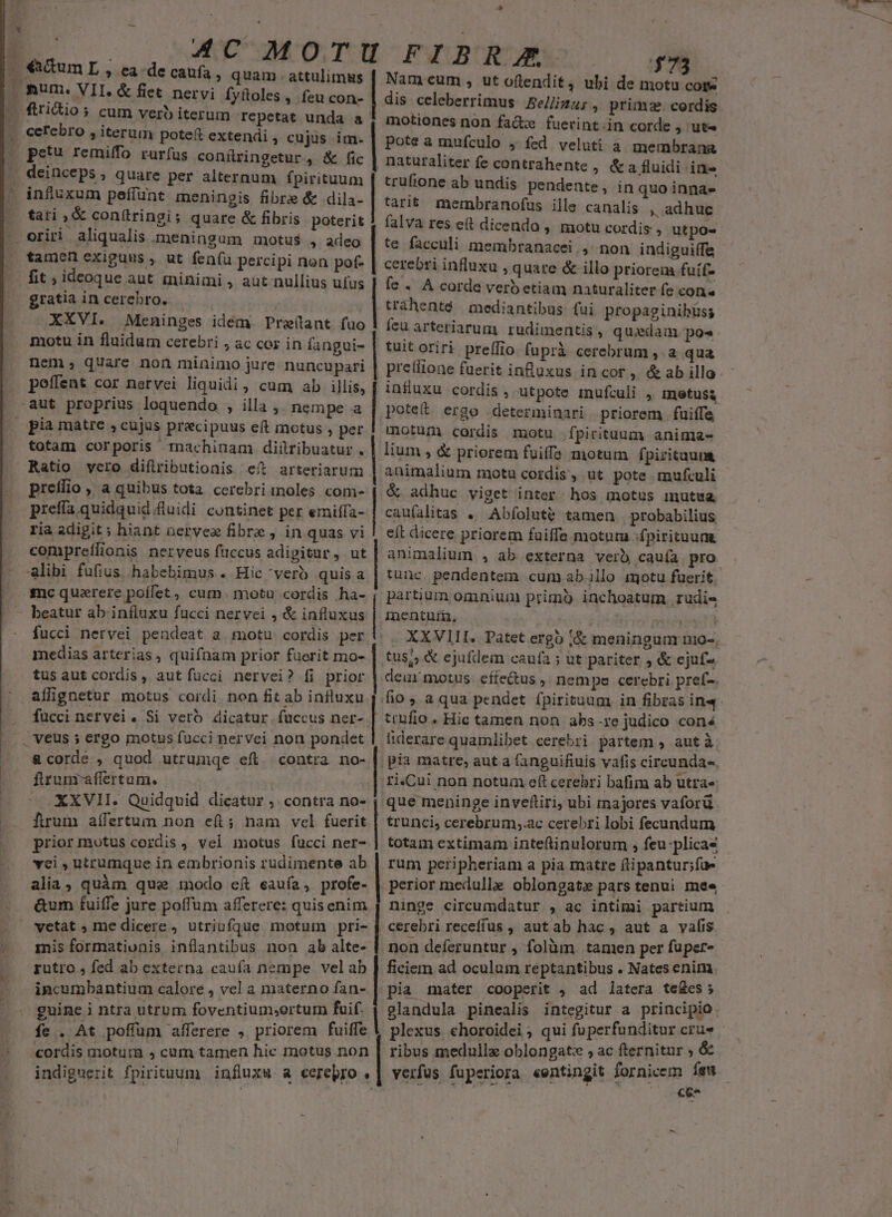 * €xctum L , ea de caufa » quam. attulimus , num. VII. &amp; fiet nervi fyítoles, feu con- — flridio; cum verb iterum repetat unda a cerebro , iterum poteft extendi | cujus im. . peíu remiffo rurfus conítringetur, &amp; fic , deinceps , quare per alternum fpirituum - influxum peffünt meningis fibre &amp; dila- tari , &amp; conítringi; quare &amp; fibris poterit ^ oriri aliqualis meningum motu$ 4 adeo tamen exiguus , ut feníu percipi non pof- fit ideoque aut minimi , aut nullius ufus gratia in cerebro. | XXVI. Meninges idem. Preítant fuo motu in fluidum cerebri , ac cor in fangui- nem, quare non minimo jure nuncupari peffent cor nervei liquidi, cum ab illis, aut proprius loquendo , illa ,, nempe a | pia matre ; cujus precipuus eft motus , per totam corporis rnachinam diüribuatur . Ratio vero diflributionis eit arteriarum preílio ,, a quibus tota cerebriinoles com- preffa quidquid fluidi continet per emiffa- ria adigit ; hiant nervez fibre , in quas vi compreílionis nerveus fuccus adigitur, ut alibi fufius. habebimus . Hic vero quis a snc quarere poífet, cum. motu cordis ha- — beatur ab. iníluxu fucci nervei , &amp; influxus fucci nervei pendeat a motu cordis per medias arterias , quifnam prior fuerit mo- tus aut cordis, aut fucci nervei? fi prior aflignetur motus cordi non fit ab influxu fucci nervei. Si vero dicatur fuccus ner- . veus 5 ergo motus fucci nervei non pondet &amp;corde , quod utrumqe eft. contra no- firumraflertum. — XXVII. Quidquid dicatur ,. contra no- fum aífertum non efi; nam vel fuerit prior motus cordis vel motus fucci ner- vci , utrumque in embrionis rudimente ab alia, quàm que inodo ef eauía, profe- &amp;um fuiffe jure poffum afferere: quisenim vetat ; me dicere , utriufque motum pri- mis formationis inflantibus non ab alte- rutro , fed ab externa caufa nempe velab incumbantium calore , vel a materno fan- guine i ntra utrum foventium,ortum fuif. fe . At poffum afferere , priorem fuiffe cordis motum » cum tamen hic motus non | | | | | | | Nam cum , ut oftendit, ubi de motu core dis celeberrimus Bellinus ,. primae. cordis motiones non facte fuevint.in corde , ut^ pote a mufculo , fed veluti à membrana naturaliter fe contrahente , &amp; a fluidi in- trufione ab undis pendente, in quo innae tarit membranofus ille canalis , adhuc falva res e&amp;t dicendo , motu cordis , utpo- te facculi membranacei. ,. non indigui(fe cerebri influxu , quare &amp; illo priorem fuif- fe . A corde verb etiam naturaliter fe con trahenté | mediantibus (ui propaginihüss fea arteriarum rudimentis, quidam po« tuit oriri preífio. fuprà cerebrum , a qua pretlione fuerit infuüxus in cor ,. &amp; ab illo influxu cordis , utpote mufculi , metusa poteit ergo determinari priorem fuiffe motum cordis motu íÍpirituum anima- lium , &amp; priorem fuiffe motum fpiritauna animalium motu cordis, ut pote mufculi &amp; adhuc viget inter. hos motus imutua caufalitas . Abfolute tamen. probabilius eft dicere priorem fuiffe motum :fpirituum animalium , ab externa verb cauía pro. tunc. pendentem cum ab. illo motu fuerit. partium omnium primo inchoatum. rudis inentuin, pn i . XXVIII. Patet ergo ;&amp; meningum no-. tus; &amp; ejufdem caufa ; ut pariter , &amp; ejuf- deux motus. effe&amp;tus , nempe cerebri pref-. tcufio . Hie tamen non abs -re judico con4 liderare quamlibet cerebri partem , autà pia matre, aut a fanguifiuis vafis circunda-. ri.Cui non notum eft cerebri bafim ab utra» que meninge inveftiri, ubi majores vaforü trunci, cerebrum,.ac cerebri lobi fecundum totam extimam inteftinulorum , feu-plicas rum peripheriam a pia matre ftipantur;fue perior medullae oblongate pars tenui mee ninge circumdatur , ac intimi partium cerebri receffus , aut ab hac, aut a vafis non deferuntur , folàm tamen per fuper- ficiem ad oculum reptantibus . Nates enim. pia mater cooperit , ad latera te&amp;es ; glandula pinealis integitur a principio. ribus medulla oblongatz , ac fternitur ; &amp; cez