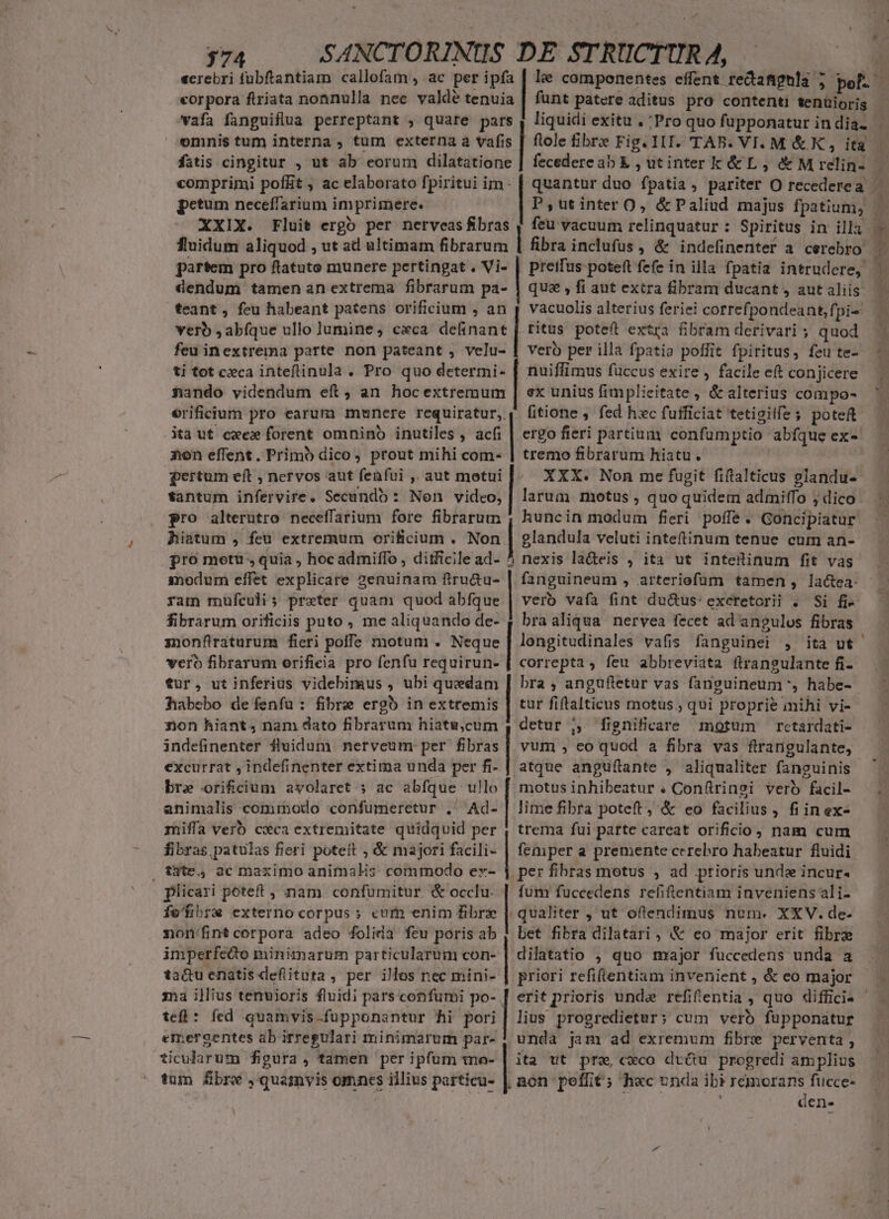 Nh IO Ts callofam , ac per ipfa corpora ftriata nonnulla nec valde tenuia afa fanguiflua perreptant , quare pars omnis tum interna , tum externa a vafis fitis cingitur , ut ab eorum dilatatione comprimi poflit , ac elaborato fpiritui im petum neceffarium imprimere. XXIX. Fluit ergo per nerveas fibras fluidum aliquod , ut ad ultimam fibrarum partem pro flatuto munere pertingat . Vi- dendum tamen an extrema fibrarum pa- teant, feu habeant patens orificium , an verb , abfque ullo lumine, cxca definant feu inextrema parte non pateant , velu- ti tot cxca inteflinula . Pro quo determi- nando videndum eft, an hocextremum orificium pro earum munere requiratur,. ita ut cxe» forent omnino inutiles, acfi non effent, Primó dico, prout mihi com- fertum eft , nervos aut fenfui ,, aut motui fantum infervire. Secundo : Non video, pro alterutro neceffarium fore fibrarum hiatum , feu extremum orificium . Non pro metu, quia , hoc admiffo , ditficile ad- inodum effet explicare zenuinam ftru&amp;u- ram mufculis preter quam quod abfque fibrarum orificiis puto , me aliquando de- znonfiratarum fieri poffe motum . Neque vero fibrarum orifieia pro fenfu requirun- tur, utinferius videbimus , ubi quedam habebo de fenfu: fibre ergb in extremis non hiant, nam dato fibrarum hiatu,cum indefinenter fluidum nerveum per fibras excurrat , indefinenter extima unda per fi- bre orificium avolaret ; ac abfque ullo animalis commodo confumeretur . Ad- miffa verb cwca extremitate quidquid per fibras patulas fieri poteit , &amp; majori facili- , tite, ac maximo animali; commodo ez- plicari potet , nam confumitur. &amp; occlu. fe'fibre externo corpus; cum enim fibre non/fintcorpora adeo folida feu poris ab imperfedo minimarum particularum con- ta&amp;uenatisdefiituta, per ilos nec mini- ma illius tenuioris fluidi pars confumi po- tefl: fed quamvis.füpponantur hi pori emergentes ab irregulari minimarum par- ticularum figura , tamen per ipfum mo- tum Zfbre ,quamvis omncs illius particu- ? | | | | | | | ; bas | | | | | | | | | funt patere aditus pro contenti tenüioris liquidi exitu . 'Pro quo fupponatur in dia. flole fibre Fig. III. TAB. VI. M&amp; K , ita ! Y E N P,utinter O, &amp;Paliud majus fpatium, quz , fi aut extra fibram ducant aut aliis vacuolis alterius feriei correfpondeant,fpi- ritus poteft extra fibram derivari ; quod vero per illa fpatio poffit fpiritus, feu te- nuiffimus fuccus exire , facile eft conjicere ex unius fimplieitate , &amp; alterius compo- fitione , fed hxc fufficiat tetigilfe ; poteft ergo fieri partium confümptio abfque ex- tremo fibrarum hiatu. — XXX. Non me fugit fiftalticus glandu- larum motus , quo quidem admiffo ; dico huncin modum fieri poffe. Goncipiatur glandula veluti inteftinum tenue cum an- nexis lacteis , ita ut inteüinum fit vas fanguineum , arteriofum tamen, lactea: verb vafa fint du&amp;us: exeretorii . Si fi- braaliqua nervea fecet ad angulos fibras longitudinales vafis fanguinei , ita ut correpta, feu abbreviata flrangulante fi-- bra, anguftetur vas fanguineum , habe- tur fiftalticus motus; qui proprie mihi vi- detur ;, fignificare motum rctardati- vum , eo quod a fibra vas firangulante, atque anguítante , aliqualiter fanguinis motus inhibeatur . Conftringsi vero facil- lime fibra poteft, '&amp; eo facilius , fi inex- trema fui parte careat orificio, nam cum femper a premente cerebro habeatur fluidi per fibras motus , ad prioris unde incur. fum fuccedens refiftentiam inveniens ali- qualiter , ut oftendimus num. XXV. de- bet fibra dilatari , &amp; eo major erit fibre dilatatio , quo major fuccedens unda a priori refiftentiam invenient , &amp; eo major dr GS EJ lius progredietur; cum verb füpponatur unda jam ad exremum fibre perventa , ita ut pre, cxco dv&amp;u progredi amplius non peíffit; h«c unda ibi rémorans fucce- den.