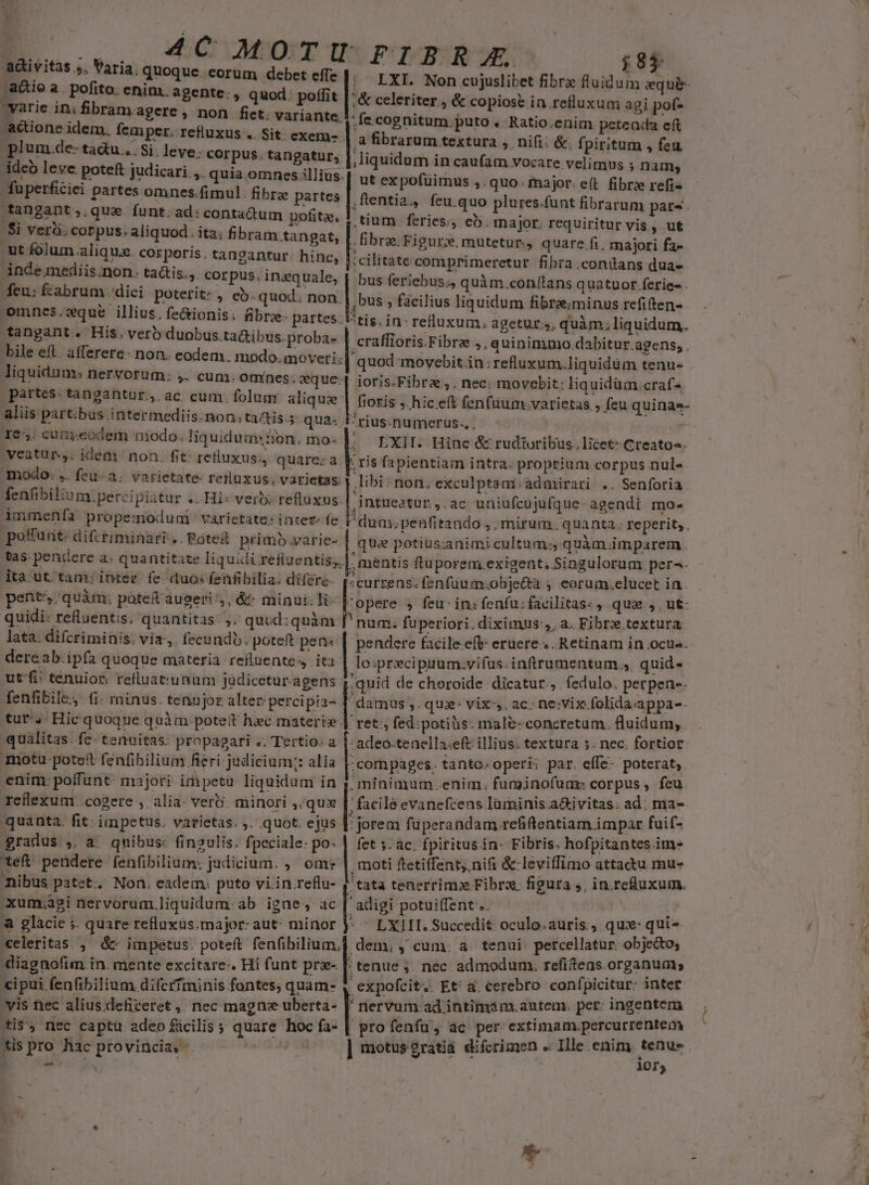 a&amp;tivitas ;, Varia; quoque. eorum debet effe a&amp;ie a. pofito: enim. a gente: , quod: poffit varie in; fibram. agere , non fiet: variante. -acione;idem. femper. refluxus .. Sit. exem- plum de- tadu... Si. leve. corpus. tangatur, deb leve poteft judicari ,. quia omnes illius fuperficiei partes omnes.fimul. fibra partes .fangant;.qua funt: ad: contactum pofitz, $i verá. corpus. aliquod. ita; fibram tangat, ut folum aliqua. corporis. tangantur: hinc, inde mediis.non. ta&amp;is., corpus, inzquale, feu: fabrum /dici. poterit: , eb. quod. non. Oomnes.cxque illius. fe&amp;ionis; fibre. partes. tangant. His, verb duobus ta&amp;ibus.proba- partes. tangantur, ac cum. folum. aliqui aliis partibus intermediis. non.tactis. qua. 16. cuni;eodem niodo. liquidum» tion. mo- veatur.,. idem non. fit: retluxus., quare: a modo: .. feu- a. varietate retluxus, varietas. fenfibilium.percipiatur .. Hi« verb» reflüxus. immenfa propemodum varietate: intet- fe poRunt: difcriminari .. Poteg primo varie- tas pendere a. quantitate liquidi refluentis;, dta ut tam: intez. fe- duo: fenfibilia. difere- pent. quàm: pàte&amp;t augeri ,, &amp;- minut. li- quidi: refluentis. quantitas. ,. quud:quàm lata. difcriminis. via, fecundo. poteft pen: dereab.ipfa quoque materia. refluentes, ita ut fi: tenuior. refluat:unum juüdicetur.-agens fenfibile., (i: minus. tennjor alter: percipia- tur, Hic quoque quàm poteit hec materie qualitas. fe- tenuitas: propagari «. Tertio: a Tnotu potet fenfibilium fieri judicium;: alia enim. poffunt. majori: impetu liquidum in rcflexum. cogere , alia. ver. minori ,,qux quanta. fit: impetus, varietas. ,. quot. ejus gradus... a. qnibus: fingulis. fpeciale: po. teft. pendere. fenfibilium: judicium. ,. ome nibus patet. Non. eadem. puto vi.in.reflu- xumuzgi nervorum liquidum. ab igne, ac &amp; glàcie ;. quare refluxus.major: aut: minor celeritas. , &amp;- impetus. poteft fen(ibilium, «diagnofim in. mente excitare-. Hi funt prx- cipui fenfibilium difcrTminis fantes; quam- vis nec alius deficeret ,. nec magne uberta- tis? nec captu adeo ficilis ; quare hoc fa- *is pro hac provincias - ! !  ,&amp; celeriter, &amp; copiose in refluxum agi pof- ;fe.cognitum.puto . Ratio.enim peteada eft oce in caufam vocare velimus ; nam, | ut expofuimus ,. quo: major. e(t. fibrx refi« ,tium. feries, eb. major. requiritur vis, ut fibrae. Figur; mutetur, quare fi, majori fa- :cilitate comprimeretur. fibra .conitans.dua- Los » facilius liquidum fibre;minus refiten- tis. in: refluxum. agetur, quàm; liquidum. quod movebit.in:refluxum.liquidüm tenu- ioris.Fibra ;, nec: movebit: liquidüm.craf- ^rius:numerus., . ; LXII. Hinc &amp; rudtoribus. licet Creato». ; ris fapientiam intra. proprium corpus nul« ,intueatur,.ac uniufcujufque- agendi mo- duax; penfitando , ; mirum. quanta. reperit, ; mentis ftuporem.exigent,; Singulorum per^. s .  * ; LJ currens. fenfuum.ohjectà ; eorum,elucet ia opere , feu: in: fenfu:favilitas: , qua ,, ut- num; fuperiori. diximus:,, a. Fibre textura. | lo;przciptium.vifus. infirumentum.,. quid- .quid de choroide dicatur., . fedulo. perpen-- | damus ,. qua: vix. ac: ne:vix.folida:appa-- adeo.tenella.eft illius. textura ;. nec. fortior. compages. tanto. operi: par. effe- poterat, minimum .enim. fuminofum: corpus, feu | jorem füperandam refifentiam impar fuif- fet y. ac. fpiritus in: Fibris. hofpitantes im» moti ftetiffent; nifi &amp;-leviffimo attactu mu- adigi potui(fent .. ^ LXIII. Succedit oculo.auris., qux: qui- quen ; cum. à. tenui percellatur: objecto; | | LXI. Non cujuslibet fibra fluidum equis .à fibrarum textura , ni(i; &amp;. fpiritum , feu ,fentia,, feu quo plures.funt fibrarum pars. bus feriebus;, quà m.con/tans quatuor. ferie- . , craffioris Fibre ,.a uininumo.dabitur.agens, . [ioris » hic eft fenfüum.varietas , feu quinae- |i non. exculptaui.admirari:.. Senforia. qua potius:animicultum:, quàm imparem. | pendere facile eft: eruere. Retinam in ocue. ;ret., fed;potiàs: male- concretum. fluidum; . facile evanefcens luminis a&amp;ivitas: ad: ma- 'tata tenerrimx Fibre figura j, in refluxum. ' tenue . nec admodum. refitens.organum; expofcit. Et' a. cerebro confpicitur: inter  nervum ad intimam. antem. per: ingentem profenfuü, ac per extimam percurrentem tenus ior )