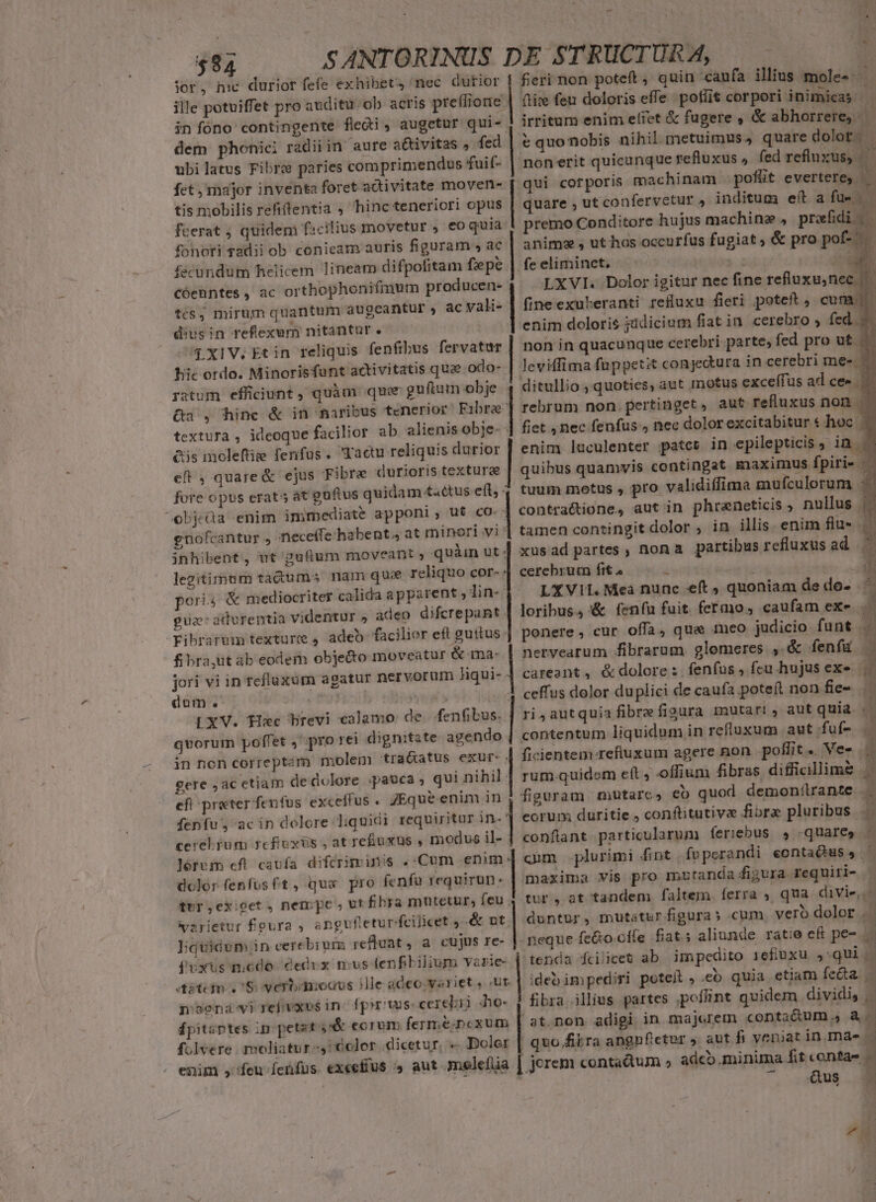 $93 SANTORINUS DE STRUCTURA, —— jor, p: durior fefe exhibet, nec durior | fieri non poteft ; quin caufa ilius moles ille potuiffet pro auditu: ob acris preffione | (tix feu doloris effe poflit corpori inimicas: jn iníóno contingente fledi , augetur qui- ! irritum enim eliet &amp; fugere , &amp; abhorrere, — dem phonici radii in aure a&amp;tivitas , fed | e quo nobis nihil metuimus, quare dolot.- ubi latus Fibri paries comprimendus fuif- | non erit quicunque refluxus ,. fed refluxus, — fet , major inventa foret adtivitate moven- qui corporis machinam poft evertere, — tis mobilis refiftentia , hinc teneriori opus | quare ; utconfervetur , inditum eíl a füv — fcerat ; quidem ficilius movetur , eoquia ' premo Conditore hujus machine , prafidi | fonori adii ob cónieam auris figuram , ac inim , ut hos occutfus fugiat ; &amp; pro pof-.. fécundum helicem lineam difpofitam fepe | feeliminet. T ET Cóenntes , ac orthophonifmum producen- LXVI. Dolor igitur nec fine refluxu;nec. tcs, mirum quantum augeantur » ac vali- | fineexubleranti refiuxu fieri poteft , cum. | diusin reflexum nitantur. enim doloris jidicium fiat in. cerebro ; fed. j. non in quacunque cerebri parte, fed pro ut 4XIV.Etin reliquis fenfibus fervatur tiic ordo. Minorisfant activitatis quae odo- | leviffima fuppet:t conjectura in cerebri me« | ditullio , quoties, aut motus exceífus ad ce» rstum efficiunt , quàm. quee guftum obje Qa , hinc &amp; in aaribus tenerior Fibre | rebrum non. pertinget » aut refluxus non . textura , ideoque facilior ab alienis obje- ] fiet , nec fenfus » nec dolorexcitabitur « hoc | Qis moleftie fenfus. 'Wactu reliquis durior | enim luculenter patcs in epilepticis) in .— eft, quare&amp; ejus Fibre durioris textura quibus quamvis contingat maximus fpiri- — fore opus erat at guftus quidam tactus eft, 4 tuum motus , pro validiffima mufculorum : ^ebjeüa enim immediate apponi, uf co.: contra&amp;ione, aut in phraneticis , nullus | gnofcantur , neceffe habent. at mineri vi | tamen conzingit dolor , in illis. enim flu- .— inhibent, ut guflum moveant ; quàin ut | xus ad partes , nona partibus refluxus ad . legitimum ta&amp;ums nam qui reliquo cor- | cerebrurm frt «  ! ! * pori; &amp; mediocriter calida apparent , lin- LXVI. Mea nunc eft quoniam de do- E gua: advrentia videntur , adeo difcrepant | loribus., X (eníu fuit fermo, caufam exe K -Fibrarum texture , adeo facilior eft guttus | ponere , cur offa, qua meo judicio funt .— fibraüt áb eodem objecto moveatur &amp; ma- | nervearum fibrarum glomeres ,.&amp; fenfu jori vi in refluxüm agatur nervorum liqui- | careant, &amp;dolore :. fenfus ; fcu hujus ex» 3 dum. 1 ILLE ceffus dolor duplici de caufa poteft non fie- .. LXV. Hc brevi calamo de fenfibus. | ri, autquia fibre figura mutari, aut quia. E quorum poffet , pro rei dignitate agendo | contentum liquidum in refluxum aut .fuf- in non correptam molem tra&amp;atus exur. ficientenrrefluxum agere non poffit. Vee [ gere ,ac etiam dedolore pauca; qui nihil.| rumquidem eft, offium fibras difficillim&amp; figuram mutarc, eb quod demonilrante . : efi preter fenfus exceffus . jEque. enim in fenfu, acin dolore liquidi requiritur in- | eorum duritie , confbitutivae fibre pluribus. . cerebrum refioxis , at reiuxus , modus il- | confiant particularum íeriebus $ quare» — lérum eft caufa difcrimins .:.Coum enim ] chm plurimi fint | foperandi eontaQus, dclor fenfus ft, qua pro fenfu requirun. maxima vis pro mutanda figura requiri- ttr,exioet, nempe, ut f£hra mutetur, feu | tur , at tandem faltem íerra , qua divie,.- COT GETZRANTMS, iov AERA Lu Me sd Jua cue SM EO MULMUME DUCES US, powcrnar guEMPENOSS c. —PBRÁ PCR RN nca warietur feura , angufteturfeilicet y .&amp; nt. duntur, mutaturfiguras cum, vero dolor Ai Jigtidum in cerebium refiuat , a cujus re- |: neque feGocffe fat ; aliunde ratie c&amp; pe- fvxuüs nicdo- cedvx nus lenfibilium varie tenda fcilices ab impedito refiuxu ,:qui M dito. S verbonodus ille adeo yariet , ut. | ideb impediri poteit ,.eó quia etiam feda... naonai refvaos in- fpiritus cerebri «ho- 4 fibra, illius partes poffint quidem dividi, | fpitzrtes ip petet eorom fermé. nexum | at. non. adigi in majerem conta&amp;dum., &amp;.- folvere moliatur ,!6olor dicetur, « Doler | quo.fikra angnfietur ». aut fi veniat nm. enim , feu fcnfus. exeefíus 4 aut .meleftia | jerem contadtum » adco minima dn | 5 1 ^ us P T3 zu