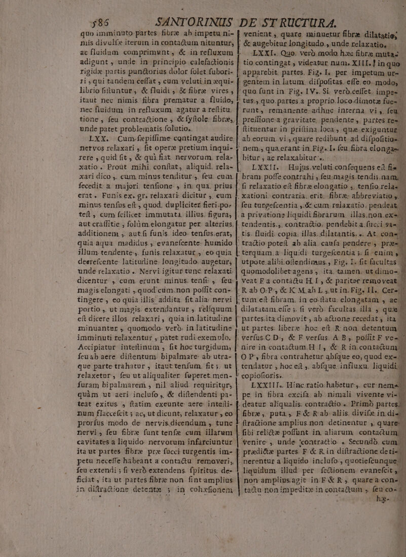 quo imminuto. partes fibre ah impetu ni- | venient , quare. iminuetur fibrae dilatatie; nis divulte iterurn in conta&amp;um nituntur, |. &amp; augebitur longitudo. unde relaxatio, ac fluidum comprimunt, &amp; in refluxum 'LXXI.. Quo. verb.modo hzc fibre mutaz adigunt , unde in principio. calefactionis [ tio. contingat ; videatur num. XIII. ? i inquo rigide partis pun&amp;orius dolor folet fubori- apparebit. partes. Fig. I, per impetum ur- 1i qui tandem ceffat , cum veluti in equi- f gentem in latum. ditpofitas. effe; eo. modo, librio fittuntur, &amp; fluidi , &amp; fibre vires, | quo funt in Fig. IV. Si. verb.ceffet. impes | itaut nec nimis fibra prematur a. fluido, * tus. quo.partes.a proprio.loco.dimotz fue- nec fluidum in refluxum agatur a reftitu. | runt, remanente: adhnc inrerna. vi ,. fcu.- tione, feu contra&amp;ione , &amp;fyftole. fibre, |. preffione:a gravitate. pendente ,. partes rfe unde patet probleinatis folutio.. fituentar in priíina.loca , qua. exiguntup - LXX. Cunvfepiffime contingat audire. | ab eorum. vi , quare redibunt. ad difpofitias. nervos relaxari ,. fit oper: pretium inqui- f nem;, quaerant in Fig«I. fcu fibra. clongaam rere , quid fit , &amp; qui fiat. nervorum. rela- | bitur, ac relaxabitur s. - dA xatio. Proüt mihi conftat, aliquid. rela- LXXII. Hujus.veluti confequens ei fa xari dico ,. cum. minus tenjlitur ,. feu. cuam [ bram.poffe contrahi , feu:magis.tendis. nam, | fecedit a. majori tenfione , in. qua. prius [. fi relaxatio et fibre elongatio , tenfio rela«. erat. Funis ex. gr. relaxari dicitur ,; cum L xationi. contraria. erit. fibre: abbreviatio y. minus tenfus eit , quod. dupliciter fieti.po- |: feu turgefcentia ,.&amp; cum. relaxatio. pendeat. — tel , cum fcilicet immutata. illius. figura, |. a privatione liquidi fibprarum. illas.non.exe A aut crallitie ; folàm.elongatnur per alterius. [. tendentis.,, contractio. pendebit a.fucci sa- additionem ,. aut.fi funis. ideo. tenfus.erat, | tis. fluidi. copia. illas. dilatantis. «. At. cone ! quia aqua madidus , evanefcente- humido | tradio poteft ab alia. caufa pendere, prac illum tendentes. funis. relaxatur ,' eo quia [| terquam.a- liquidi: turgefcentia s. fi enim y. deerefícente- latitudine. longitudo. augetur; | utpote.alibi.oflendinsus., Fig. 1. fit facultas... unde relaxatio .. Nervi igitur tunc relaxati. TR ita. tamen. ut dimo-. dicentur , cum. erunt: minus. teníft; J. feu: 4 veat Fa contátu HI , &amp; pariter resinoveat ' magis elongati ,.quod cam.non poffit con-- j4 e O:P, &amp; K Mah L ,.ut in. Fig. IH.. Cer». d tingere, eo quia illis addita. fit.alia: nervi || tum et Frtén in eo.ttatu. elongatam. ; ac portio ,. ut magis. extendantur , reliquum. dilatatam.effe ;. fi verb. facultas. illa , de cft dicere illos. relaxari quia in.latitudine [' partes.ita dimovit, ab a&amp;ione recedat; ita ^ minuanttur , quomodo: vero: in latitudine ,, ut partes: libere hoc eft R: noa. detentum | 1] imminuti relaxentur , patet rudi exemplo. [: verfus.C D, &amp; F verfus. A B ,. poffit F veo Accipiatur inteitinum , fit hoc turgidum, [ nire in. bita HI,é&amp;Rin conta&amp;um - fcuab aere. diftentum. bipalmare: ab utra- | O P, fibra contrahetur abfque eo, quod ex-/^ que parte trahatur , itaut tenfum. fit ;, ut | tendatur , hoc eft ,, abfque. influxu. liquidi relaxetur, feu ut aliqualiter. fuperet. men- ) dopisG adii furam bipalmarem , nil aliud. requiritur; | ^ LXXIIT.. Hinc ratio: habetur ,. cur. nem N quim ut aeri inclufo ,, &amp; diftendenti pa- | pe. in fibra excifa. ab. nimali vivente vi- 1^ teat exitus , ftatim exeunte aere: inteíli- [. deatur aliqualis: contraétio .. Primo partes. num flaccefcit ; ac, ut dicunt, relaxatur , eo | fibre, puta, F&amp; Rab aliis. divifz in. di«. : prorfus modo de: nervis.dicendum , tunc 3 ftra&amp;ione amplius.non. detinentur ,. quare - nervi; feu fibre funt tenfe cum illarum | fibi reli&amp;z poffunt in aliarum. contactum, - cavitates a liquido: nervorum infarciuntur | venire: ,, unde 'contrattio. ». Secundo. cum. | itaut partes fibre pr: fucci turgentis im- |. predicte partes. F &amp; R. in diftractione de ties petu neceffe habeant a contactu. removeri, |. nerentur a liquido. inclufo., quotiefcunque; feu extendi ; fi verb extendens. fpiritus. de- 1 liquidum. illud per fcioneme evanefcit b ficiat , ita ut partes fibre non fintamplias | non ampliusagic in F &amp; R , quarea.con-. : in dillra&amp;ijone detente ; in cohxfionem tadu non impedit in contactum , feu o2 j , ^R, UE p : | he- dE