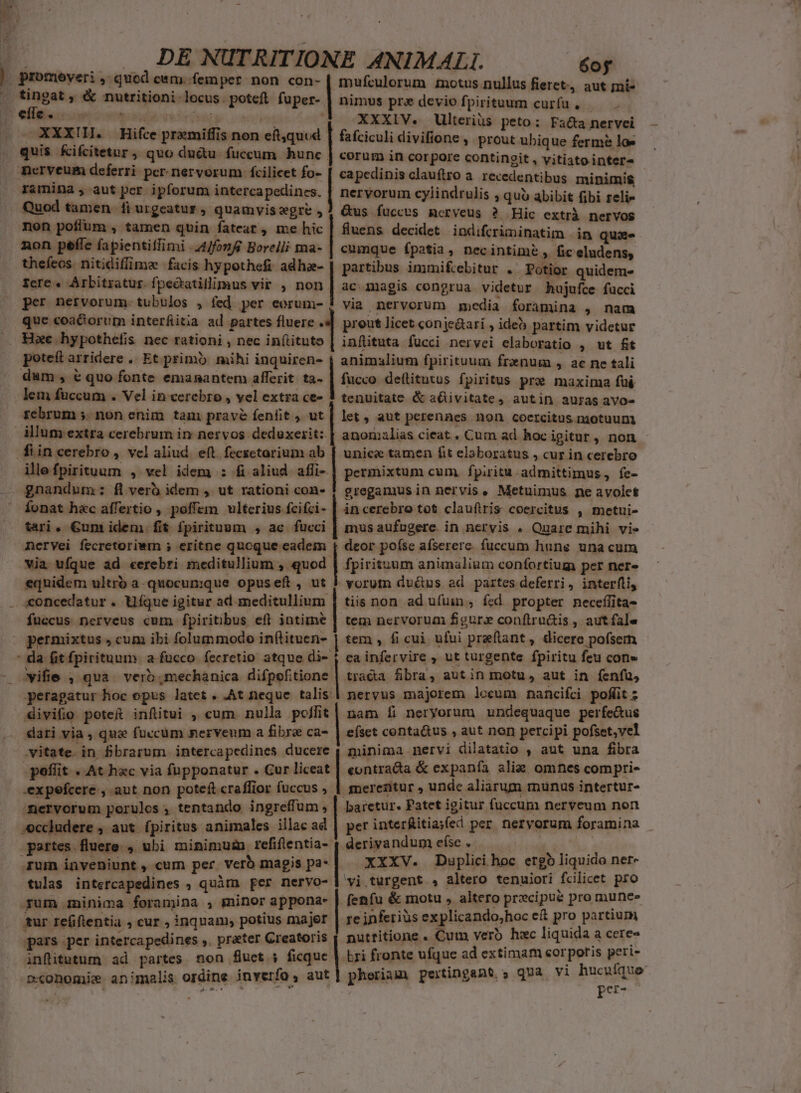 CA NWGMM-——— ETC eus ^ mufculorum zmotus nullus fieret-, aut mit- nimus pre deviofpirituum curfu, — XXXIV. Ulterius peto: Fata nervei fafciculi divifione , prout ubique fermé lo» corum in corpore contingit , vitiato intere capedinis clauftro a. recedentibus minimis nervorum cylindrulis , quo abibit fibi relie Gus fucces mcrveus ? Hic extrà nervos fuens decidet indifcriminatim in quae cumque fpatia, necintimée , fic eludens, partibus immifcebitur . Potior quidem- ac magis congrua videtur hujufce fucci * via nervorum goedia foramina , nam que coa&amp;iorum interfitia ad partes fluere . preut licet conje&amp;ari , ideó partim videtur Haec. hypothelis nec rationi , nec in(iituto inftuta fucci neryei elaboratio , ut fit poteft arridere ,. Et primb. mihi inquiren- | animalium fpirituum frznum , ac ne tali tingat , &amp; nutritioni locus. poteft fuper- OXXXIH. Hifce pramiffis non eft,quud quis fcifcitetur, quo du&amp;u. fuccum hunc. nerveum deferri per. nervorum fcilicet fo- | ramina , aut per ipforum intercapedincs. non poffum , tamen quin fatear, me hic non pefle fapientiffimi .4Jfonff Borelli ma- thefeos. nitidiffime facis hypothefi adha- fere« Arbitratur. fpedatillimus vir , non. per nervorum. tubulos , fed per eorum- — v —À dum , € quo fonte emanantem afferit ta- | fucco deftitutus fpiritus pre maxima fui lem füccum . Vel in cercbro , yel extra ce- 3 tenuitate &amp; a&amp;ivitate, autin auras avos» februm » non enim tam prave fenfit , ut [ let, aut perennes non coercitus motuum illum extra cerebrum in nervos deduxezit: | anonialias cieat . Cum ad hoc igitut , non illefpirituum , wel idem : fi aliud affi- | permixtum cum. fpiritu .admittimus, fe- Íonat hac affertio , poffem ulterius fcifci- | in cerebro tot clauftris coercitus , metui- tari. Gun idem. fit fpirituum , ac fücci | mus aufugere. in nervis . Quare mihi vi- Aervei fecretoriwm 5 eritne qucque eadei t deor poíse afserere. fuccum hune una cum via. ufque ad «erebri meditullium , quod | fpirituum animalium confortium per ner- equidem ultro a- quocunque opuseft , ut 3 vorum du&amp;us ad. partes deferri, interfti, concedatur . Uíque igitur ad meditullium | tiis non ad ufuin, fcd propter neceflita- fuccus nerveus cum fpiritibus efl intime | tem nervorum fgur» confiru&amp;is , aut fale tem , fi cui ufui preflant, dicere pofsem .eainfervire , ut turgente fpiritu feu con» Yifie , qua. verb mechanica difpefitione | tra&amp;a fibra, aut in metu, aut in fenfu, peragatur hoc opus latet. .At neque talis| nervus majorem lecum pnancifci pofüit z divifio pote infitui , cum nulla poffit| nam f neryorum undequaque perfe&amp;us dari via , que fuccum nerveum a fibre ca- | efset conta&amp;us , aut non percipi pofset,vel .vitate. in fbrarum. intercapedines ducere j minima nervi dilatatio , aut una fibra poflit «At hac via fupponatur . Gur liceat | eontracta &amp; expanía alie omnes compri- .expefcere., aut non poteft craffior fuccus ; 1 merezitur , unde aliarum munus intertur- /fiervorum porules , tentando ingreffum , | baretur. Patet igitur fuccum nerveum non -occludere , aut fpiritus animales illac ad | per interfitia;(ed per. nervorum foramina ] derivandumefse. — —— | | XXXV. Duplici hoc ergo liquido ner- wi .turgent , altero tenuiori fcilicet pro fenfu &amp; motu , altero precipue pro mune tur refiftentia ; cur , inquam, potius majer | re inferius ex plicando;hoc eft pro partium pars per intercapedines ,. prater Creatoris | nuttitione . Cum verb hac liquida a cere- GORGE ANI CNHOUn epus ERRAT C Ve Ium inveniunt , cum per verb magis pa- tulas intercapedines , quàm per nervo- inflitutum ad partes non fluet ; ficque | bri fronte ufque ad extimam corporis peri-- | pherinuu) pertingant,, qma vi hucufque | pei-