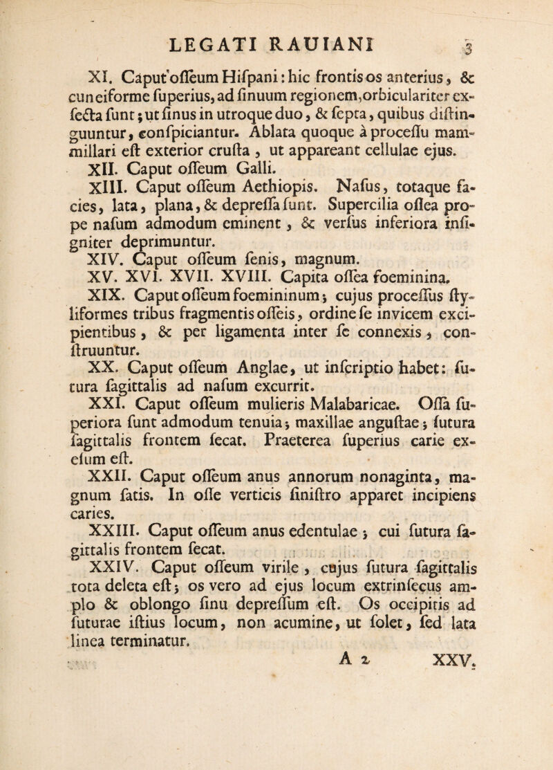 LEGATI RAUIANI 5 I XI. CaputofleumHifpani:hic frontisos anterius, & cuneiforme fuperius, ad finuum regionem,orbicularitcrcx- fefta funt ;ut finus in utroque duo, & fepta, quibus diftin- guuntur, confpiciantur- Ablata quoque aproceffu mam¬ millari eft exterior cruda , ut appareant cellulae ejus. XII. Caput offeum Galli. XIII. Caput ofleum Aethiopis. Nafus, totaque fa¬ cies, lata, plana,& depreflafunt. Supercilia oflea pro¬ pe nafum admodum eminent, & verius inferiora infi- gniter deprimuntur. XIV. Caput ofleum fenis, magnum. XV. XVI. XVII. XVIII. Capita oflTea foeminina. XIX. Caput ofleum foemininum } cujus procefliis fty- liformes tribus fragmentis ofleis, ordine fe invicem exci¬ pientibus , & per ligamenta inter fc connexis, con- flruuntur. XX. Caput oflfeum Anglae, ut infcriptio habet: fu¬ tura fagittalis ad nafum excurrit. XXI. Caput ofleum mulieris Malabaricae. Ofla fu- periora funt admodum tenuia ■, maxillae anguftae futura fagittalis frontem fecat. Praeterea fuperius carie ex- elum cfl-. XXII. Caput ofleum anus annorum nonaginta, ma¬ gnum fatis. In offe verticis finiftro apparet incipiens caries, XXIII. Caput ofleum anus edentulae > cui futura la- gittalis frontem fecat. XXIV. Caput offeum virile , cnjus futura fagittalis tota deleta eft} os vero ad ejus locum extrinfecus am¬ plo & oblongo finu depreffum eft. Os occipitis ad futurae iftius locum, non acumine, ut folet, fed lata linea terminatur. A ^ XXV.