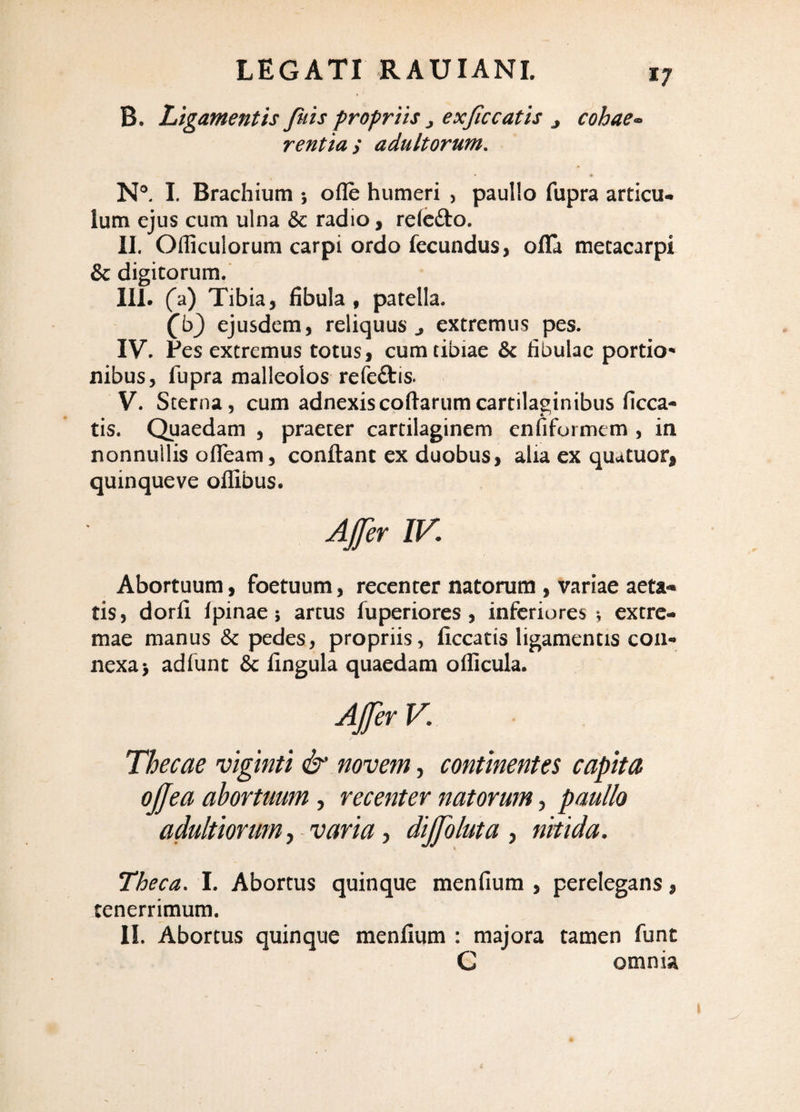 B. Ligamentis/uis propriis j exsecatis j cohae-> rentia y adultorum, N®. I. Brachium *, ofle humeri > paullo fupra articu^ Ium ejus cum ulna & radio, refefto. II. Ofliculorum carpi ordo fecundus, ofla metacarpi & digitorum. III. (a) Tibia, fibula, patella. (b} ejusdem, reliquus^ extremus pes. IV. Pes extremus totus, cum tibiae 6c fibulae portio-* nibus, fupra malleolos refeftis. V. Sterna, cum adnexiscoftarumcartilaginibus ficca- tis. Quaedam , praeter cartilaginem enfiformem , in nonnullis ofleam, conflant ex duobus, alia ex quatuor, quinqueve oflibus. Ajfer IV. Abortuum , foetuum, recenter natorum , variae aeta¬ tis, dorfi fpinae; artus fuperiores, inferiores-, extre¬ mae manus & pedes, propriis, ficcatis ligamentis con¬ nexa j adfunt & fingula quaedam oflicula. Ajfer V. Thecae viginti & novem, continentes capita ojjea abortuum, recenter natorum, paullo adultiorum, varia j dijfoluta ^ nkida. Theca. 1. Abortus quinque menfium , perelegans, tenerrimum. II. Abortus quinque menfium : majora tamen funt C omnia