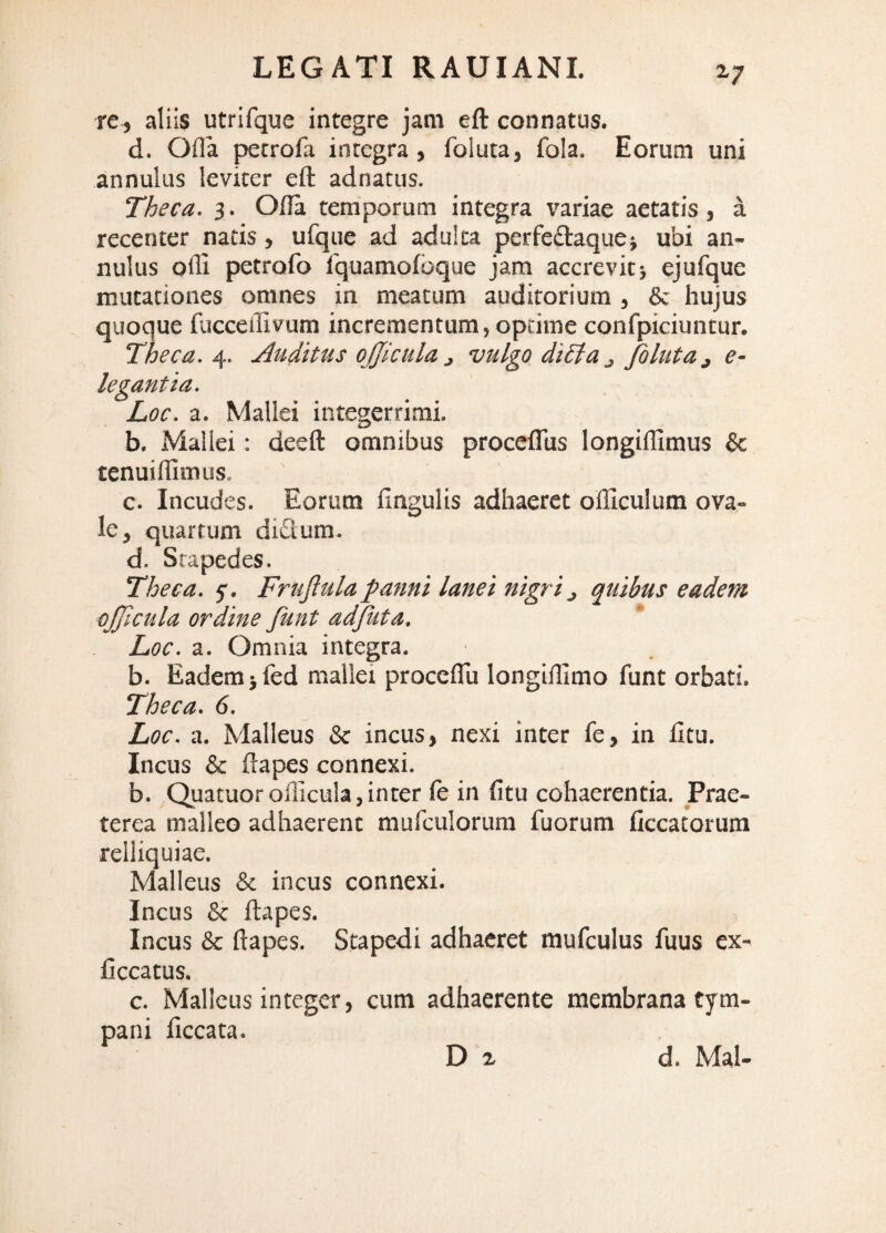 2-7 re , aliis utrifque integre jam eft connatus. d. Ofla petrofa integra, foluta, fola. Eorum uni annulus leviter eft adnatus. Theca. 3. Ofta temporum integra variae aetatis, a recenter natis, ufque ad adulta perfeiftaquej ubi an¬ nulus ofli petrofo fquamofoque jam accrevitj ejufque mutationes omnes in meatum auditorium , & hujus quoque fucceiTivum incrementum, optime confpiciuntur. Theca. 4^. Auditus ojjicula ^ vulgo didia j Joluta 3 e- . Mallei integerrimi. b. Mallei: deeft omnibus proceflus longiflimus & tenuillimus. c. Incudes. Eorum fingulis adhaeret officulum ova¬ le, quartum di£lum. d. Stapedes. Theca. 5’. Fruflulapanni lanei nigri3 quibus eadem ojjicula ordine funt adjuta. Loc. a. Omnia integra. b. Eadem jfed mallei proccffii longilllmo funt orbati. Theca. 6. Loc. a. Malleus & incus, nexi inter fe, in fitu. Incus & ftapes connexi. b. ,Quatuorolllcula,inter fe in fitu cohaerentia. Prae¬ terea malleo adhaerent mufculorura fuorum ficcatorum relliquiae. Malleus & incus connexi. Incus & ftapes. Incus & ftapes. Stapedi adhaeret mufculus fuus ex- ficcatus. c. Malleus integer, cum adhaerente membrana tym¬ pani ficcata. D ^ legantia Loc. ■, d. Mal-