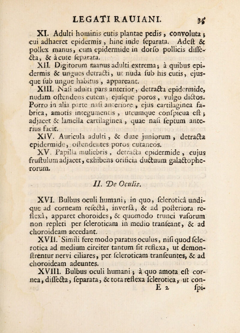 XI. Adulti hominis cutis plantae pedis» convoluta % cui adhaeret epidermis , hinc inde feparata. Adeft & pollex manus, cum epidermide in dorfo pollicis difle- (3:a, 8c acute feparata. XII. Digitorum manus adulti extrema-, a quibus epi¬ dermis & ungues dctrafti, uc nuda fub his cutis, ejus- que fub ungue habitus , appareant. XIII. iNiali aduiti pars anterior, detrafta epidermide, nudam oftendcos cutem, ejufque poros , vulgo diftos. Porro in alia parce nafi anteriore , ejus carcilaginea fa¬ brica, amotis integumentis , utcumque confpicua eft > adjacet & lamella cartilaginea , quae nali feptum ante¬ rius facit. XIV. Auricula adulti, & duae juniorum , detraflla epidermide, oilendciJtes poros cutaneos. XV. Fapilia muliebris , derratta epidermide , cujus fruftulumadjacet, exhibens orificia duftuura galaftophc- rorura. II. De Oculis. XVI. Bulbus oculi humani} in quo, fcleroticd undi¬ que ad corneam reiefta, inverfa, & ad pofteriora re¬ flexa, apparet choroides ,& quomodo trunci vaforum non repleti per fcleroticara in medio tranfeant, & ad choroideam accedant. XVII. Simili fere modo paratus oculus, nifiquodfcle- rotica ad medium circiter tantum fit reflexa, ut demon- flrcntur nervi ciliares, per fcleroticara tranfeuntes, & ad choroideam adeuntes. XVIll. Bulbus oculi humani} a quo amota eft cor¬ nea, difleda, feparata, & tota reflexa fclerotica,-ut con- E z fpi-