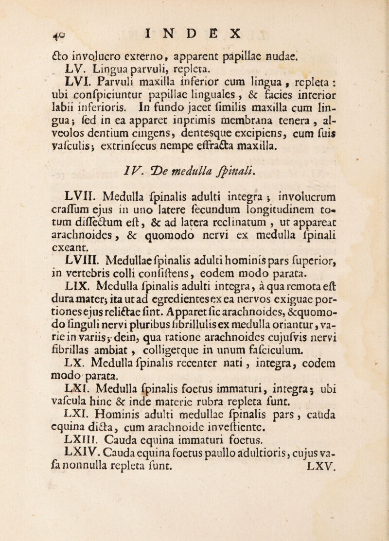 £bo invojucro externo, apparent papillae nudae. LV. Lingua parvuli, repleta. LVI. Parvuli maxilla inferior cum lingua , repleta ; ubi confpiciuntur papillae linguales , & facies interior labii inferioris. In fundo jacet fimilis maxilla cum lin¬ gua } fed in ea apparet inprimis membrana tenera , al¬ veolos dentium cingens, dentesque excipiens, cum fuis vafculis} extrinfecus nempe effrafta maxilla. IF. De medulla /pinali. LVII. Medulla fpinalis adulti integra j involucrum craflum ejus in uno latere fecundum longitudinem to¬ tum difledum eft, & ad latera reclinatum , ut appareat arachnoides, Se quomodo nervi ex medulla fpinali exeant. LVIII. Medullae fpinalis adulti hominis pars fuperior, in vertebris colli confiftens, eodem modo parata. LIX. Medulla fpinalis adulti integra, a qua remota efl: duramater^itautad egredientesexea nervos exiguae por¬ tiones ejus reliftaefint. Apparet fic arachnoides, &quomo- do finguli nervi pluribus fibrillulis ex medulla oriantur, va¬ rie in variis vdein, qua ratione arachnoides cujufvis nervi fibrillas ambiat, colligetque in unum fafciculum. LX. Medulla fpinalis recenter nati, integra, eodem modo'parata. LXI. Medulla fpinalis foetus immaturi, integra} ubi vafcula hinc & inde materie rubra repleta funt. LXI. Hominis adulti medullae fpinalis pars, cauda equina dida, cum arachnoide inveftiente. LXIir. Cauda equina immaturi foetus. LXIV. Cauda equina foetus paullo adultioris, cujus va- fa nonnulla repleta funt. LXV.