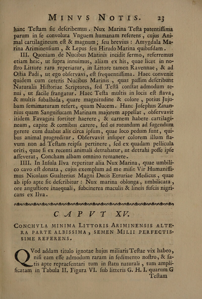 M';NvsoNogyus 33 hanc Teítam fic defcribemus . Nux Marina Tefta patentiffima parum in fe convoluta Vnguem humanam referens , cujus Ani- mal cartilagineum eft &amp; magnum ; feu breyius : Amygdala Ma- rina Ariminenfium , &amp; Lepus feu Hirndo Marina quibufdam. III. Quoniam , de Nucibus Marinis. incidit fermo, referremus etiam heic, ut fupra innuimus, aliam ex his, quae licet in no- Ítro Littore raro reperiatur, in Littore tamen Ravennae , &amp; ad. Oftia Padi, ut ego obfervavi, eft frequentiffima. Haec convenit quidem cum ceteris Nucibus Marinis , quas paffim defcribunt Naturalis Hiftoriae Scriptores, fed Teftà conflat admodum te- nui, ut facile frangatur. Haec T'efla multis in locis eft. flava, &amp; multis fubalbida ; quare magnitudine &amp; colore , potius Juju- bam femimaturam refert, quam Nucem. Hanc Jofephus Zinan- nius quam Sanguifucam Marinam majorem appellat , obfervavit itidem Favagini fortiter haerere , &amp; carnem habere. cartilagi- neam , capite .&amp; cornibus carere, fed os rotundum ad fugendum gerere cum duabus alis circa ipfum, quae loco pedum funt, qui- bus animal progreditur . Obfervavit infuper colorem illum fla- vum non ad Teftam reipfa pertinere , fed ex quadam pellicula oriri, quae fi ex recenti animali detrahatur, nt detrahi poffe ipfe aíleverat, Concham albam omnino remanere. | IIII. In Infula Ilva reperitur alia Nux Marina, quae umbili- co cavo eft donata , cujus exemplum ad me mifit Vir Humaniffi- mus Nicolaus Gualterius Magni Ducis Etruriae. Medicus , quae ab ipfo apte fic defcribitur : Nux marina oblonga , umbilicata , ore anguítiore inaequali, fubcinerea maculis &amp; lineis fufcis nigri- cans ex Ilva. ists OLAAP VP oGOUXF CONCHVLA MINIMA LITTORIS ARIMINENSIS ALTE- RA PARTE ALBISSIMA SEMEN MILII PERFECTIS- SIME REFERENS, Vod addam titulo ignotae hujus miliaris Teftae vix habeo, nifi eam effe admodum raram in fedimento noftro, &amp; fa- tis apte repraefentari tum in flatu naturali , tum ampli- 'Teitam