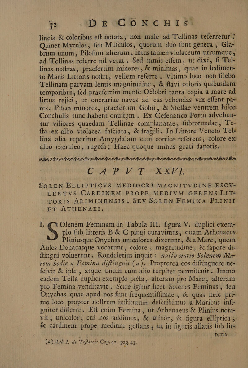 lineis &amp; coloribus eft notata, non male ad T'ellinas referretur ; Quinet Mytulos, feu Mufculos, quorum duo funt genera , Gla- brum unum, Pilofum alterum , intustamen violaceum utrumque ; ad Tellinas referre nil vetat . Sed nimis effem, ut dixi, fi 'Tel- linas noftras, praefertim minores, &amp; minimas, quae in fedimen- to Maris Littoris noftri, vellem referre . Vltimo loco non filebo Tellinam parvam lentis magnitudine , &amp; flavi coloris quibusdam temporibus, fed praefertim menfe Octobri tanta copia a mare ad littus rejici , ut onerariae naves ad eas vehendas vix effent pa- res. Pifces minores, praefertim Gobii, &amp; Stellae ventrem hice Conchulis tunc habent onuftum . Ex Cefenatico Portu advehun- tur viliores quaedam 'Tellinae complanatae, fubrotundae, 'Te- fla. ex albo violacea fafciata, &amp; fragili. In Littore Veneto Tel- lina alia reperitur Amygdalam cum cortice referens, colore ex albo caeruleo, rugofa; Haec quoque minus grati faporis, Qoae p porpesvxxpor SOLEN ELLIPTICVS MEDIOCRI MAGNITVDINE ESCV- LENTVS CARDINEM PROPE MEDIVM GERENS LIT- TORIS ARIMINENSIS. SEV SOLEN FEMINA PLINII ET ATHENAEI. | I, Olenem Feminam in Tabula III. figura V. duplici exem- S plo fub litteris B &amp; C pingi curavimus, quam Athenaeus Pliniusque Onychas unicolores- dixerunt , &amp; a Mare, quem Aulos Donacasque vocarunt, colore , magnitudine, &amp; fapore di- füngui voluerunt. Rondeletius inquit : zu//a zatzo Solenem Ma- rem bodie a Femina diflinguit (a). Propterea eos diftinguere ne- Ícivit &amp; ipfe , atque unum cum alio turpiter permifcuit . Immo: eadem 'Tefta duplici exemplo picta, alteram pro Mare, alteram pro Femina venditavit . Scire igitur licet Solenes Feminas ,- feu Onychas quae apud nos funt frequentiffimae , &amp; quas heic pri- mo loco propter nofirum iníüitutum defcribimus a Maribus infi- gniter differre. Eft enim Femina, ut Athenaeus &amp; Plinius nota- vit, unicolor, cui nos addimus, &amp; minor, &amp; figura elliptica 5. &amp; cardinem prope medium geftans ; ut in figuris allatis fub lit- | | teris (a) L;2. 1. de Teflaceis Cap. 42. pag. 43^