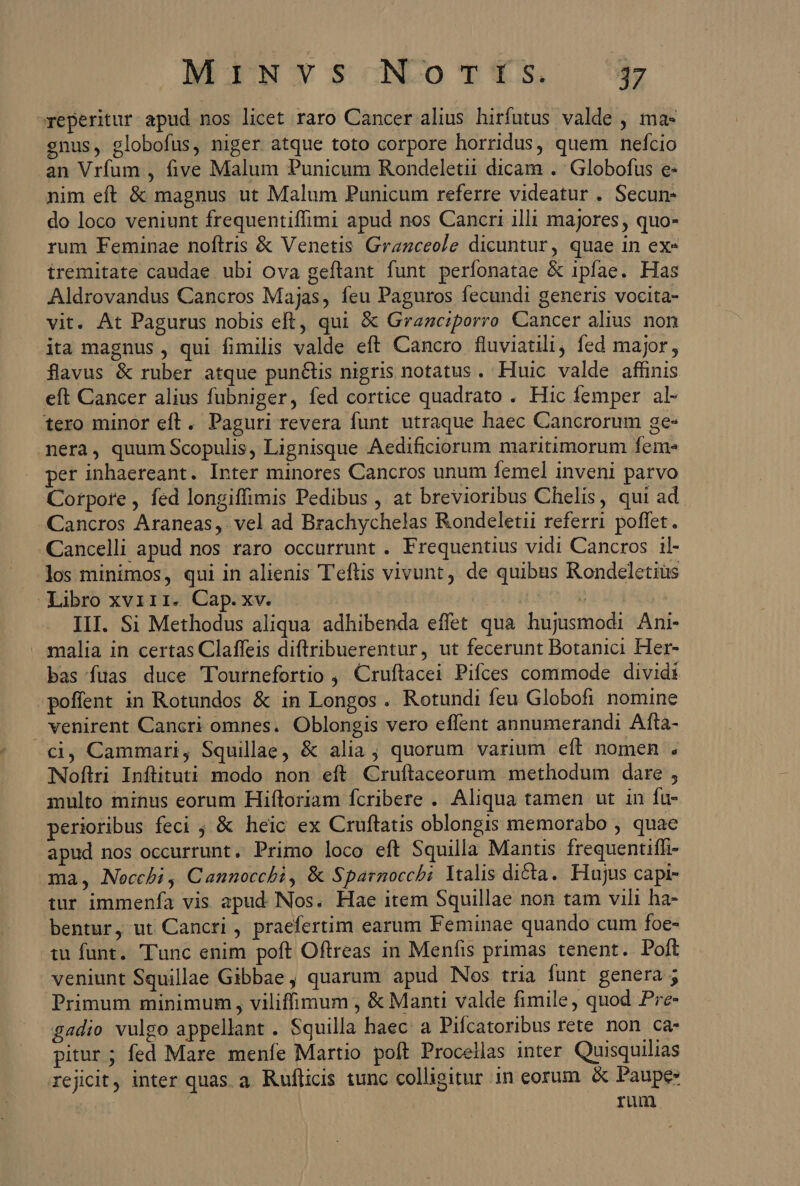 reperitur apud nos licet raro Cancer alius hirfutus valde , ma: gnus, globofus, niger atque toto corpore horridus, quem nefcio an Vrfum , five Malum Punicum Rondeletii dicam ..| Globofus e- nim eft &amp; magnus ut Malum Punicum referre videatur . Secun- do loco veniunt frequentiffimi apud nos Cancri illi majores , quo- rum Feminae noftris &amp; Venetis Grazceole dicuntur, quae in ex» tremitate caudae ubi ova geflant funt períonatae &amp; ipfae. Has Aldrovandus Cancros Majas, feu Paguros fecundi generis vocita- vit. At Pagurus nobis eft, qui &amp; Grazczporro Cancer alius non ita magnus , qui fimilis valde eft Cancro fluviatili, fed major, flavus &amp; ruber atque puné&amp;tis nigris notatus. Huic valde affinis eft Cancer alius fubniger, fed cortice quadrato . Hic femper al- tero minor eft. Paguri revera funt utraque haec Cancrorum ge- nera, quumScopulis, Lignisque Aedificiorum maritimorum feme per inhaereant. Inter minores Cancros unum femel inveni parvo Corpore , fed longiffimis Pedibus , at brevioribus Chelis, qui ad Cancros Araneas, vel ad Brachychelas Rondeletii referri poffet. Cancelli apud nos raro occurrunt . Frequentius vidi Cancros il- los minimos, qui in alienis Teftis vivunt, de quibus Rondeletiüs Libro xviii. Cap.xv. ko III. Si Methodus aliqua. adhibenda effet qua hujusmodi Ani- . malia in certas Claffeis diflribuerentur, ut fecerunt Botanici Her- bas fuas duce lournefortio , Cruftacei Pifces commode dividi poffent in Rotundos &amp; in Longos . Rotundi feu Globofi nomine venirent Cancri omnes. Oblongis vero effent annumerandi Afta- ci, Cammari, Squillae, &amp; alia, quorum varium eft nomen . Noftri Inftituti modo non eft Cruftaceorum methodum dare , multo minus eorum Hifloriam fcribere . Aliqua tamen ut in fu- perioribus feci ; &amp; heic ex Cruftatis oblongis memorabo , quae apud nos occurrunt. Primo loco eft Squilla Mantis frequentiffi- ma, Nocchbi , Cannocchi, &amp; Sparnocchbi Italis dicta. Hujus capi- tur immenfía vis apud Nos. Hae item Squillae non tam vili ha- bentur, ut Cancri , praefertim earum Feminae quando cum foe- tu funt. Tunc enim poft Oftreas in Menfis primas tenent. Poft veniunt Squillae Gibbae, quarum apud Nos tria funt genera ; Primum minimum , viliffimum , &amp; Manti valde fimile, quod Pre- gadio vulgo appellant . Squilla haec. a Pifcatoribus rete non ca- pitur; fed Mare menfe Martio poft Procellas inter Quisquilias rejicit, inter quas. a. Rufticis tunc colligitur in eorum &amp; Paupe- | rum